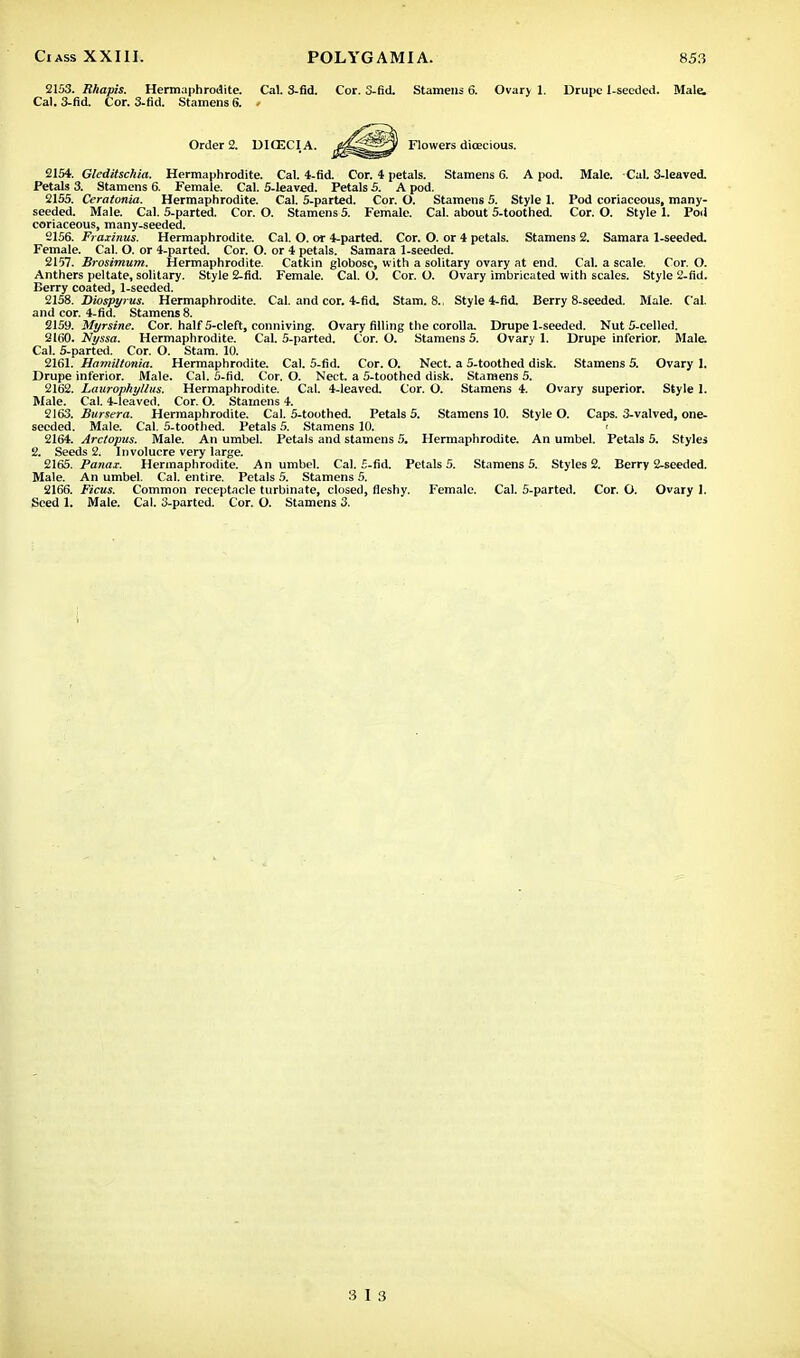 2153. Rhapis. Hermaphrodite. Cal. 3-fid. Cor. S-fid. Stamens 6. Ovary 1. Drupe 1-seeded. Male. Cal. 3-fid. Cor. 3-fid. Stamens 6. < 2154. Gleditschia. Hermaphrodite. Cal. 4-fid. Cor. 4 petals. Stamens 6. A pod. Male. Cal. 3-leaved. Petals 3. Stamens 6. Female. Cal. 5-leaved. Petals 5. A pod. 2155. Ceratonia. Hermaphrodite. Cal. 5-parted. Cor. O. Stamens 5. Style 1. Pod coriaceous, many- seeded. Male. Cal. 5-parted. Cor. O. Stamens 5. Female. Cal. about 5-toothed. Cor. O. Style 1. Pod coriaceous, many-seeded. 2156. Fraxinus. Hermaphrodite. Cal. O. or 4-parted. Cor. O. or 4 petals. Stamens 2. Samara 1-seeded. Female. Cal. O. or 4-parted. Cor. O. or 4 petals. Samara 1-seeded. 2157. Brosimum. Hermaphrodite. Catkin globose, with a solitary ovary at end. Cal. a scale. Cor. O. Anthers peltate, solitary. Style 2-fid. Female. Cal. O. Cor. O. Ovary imbricated with scales. Style 2-fid. Berry coated, 1-seeded. 2158. Diospyrus. Hermaphrodite. Cal. and cor. 4-fid. Stam. 8., Style 4-fid. Berry 8-seeded. Male. Cal. and cor. 4-fid. Stamens 8. 2159. Myrsine. Cor. half 5-cleft, conniving. Ovary filling the corolla. Drupe 1-seeded. Nut 5-celled. 2160. Nyssa. Hermaphrodite. Cal. 5-parted. Cor. O. Stamens 5. Ovary 1. Drupe inferior. Male. Cal. 5-parted. Cor. O. Stam. 10. 2161. Hamiltonia. Hermaphrodite. Cal. 5-fid. Cor. O. Nect. a 5-toothed disk. Stamens 5. Ovary 1. Drupe inferior. Male. Cal. 5-fid. Cor. O. Nect. a 5-toothed disk. Stamens 5. 2162. Laurophyllus. Hermaphrodite. Cal. 4-leaved. Cor. O. Stamens 4. Ovary superior. Style 1. Male. Cal. 4-leaved. Cor. O. Stamens 4. 2163. Bursera. Hermaphrodite. Cal. 5-toothed. Petals 5. Stamens 10. Style O. Caps. 3-valved, one- seeded. Male. Cal. 5-toothed. Petals 5. Stamens 10. < 2164. Arctopus. Male. An umbel. Petals and stamens 5. Hermaphrodite. An umbel. Petals 5. Styles 2. Seeds 2. Involucre very large. 2165. Panax. Hermaphrodite. An umbel. Cal. 5-fid. Petals 5. Stamens 5. Styles 2. Berry 2-seeded. Male. An umbel. Cal. entire. Petals 5. Stamens 5. 2166. Ficus. Common receptacle turbinate, closed, fleshy. Female. Cal. 5-parted. Cor. O. Ovary 1. Seed 1. Male. Cal. 3-parted. Cor. O. Stamens 3.