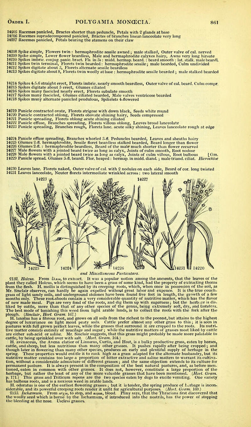 14205 Racemes panlcled, Bractes shorter than peduncle, Petals with 2 glands at base 14206 Racemes supradecompound panicled, Bractes of branches linear-lanceolate very long 14207 Racemes panicled, Petals bearing the stamens on their claw 14208 Spike simple, Flowers twin : hermaphrodite sessile awned ; male stalked, Outer valve of cal. nerved 14209 Spike simple, Lower flower beardless, Male and hermaphrodite calyxes hairy, Awns very long hirsute 14210 Spikes imbric. conjug. panic, bract. Fls in 3s : midd. hermap. beard. : beard smooth : lat. stalk, malebeardl. 14211 Spikes twin terminal, Florets twin bearded: hermaphrodite sessile; male bearded, Culm undivided 14212 Spikes digitate about 3, Florets alternate sessile beardless 14213 Spikes digitate about 8, Florets twin woolly at base : hermaphrodite sessile bearded ; male stalked bearded 14214 Spikes 4-5-6 straight erect, Florets imbric. nearly smooth beardless, Outer valve of cal. beard. Culm compr. 14215 Spikes digitate about 5 erect, Glumes ciliated 14216 Spikes many fascicled nearly erect, Florets subulate smooth 14217 Spikes many fascicled, Glumes ciliated bearded, Male valves ventricose bearded 14218 Spikes many alternate panicled pendulous, Spikelets 4-flowered 14219 Panicle contracted ovate, Florets strigose with down black, Seeds white round 14220 Panicle contracted oblong, Florets obovate shining hairy, Seeds compressed 14221 Panicle spreading, Florets oblong acute shining ciliated 14222 Panicle effuse, Branches spreading, Florets villous oblong, Leaves broad lanceolate 14223 Panicle spreading, Branches rough, Florets lane, acute silky shining, Leaves lanceolate rough at edge 14224 Panicle effuse spreading, Branches whorled 3-fl. Peduncles bearded, Leaves and sheaths hairy 14225 Glumes 2-fl. hermaphrodite, Sessile floret beardless stalked bearded, Beard longer than flower 14226 Glumes 2-fl.: hermaphrodite beardless, Beard of the male much shorter than flower recurved 14227 Male flowers with a jointed beard twice as long as calyx, Joints of culm smooth, Root nodose 14228 Male flowers with a jointed beard twice a6 long as calyx, Joints of culm villous, Root bulbous ^Gm. 14229 Panicle spread. Glumes 3-fl. beardl. Flor. heaped: hermap. in midd. diand.; male triand. ciliat. Hierockloe 14230 Leaves lane. Florets naked, Outer valve of cal. with 2 nodules on each side, Beard of cor. long twisted 14231 Leaves lanceolate, Neuter florets intermediate wrinkled across: two lateral smooth and Miscellaneous Particulars. 2132. Holcus. From i\zai, to extiact. It was a popular notion among the ancients, that the leaves of the plant they called Holcus, which seems to have been a grass of some kind, had the property of extracting thorns from the flesh. H. mollis is distinguished by its creeping roots, which, when once in possession of the soil, as Mr. Sinclair observes, can hardly be again expelled without great labor and expence. It is the true couch- grass of light sandy soils, and underground stolones have been found five feet in length, the growth of a few months only. These root-shoots contain a very considerable quantity of nutritive matter, which has the flavor of new made meal. Pigs are very fond of the roots, and dig them up with eagerness; but the herb ge is dis- liked by oattle, more than that of any other species of the genus, being extremely soft, dry, and tasteless. The best mode of banishing this weed from light arable lands, is to collect the roots with the fork after the plough. (Sinclair, Hort. Gram. 167.) H. 1.matus has a fibrous root, and grows on all soils from the richest to the poorest, but attains to the highest degree of luxuriance on light moist peaty soils. Cattle prefer almost any other grass to this ; it is seen in pastures with full grown perfect leaves, while the grasses that surround it are cropped to the roots. Its nutri- tive matter consists entirely of mucilage and sugar ; while the nutritive matters of grasses most liked by cattle are either sub-acid or saline. Mr. Sinclair suggests, that this grass might probably be made more palatable to cattle, by being sprinkled over with salt. {Hort. Gram. 164.) H. avenaceus, the Avena elatior of Linnams, Curtis, and Host, is a bulky productive grass, eaten by horses, cattle, and sheep, but less nutritious than many other grasses. It pushes rapidly after being cropped; and though later in flowering than many other species, produces an early and plentiful supply of herbage in the spring. These properties would entitle it to rank high as a grass adapted for the alternate husbandry, but its nutritive matter contains too large a proportion of bitter extractive and saline matters to warrant its cultiva- tion, without a considerable admixture of different grasses; and the same objection extends to its culture for permanent pasture. It is always present in the composition of the best natural pastures, and, as before men- tioned, eaten in common with other grasses. It does not, however, constitute a large proportion of the herbage, but rather the least of any of the more valuable grasses that have been mentioned. [Hort. Gram. p. 171.) This grass and Triticum repens are the two species eaten by dogs to excite vomiting. One variety has bulbous roots, and is a noxious weed in arable lands. H. odoratus is one of the earliest flowering grasses; but it is tender, the spring produce of herbage is incon- siderable, and its powerful creeping roots render it unfit for agricultural purposes. (Hort. Gram. 169.) 2133. Ischarmum. From itryfii, to stop, and uifMt, blood. Pliny says, that the Thracians first discovered that the woolly seed which is borne by the Ischeemum, if introduced into the nostrils, has the power of stopping the bleeding at the nose. Useless grasses.