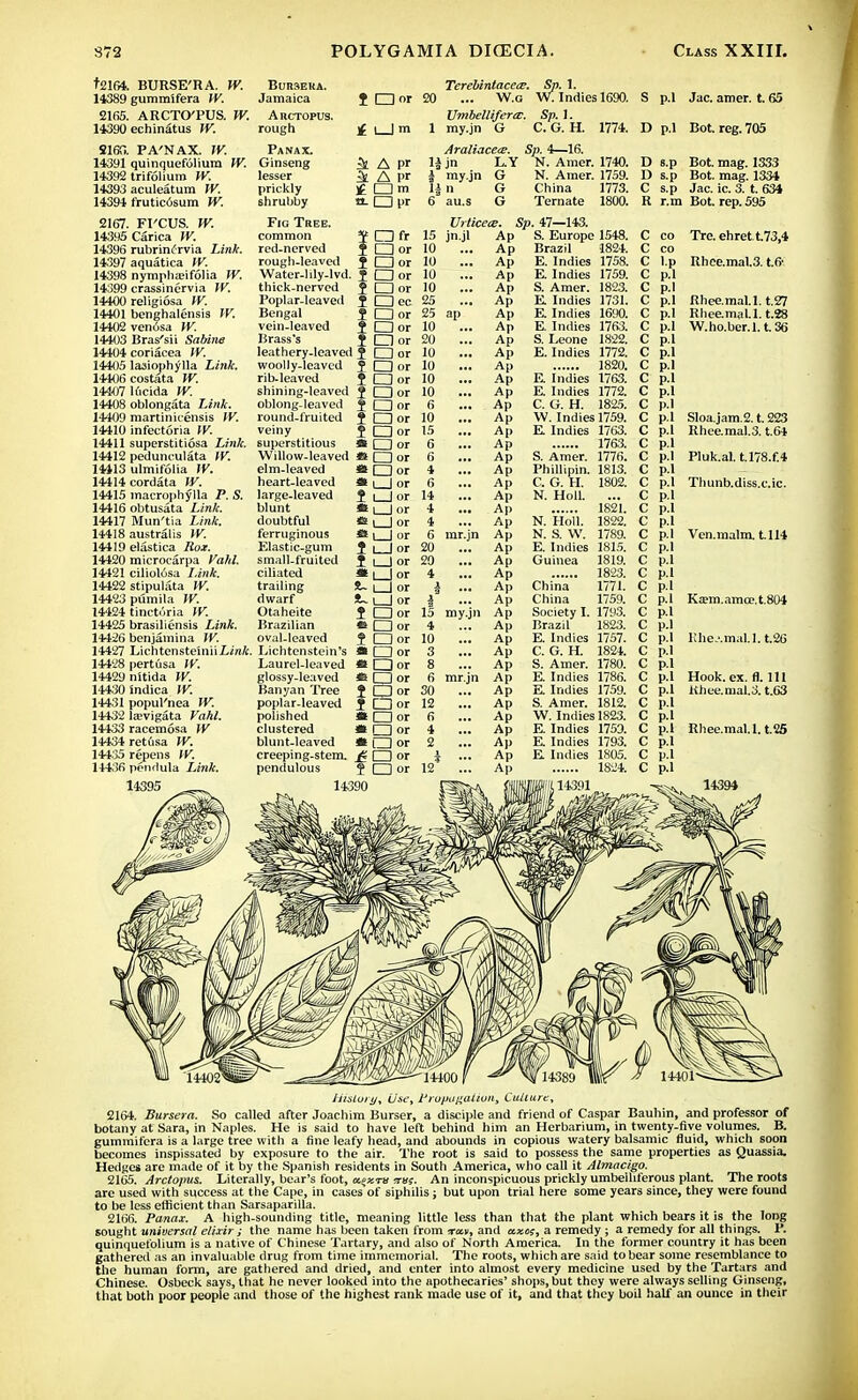 t2164. BURSE'RA. YV. Burseka. Terebintacece. Sp. 1. 14389 gummifera W. Jamaica t □ or 20 ... W.g W. Indies 1690. 2165. ARCTO'PUS. YV. Arctopus. Vmbellifertc. Sp. 1. 14390 echinatus YV. rough ]£ i_J m 1 my.jn G C. G. H. 1774. S16G. PA'NAX. YV. Panax. Araliacece. Sp. 4—16. 14391 quinquefolium YV. Ginseng ^ A Pf H j LY N. Amer. 1740. 14392 trifolium YV. lesser i A I11 * my.jn G N. Amer. 1759. 14393 aculeatum YV. prickly □ m 1£ n G China 1773. 14394 fruticosum YV. shrubby «- O pr 6 au.s G Ternate 1800. 2167. FI'CUS. IV. Fig Thee. Urticete. Sp. 47—143. 14395 Carica YV. common J □ fr 15 jn.jl Ap S. Europe 1548. 14396 rubrinifrvia Link, red-nerved J □ or 10 ... Ap Brazil 1824. 14397 aquatica YV. rough-leaved J O or 10 ... Ap E. Indies 1758. 14398 nympha?ifolia YV. Water-ldy-lvd. fQor 10 ... Ap E. Indies 1759. 14399 crassinervia IV. thick-nerved t □ or 10 ... Ap S. Amer. 1823. 14400 religiosa YV. Poplar-leaved J □ ec 25 ... Ap E Indies 1731. 14401 benghalensis IV. Bengal J O or 25 ap Ap E. Indies 1690. 14402 venosa YV. vein-leaved 1 □ or 10 ... Ap E. Indies 1763. 14403 Bras'sii Sabine Brass's ? □ or 20 ... Ap S. Leone 1822. 14404 coriacea YV. leathery-leaved ? O or 10 ... Ap E. Indies 1772. 14405 lasiophylla Link. woolly-leaved ? □ or 10 ... Ap 1820. 14406 costata YV. rib-leaved ? □ or 10 ... Ap E. Indies 1763. 14407 16cida YV. shining-leaved J O or 10 ... Ap E. Indies 1772. 14408 oblongata Link. oblong-leaved $ O or 6 ... Ap C. G. H. 1825. 14409 martinicensis IV. round-fruited ? □ or 10 ... Ap \V. Indies 1759. 14410 infectoria YV. veiny { Qor 15 ... Ap E Indies 1763. 14411 superstitiosa Link, superstitious « □ or 6 ... Ap 1763. 14412 pedunculata YV. Willow-leaved «s O or 6 ... Ap S. Amer. 1776. 14413 ulmifolia IV. elm-leaved HQor 4 ... Ap Phillipin. 1813. 14414 cordata W. heart-leaved ti , | or 6 ... Ap C. G. H. 1802. 14415 inacrophylla P. S. large-leaved $ i | or 14 ... Ap N. Holl. 14416 obtusata Link. blunt H\ | or 4 ... Ap 1821. 14417 Mun'tia Link. doubtful «e t | or 4 ... Ap N. Holl. 1822. 14418 australis YV. ferruginous * i | or 6 lnr.jn Ap N. S. W. 1789. 14419 elastica Ron. Elastic-gum J | | or 20 ... Ap E. Indies 1815. 14420 microcarpa Vald. small-fruited J i | or 20 ... Ap Guinea 1819. 14421 ciliolosa Link. ciliated * | | or 4 ... Ap 1823. 14422 stipulata YV. trailing S~ | | or i ... Ap China 1771. 14423 pumila YV. dwarf S~ i | or | ... Ap China 1759. 14424 tinctiiria YV. Otaheite f O or 15 my.jn Ap Society I. 1793. 14425 brasiliensis Link. Brazilian *s □ or 4 ... Ap Brazil 1823. 14426 benjamina IV. oval-leaved $ IZ3 or 10 ... Ap E. Indies 1757. 14427 Lichtensteiniiiin/c. Lichtenstein's «□ or 3 ... Ap C. G. H. 1824. 14428 pertusa YV. Laurel-leaved « □ or 8 ... Ap S. Amer. 1780. 14429 nitida W. glossy-leaved «□ or 6 mr.jn Ap E. Indies 1786. 14430 indica YV. Banyan Tree }Qor 30 ... Ap E Indies 1759. 14431 popul'nea YV. poplar-leaved f □ or 12 ... Ap S. Amer. 1812. 14432 laevigata Vahl. polished * □ or 6 ... Ap W. Indies 1823. 14433 racemosa YV clustered it □ or 4 ... Ap E. Indies 1759. 14434 retusa YV. blunt-leaved * □ or 2 ... Ap E Indies 1793. 14435 repens YV. creeping-stem. £ □ or ^ ... Ap E Indies 1805. 14436 pendula LJnk. pendulous $ \ZD or 12 ... Ap 1824. 14395 _ 14390 iHf'i''14391' S p.l Jac. amer. t. 65 D p.l Bot. reg.705 D s.p Bot. mag. 1333 D s.p Bot. mag. 1334 C s.p Jac. ic. 3. t. 634 R r.m Bot. rep. 595 C co C co C l.p C p.l C p.l C p.l C p.l C p.l Tre. ehret t73,4 Rhee.mal.3. t.(r Rhee.mal.l. t.27 Rliee.mal.1. t.28 W.ho.ber.l.t.36 Sloa.jam.2. t. 223 Rhee.mal.3. t.64 Pluk.al. t.l78.f.4 Thunb.diss.cic. Ven.malm. 1.114 Ka;m.amce.t.804 Khe.'.mal.l. t.26 Hook. ex. fl. Ill Khee.mal.3. t.63 Rhee.mal.l. t.26 14394 History, Use, jf relitigation. Culture, 2164. Bursera. So called after Joachim Burser, a disciple and friend of Caspar Bauhin, and professor of botany at Sara, in Naples. He is said to have left behind him an Herbarium, in twenty-five volumes. B. gummifera is a large tree with a fine leafy head, and abounds in copious watery balsamic fluid, which soon becomes inspissated by exposure to the air. The root is said to possess the same properties as Quassia. Hedges are made of it by the Spanish residents in South America, who call it Almacigo. 2165. Arctopus. Literally, bear's foot, «;zra rrm. An inconspicuous prickly umbelliferous plant. The roots are used with success at the Cape, in cases of siphdis; but upon trial here some years since, they were found to be less efficient than Sarsaparilla. 2166. Panax. A high-sounding title, meaning little less than that the plant which bears it is the long sought universal elixir ; the name has been taken from tran, and axes, a remedy ; a remedy for all things. P. quinquefolium is a native of Chinese Tartary, and also of North America. In the former country it has been gathered as an invaluable drug from time immemorial. The roots, which are said to bear some resemblance to the human form, are gathered and dried, and enter into almost every medicine used by the Tartars and Chinese. Osbeck says, that he never looked into the apothecaries' shops, but they were always selling Ginseng, that both poor people and those of the highest rank made use of it, and that they boil half an ounce in their