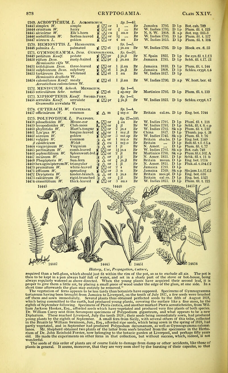 2169. ACROS'TICHUM. L. Acbostichum. 14413 simplex W. 14444 crinitum W. 14445 alcicorne W. 14446 sorbifolium W. 14447 aureum L. simple hairy Elk's-hom Sorbus-leaved golden £ El or If IA1 or i Al cu fL E or £ El or 2170. HEMIONITIS. L. Hemionitis. 14448 palmata L. palmated ]£ E el 2171. GYMNOGRAM'MA. Deso. Gymnogramma. 14449 pedatum Kaulf. pedate £ E pr 14450 rufum Dcsv. rusty-haired £ El pr Hemionitis rufa W. 14451 trifohatum Desv. three-leaved )£ EI or 14452 sulphureum Desv. sulphury f EJel 14453 tartareum Desv. whitened )£ E] el Hemionitis dcalbata W. 14454 calomelanos Kaulf. mealy Acrostichum calomelanos W. 2172. MENIS'CIUM. Schreb. Menisciuih. 14455 reticulatum Schr. netted El el 2173. XIPHOP'TERIS. Kaulf. Sword-Fern. 14456 serrulata Kaulf. serrulate £ El Pr Grammilis serrulata W. 2174. CE'TERACH. W. Ceterach. 14457 officinarum W. common 2175. 14458 14459 14460 14461 14462 14463 0 14464 14465 14466 14467 14468 14469 14470 14471 14472 14473 14474 Sp. 5—42. 1 ... Br | ... Br § au.o Br 1| ... Br 4 au Br Sp. 1—5. J jn.au Br Sp. 6—26. I jn.jl Br | jn.au Br 1 jl.au Br 1 jn.jl Br 1 au Br Jamaica 1793. W. Indies 1793. N. S. W. 18C8. W. Indies 1793. W. Indies 1815. D l.p Bot. cab. 709 D Lp Plum. fil. 1.125 R s.p Bot. reg. 262-3 D l.p Plum. til. 1.117 D l.p Plum. fiL 1.104 W. Indies 1793. D Lp Hook. ex. fl. 33 N.Spain 1822. D l.p Sw.syn.fil. t.l.f.3 Jamaica 1793. D l.p Schk. fil. t.17.21 Jamaica 1810. D l.p Plum. fil. 1.144 Jamaica 1808. D l p Schku. crypt, t.4 W. Indies 1817. D Lp £ El el 1 jl.au Br W. Indies 1790. D s.p W. hort. ber. 41 POLYPO'DIUM. piloselloides W. lycopodio'ides W. phyllitidis W. Lin'gua W. aureum IV. vulgare W. cdmbricum virginianum W. pectinatum W. asplenifolium W. incanum W. Phegopteris W. hexagonopterum W. pruinatum W. effusum W. Dry6pteris W. calcareum W. crassifolium W. L. Polypody. Mouse-ear Club-moss Hart's-tongue tongue-leaved golden common Welsh Virginian comb-leaved Spleen wort-lvd. hoary Sun-fern triangular white-leaved spreading tender-branch, rigid-branched thick-leaved £ A m tElor Ik El or £ El or i Al or [Al or 3t A or & A cu 4 A or £ El or £ El or 4 A »f ^ A or ^ A or £ El or H E or & A or k A or £ E or Sp. 1—6. | ap.my Br Sp. 1—2. i jn.jl Br Sp. 1-4. f my.o Br Martinico 1793. D l.p Plum. fil. 1.110 W. Indies 1823. D Lp Schku. crypt, t.7 Britain cal.ro. D l.p Eng. bot. 1244 Sp. 27- i au 1 Jl 2 jn.s 1 my.jl 3 mr.ap 1 my.o 1 my.o 1 jl H jn.s 2 jl if I jn.jl 1 jl 2 s 3 n 1 jn.s 3 ■160. Br Br Br Br Br Br Br Br Br Br Br Br Br Br Br Br Br W. Indies 1793. W. Indies 1793. W. Indies 1793. China 1817. W. Indies 1742. Britain sha.ba. Britain ... N. Amer. ... W. Indies 1793. Martinico 1790. N. Amer. 1811. Britain moun. N. Amer. 1811. Jamaica 1793. Jamaica 1769. Britain moi.pl Britain cal ro. W. Indies 1823. D Lp D Lp Sk s.p D l.p Sk s.p D Lp D l.p D Lp Sk s.p Sk s.p D l.p D l.p D l.p D l.p Sk s.p D Lp D l.p D Lp Plum. fil. 1.118 Schk. fiL t. 8. c.p Plum. fil. 1.130 Thunb. jap. t. 38 Plum. fil. t. 76 Eng. bot. 1149 Bolt. fil. t.2. f'.S.a Plum. fil. t. 77 Bot. cab. 748 Plum.fil.t.l02.A Schk. fil. 1.11. b Eng. bot. 2224 Pluk.al. t.284.f2 Slo.jam.l.t.57.f.3 Eng. bot. 616 Eng. bot 1525 Plum. fil. t. 123 14454 History, Use, Propagation, Culture, required than a bell-glass, which should just fit within the rim of the pot, so as to exclude all air. The pot is then to be kept in a pan always half full of water, and set in a shady part of the stove or hot-house, being always regularly watered as above directed. When the young plants have acquired their second leaf, it is proper to give them a little air, by placing a small piece of wood under the edge of the glass, at one side. In a short time afterwards the glass may entirely be removed. The vegetation of ferns appears to be less tardy than botanists have supposed. Specimens of Gymnogramma tartareum having been brought from Jamaica to Liverpool, on the tenth of July 1817, a few seeds were brushed off them and sown immediately. Several plants thus obtained perfected seeds by the fifth of August 1818, which being committed to the earth, had produced young plants, covering the surface like a fine moss, by the eighth of September following. Specimens of Pteris cretica, and another marked Pteris acrostichoides, from Wil- liam Jackson Hooker, Esq., afforded seeds which have vegetated and produced very fine plants of both species. Dr. William Carey sent from Serampore specimens of Polypodium giganteum, and what appears to be a new Diplazium. These reached Liverpool, July the tenth 1818 ; their seeds being immediately sown, had produced young plants by the eighth of September. A small fern from Sicily, with several others of this tribe, collected in the Brazils by William Swainson, Jun., Esq., afforded ripe seeds, which being sown in the spring of 1818, Lad partly vegetated, and in September had produced Polypodum decumanum, as well as Gymnogramma calome- lanos. Mr. Shepherd obtained two plants of the latter from seeds brushed from the specimens in the Herba- rium of Dr. John Reinhold Forster, now belonging to the botanic garden at Liverpool, and perhaps fifty years old. He made the experiments on other ferns in that collection, but without success, which, indeed, is not wonderful. t The seeds of this order of plants are of course liable to damage from damp or other accidents, like those of plants in general. It 6eems, moreover, that they are very soon shed by the bursting of their capsules, so that