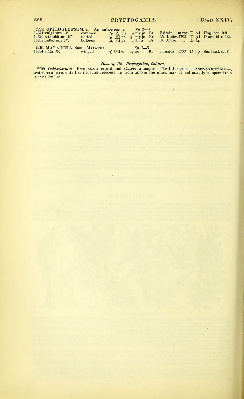 2209. OPHIOGLOS'SUM. L. Adder's-tongue. Sp. 3—9. 14621 vulgatum W. common ^ A cu \ my.jn Br Britain m.me. D p.l Eng. bot. 108 14622 reticulatum IV. netted £ [SI pr i my.jn Br W. Indies 1793. D p.l Plum. 61. t. 164 14623 bulbosum W. bulbous A -Al pr i jl.au Br N. Amer. ... D l.p 2210. MARAT'TIA. Swz. Marattia. Sp. 1—6. 14624 alata W. winged £ 23 or 1| au Br Jamaica 1793. D l.p Sm. ined. t. 46 History, Use, Propagation, Culture, , ■ 2209. Ophioglossum. From eais, a serpent, and y\uir<rv, a tongue. The little green narrow-pointed leaves, seated on a narrow stalk or neck, and peeping up from among the grass, may be not unaptly compared to a snake's tongue.