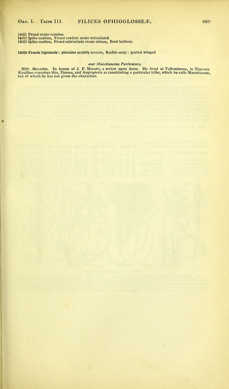 14621 Frond ovate veinless 14622 Spike cauline, Frond cordate acute reticulated 14623 Spike cauline, Frond subcordate ovate obtuse. Root bulbous 14624 Fronds bipinnate: pinnules acutely serrate, Rachis 6caly: partial winged and Miscellaneous Particulars. 2210. Marattia. In honor of J. F. Maratti, a writer upon ferns. He lived at Vallombrosa, in Tuscany. Kaulfuss considers this, Dansea, and Angiopteris as constituting a particular tribe, which he calls Marattiacea?, but of which he has not given the characters.