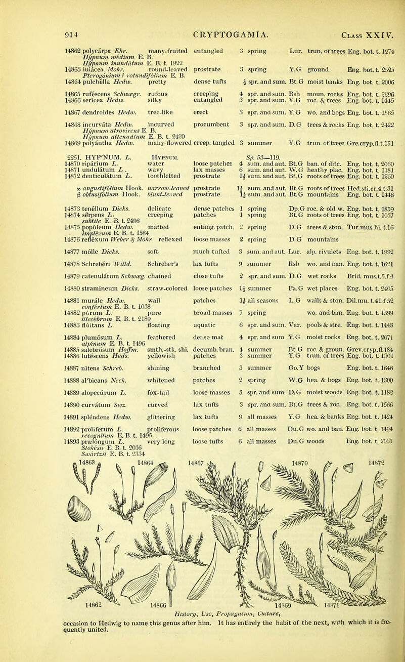 14862 polycarpa E/ir. many-fruited entangled Hypnum medium E. B. Hypnum inunddtum E. B. t. 1922 14863 iuiacea Mohr. round-leaved prostrate Pterogonium ? rotundifblium E. B. 14864 pulchella Hcdw. pretty dense tufts spring 14865 rufescens Schwcegr, rufous 14866 sericea Hedw. silky 14867 dendroides Hedw. tree-like creeping entangled erect procumbent 3 spring | spr. and sum. 4 spr. and sum. 3 spr. and sum, 3 spr. and sum. 3 spr. and sum. 14868 incurvata Hedw. incurved HCjpmnn atrov'irens E. B. Hypnum attenuation E. B. t. 2420 14869 polyantha Hedw. many-flowered creep, tangled 3 summer Lur. trun. of trees Eng. hot. t. 1274 Y.G ground Eng. bot. t. 2595 Bt.G moist banks Eng. bot. t. 2006 Rsh moun. rocks Eng. bot. t. 2296 Y.G roc. & trees Eng. bot. c. 1445 Y.G wo. and bogs Eng. bot. 1.1565 D. G trees & rocks Eng. bat. t. 2422 Y.G trun.oftrees Gre.cryp.fl.t.151 2251. HYP'NUM. L. 14870 riparium L. 14871 undulatum L . 14872 denticulatum L. Hypnum. Sp. 53—119. water loose patches 4 sum. and ant. wavy lax masses 6 sum. and aut. toothletted prostrate 1£ sum. and aut. a. angustifolium Hook, narrow-leaved prostrate /3 obtusifolium Hook. blunt-leaved prostrate 1| sum. and aut. li sum. and aut. 14873 tenellum Dicks. delicate 14874 serpens L. creeping subtile E. B. t. 2496 14875 popnleum Hedw. matted implexuin E. B. t. 1584 14876 reflexum Weber Sj Mohr reflexed 14877 molle Dicks. soft 14878 Schreberi WUld. Sehreber's 14879 catenul&tum Schwteg. chained 14880 stramineum Dicks. dense patches 1 spring patches 1 spring entang. patch loose masses much tufted lax tufts close tufts traw-colored loose patches 14881 murale Hedw. wall patches con/Mum E. B. t. 1038 14882 pdrum L. pure broad masses illccebrum E. B. t. 2189 14883 fli'iitans L. floating aquatic 14884 plumosum L. feathered dense mat alpinum E. B. t. 1496 14885 salebrosum Hofftn. 14886 lutescens Hnds. 14887 nitens Schreb. 14888 albicans Neck. 14889 alopecurum L. 14890 curvatum Sua. 14891 splendens Hcdw. smth.-stk. shi. decumb. bran. yellowish shining whitened fox-tail curved glittering 14892 proliferum L. proliferous recognition E. B. t. 1495 14893 pra?16ngum L. very long Stokesii E. B. t. 2036 Swartzii E. B. t. 2334 patches branched patches loose masses lax tufts lax tufts loose patches loose tufts 2 spring 2 spring 3 sum. and aut. 9 summer 2 spr. and sum 1£ summer 1| all seasons 7 spring 6 spr. and sum, 4 6pr. and sum 4 summer 3 summer 3 summer 2 spring 3 spr. and sum. 3 spr. ana sum. 9 all masses 6 all masses 6 all masses Bt.G W.G Bt.G Bt.G Bt.G Dp.G Bt.G D.G D.G Lur. Rsh . D.G Pa.G L.G Var. Y.G Bt.G Y.G Go.Y W.G D.G Bt.G Y.G Du.G Du.G ban. of ditc. heathy plac. roots of trees roots of trees mountains roc. & old w. roots of trees trees & ston. mountains alp. rivulets wo. and ban. wet rocks wet places walls & ston. wo. and ban. pools & stre. moist rocks roc. & groun. trun. of trees bogs hea. & bogs moist woods trees & roc. hea. & banks wo. and ban. woods Eng. bot. t. 2060 Eng. bot. 1.1181 Eng. bot 1.1260 Hed.sti.cr.4.t.31 Eng. bot. t. 1446 Eng. bot. 1.1859 Eng. bot. 1.1037 Tur.mus.hi. t.16 Eng. bot. 1.1992 Eng. bot. 1.1621 Brid. mus.t.5.f.4 Eng. bot. t. 2405 Dil.mu. t.41.f,52 Eng. bot. 1.1599 Eng. bot. 1.1448 Eng. bot. t. 2071 Grev.cryp.fl.184 Eng. bot. 1.1301 Eng. bot. t. 1646 Eng. bot t. 1300 Eng. bot. 1.1182 Eng. bot. 1.1566 Eng. bot. t. 1424 Eng. bot. t. 1494 Eng. bot. t. 2035 14870 A , 4*1 14872 14SG9 History, Use, Propagation, Culture, occasion to Hedwig to name this genus after him. It has entirely the habit of the nest, with which it is fire, quently united.