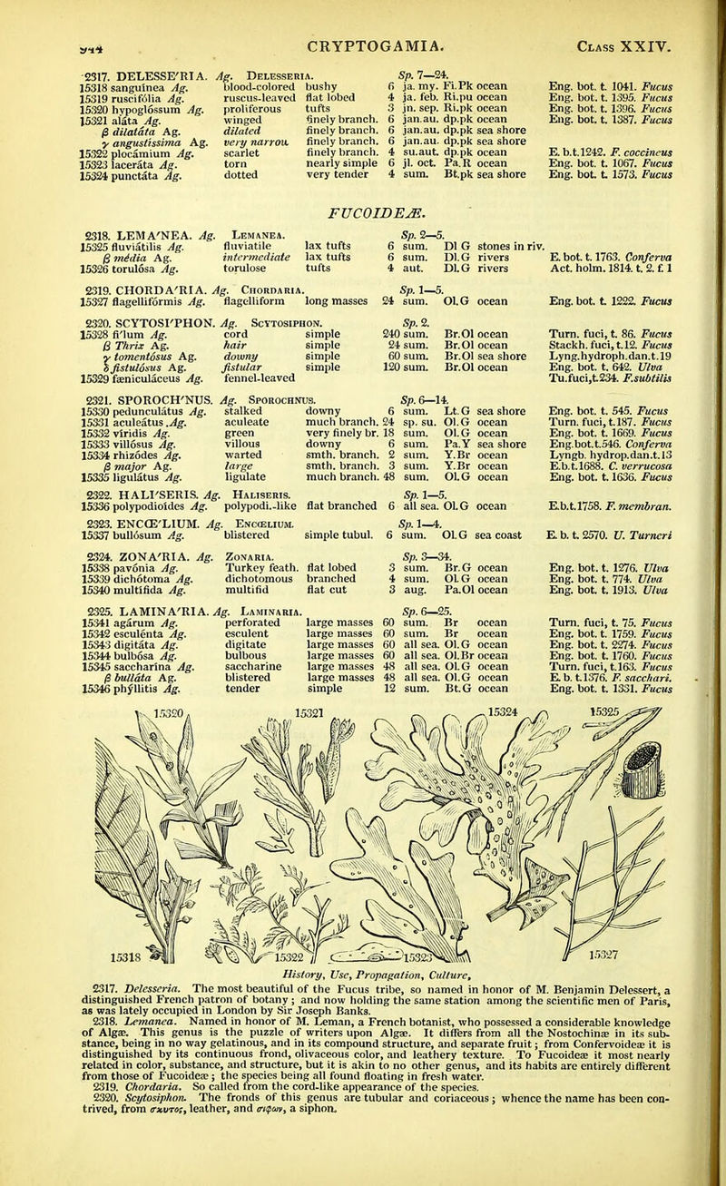 2317. DELESSE'RIA. 15318 sangulnea Ag. 15319 ruscifolia Ag. 15320 hvpoglossum Ag. 15321 aUtaAg. (3 dilatdta Ag. y angustissima Ag. 15322 plocamium Ag. 15323 lacerata Ag. 15324 punctata Ag. Ag. Delesseria. blood-colored bushy ruscus-leavcd proliferous winged dilated very narrou. scarlet torn dotted flat lobed tufts finely branch, finely branch, finely branch, finely branch, nearly simple very tender Sp. 7—24. fi ja. my. Fi.Pk 4 ja. feb. Ri.pu 3 jn. sep. Ri.pk 6 jan.au. dp.pk 6 jan.au. dp.pk 6 jan.au. dp.pk 4 su.aut. dp.pk 6 jl. oct. Pa.R 4 sum. Bt.pk ocean ocean ocean ocean sea shore sea shore ocean ocean sea shore Eng. bot. t. 1041. Fucus Eng. bot. 1.1395. Fucus Eng. bot. 1.1396. Fucus Eng. bot. t. 1387. Fucus E. b.t.1242. F. coccineus Eng. bot. t. 1067. Fucus Eng. bot. t 1573. Fucus FUCOIDEM. 2318. LEMA'NEA. Ag. Lemanea. 15325 fluvtatilis Ag. fluviatile jg media Ag. intermediate 15326 torulosa Ag. torulose lax tufts lax tufts tufts 2319. CHORDA'RIA. Ag. Ciiordaria. 15327 flagelliformis Ag. flagelliform long masses 2320. SCYTOSI'PHON. Ag. Scytosiphon. 15328 fi'lum Ag. cord simple S Thrix Ag. hair simple Y tomentosus Ag. downy simple Sfistuldsus Ag. fistular simple 15329 fseniculaceus Ag. fennel-leaved Sp. 2—5. 6 sum. Dl G stones in riv. 6 sum. DIG rivers E.bot. 1.1763. Conferva 4 aut. D1.G rivers Sp. 1—5. 24 sum. 01.G ocean Act. holm. 1814. t. 2. f. 1 Sp. 2. 240 sum. 24 sum. 60 sum. 120 sum. Br.Ol ocean Br.Ol ocean Br.Ol sea shore Br.Ol ocean 2321. 15330 15331 15332 15333 15334 /3 15335 2322. 15336 SPOROCH'NUS. Ag. Sporochnus, pedunculatus Ag. aculeatus .Ag. viridis Ag. villosus Ag. rhizodes Ag. major Ag. ligulatus Ag. HALI'SERIS. Ag. polypodioldes Ag. downy stalked aculeate green villous warted large ligulate Haliseris. polypodi.-like flat branched Sp. 6—14. 6 sum. Lt. G sea shore much branch. 24 sp.su. Ol.G ocean very finely br. 18 sum. Ol.G ocean downy 6 sum. Pa.Y sea shore smth. branch. 2 sum. Y.Br ocean smth. branch. 3 sum. Y.Br ocean much branch. 48 sum. OLG ocean Sp. 1—5. all sea. OL G ocean 2323. ENCCE'LIUM. Ag. Enc<euum. Sp. 1—4. 15337 bullosum Ag. blistered simple tubul. 6 sum. Ol. G sea coast 2324. ZONA'RIA. 15338 pavonia Ag. 15339 dichotoma Ag. 15340 multlfida Ag. Ag. ZoNARIA. Turkey feath. flat lobed dichotomous branched multifid flat cut 2325. LAMINA'RIA. Ag. Laminaria. 15341 agarum Ag. 15342 esculenta Ag. 15343 digitata Ag. 15344 bulbosa Ag. 15345 saccharina Ag. bullata Ag. 15346 phy'llitis Ag. perforated esculent digitate bulbous saccharine blistered tender large masses large masses large masses large masses large masses large masses simple Sp. 3—34. 3 sum. Br.G ocean 4 sum. OLG ocean 3 aug. Pa.01 ocean Sp. 6—25. 60 sum. Br ocean 60 sum. Br ocean 60 all sea. Ol. G ocean 60 all sea. Ol.Br ocean 48 all sea. Ol. G ocean 48 all sea. Ol.G ocean 12 sum. Bt.G ocean Eng. bot. t 1222. Fucus Turn, fuci, t. 86. Fucus Stackh. fuci,t.l2. Fucus Lyng.hydroph.dan.t.19 Eng. bot. t. 642. Viva Tu.fuci,t234. F.subtilis Eng. bot. t. 545. Fucus Turn, fuci, t.187. Fucus Eng. bot. t. 1669. Fucus Eng.bot.t.546. Conferva Lvngb. hydrop.dan.t.I3 E.'b.t.l688. C. verrucosa Eng. bot. 1.1636. Fucus Eb.t.1758. F. membran. E b. t. 2570. V. Turncri Eng. bot. t. 1276. Viva Eng. bot. t. 774. Viva Eng. bot. 1.1913. Viva Turn, fuci, t. 75. Fucus Eng. bot. t. 1759. Fucus Eng. bot. t. 2274. Fucus Eng. bot. 1.1760. Fucus Turn, fuci, t.163. Fucus E b. t.1376. F. sacchari. Eng. bot. t. 1331. Fucus History, Vse, Propagation, Culture, 2317. Delesseria. The most beautiful of the Fucus tribe, so named in honor of M. Benjamin Delessert, a distinguished French patron of botany; and now holding the same station among the scientific men of Paris, as was lately occupied in London by Sir Joseph Banks. 2318. Lemanea. Named in honor of M. Leman, a French botanist, who possessed a considerable knowledge of Alga;. This genus is the puzzle of writers upon Algae. It differs from all the Nostochinae in its sub. stance, being in no way gelatinous, and in its compound structure, and separate fruit; from Confervoidea? it is distinguished by its continuous frond, olivaceous color, and leathery texture. To Fucoidese it most nearly related in color, substance, and structure, but it is akin to no other genus, and its habits are entirely different from those of Fucoidea;; the species being all found floating in fresh water. 2319. Chordaria. So called from the cord-like appearance of the species. 2320. Scytosiphon. The fronds of this genus are tubular and coriaceous; whence the name has been con- trived, from <t*uto;, leather, and viquii, a siphon.