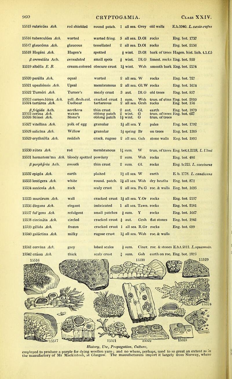 15515 rubricosa Ach. red shielded round patch. 1 all sea. Grey old walls E.U1040. L. aesio-rufiis 15516 tuberculosa Ach. warted warted fring. 3 all sea. D.Ol rocks Eng. bot. 1733 15517 glaucoma Ach. glaucous tessellated 2 all sea. D.Ol rocks Eng. bot. 2156 15518 Hageni Ach. Hagen's spotted | wint. D.Ol bark of trees Hagen. hist. lich. tl.f.5 (3 ctcnuluta Ach. crenuldted small spots £ wint. Dl. G limest. rocks Eng. bot. 930 15519 albella E. B. cream-colored obscure crust 1| wint. Wsh smooth bark Eng. bot. 2154 15520 parella Ach. equal warted 2 all sea. W rocks Eng. bot. 727 15521 upsaliensis Ach. Upsal membranous O ..11 ~TUT z all sea. IrL W rocks Eng. bot 1634 1 C/TOO rVt,\.nA*\ Ay.ii lodzz i urneri acii. mealy crust q out- Taj r< o aut. Dl. Lr old trees Eng. bot. 857 15523 carneo-lutea Ach. 15524 tartarea Ach. yell.-flesh-col. Cudbear cracked crust tartareous 1 sum. Wsh 2 all sea. Grsh trun. of elms Eng. bot. 2010 rocks Eng. bot. 156 ^frigida Ach. 15525 cerina Ach. 15526 Stonei Ach. northern waxen Stone's thin crust oblong patch oblong patch 2 aut. Gl. 2 wint. G li wint. G earth Eng. bot. 1879 trun. of trees Eng. bot. 627 trun. of trees 15527 vitell'ma Ach. yolk of egg granular \\ all sea. Y pales Eng. bot. 1792 15528 salicina Ach. Willow granular 1^ spring Br on trees Eng. bot. 1305 15529 erythrclla Ach. reddish crack, rugose 2 all sea. Gsh stone walls Eng. bot 1993 15530 rubra Ach. red membranous 1| sum. W trun. of trees Eng. bot.t.2218. L. Ulna j.JvA-'i [ i k\ ii i a m 111 [ iij.i al/ii bloody spotted powdery 2 sum. Wsh rocks Eng. bot. 486 porphyria Ach. smooth thin crust 2 sum. Gl. rocks Eng. b.223. L. coccineus 15532 epigea earth plaited 11 ..11 -. \HT 13 all sea. W earth E. b. 1778. L. candicans 15533 lentigera white round, patch. 13 all sea. Wsh dry heaths Eng. bot. 871 15534 saxicola ^4cA. rock scaly crust z all sea. ra, G roc. & walls Eng. bot. 1695 15535 murorum Ach. wall cracked crust 1| all sea. Y.Or rocks Eng. bot. 2157 15536 elegans Ach. elegant imbricated 1 all sea. Tawn. rocks Eng. bot. 2181 15531 ful'gens Ach. refulgent small patches | sum. Y rocks Eng. bot. 1667 15538 circinata Ach. circled cracked crust | aut. Grsh flat stones Eng. bot. 1941 15539 gelida Ach, frozen cracked crust 1 all sea. R.Gr rocks Eng. bot 699 15540 galactina Ach. milky rugose crust 1| all sea. Wsh roc. & walls 15541 cervlna Ach. grey lobed scales | sum. Ciner. roc. & stones E.b.t.2011. L.squamulo. 15542 crassa ^cA. thick scaly crust | sum. Gsh earth on roc. Eng. bot. 18P3 History, Use, Propagation, Culture, emp'oyed to produce a purple for dying woollen yarn ; and no where, perhaps, used to so great an extent as in the manufactory of Mr Mackintosh, at. Glasgow. The manufacturers import it largely from Norway, where