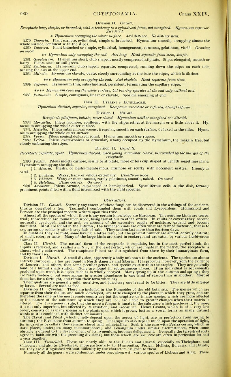 Division 11. Clavuti. Receptacle long, sitnple, or branched, with a tendency to a cylindrical form, not margined. Hymenium superior. Asci fixed. * Hymenium occupying the whole surface. Asci distinct. No distinct stem. 2379. Clavaria. Plant carnose, cylindrical, simple or branched. Hymenium smooth, occupying almost the whole surface, confluent with the stipes. 2380. Caloccra. Plant branched or simple, cylindrical, homogeneous, corneous, gelatinous, viscid. Growing on wood. * * Hymenium only occupying the end. Asci long. Head separate from stem, simple. 2381. Geoglossuyn. Hymenium short, club-shaped, mostly compressed,stipitate. Stipes elongated, smooth or hairy. Plants black or dull green. 2382. Spatularia. Hymenium club-shaped, separate, compressed, running down the stipes on each side, bearing the asci at the upper end. 2383. Mitrula. Hymenium clavate, ovate, closely surrounding at the base the stipes, which is distinct. *** Hymenium only occupying the end. Asci obsolete. Head separate from stem. 2384. Typhula. Hymenium thin, subcylindrical, persistent, terminating the capillary stipes. **** Hymenium covering the whole surface, but bearing sporules at the end only, without asci. 2385. Pislitlaria. Simple, contiguous, linear or clavate. Sporidia emerging at end. Class II. Uterini v. ElvellacE/E. Hymenium distinct, superior, margined. Receptacle urceolate or refiexed, always inferior. Division I. Mitrati. Receptacle pileiform, bullate, never closed. Hymenium neither margined nor discoid. 2386. Morchella. Pileus lacunose, confluent with the stipes either at the margin or a little above it. Hy- menium occupying the whole outer surface. 2387. Helvetia. Pileus submembranaceous, irregular, smooth on each surface, deflexed at the sides. Hyme- nium occupying the whole outer surface. 2388. Verpa. Pileus conical-deflexed, equal. Hymenium smooth or rugose. 2389. Leotia. Pileus ovate-conical or orbicular, wholly occupied by the hymenium, the margin free, but closely embracing the stipes. Division II. Cupulati. Receptacle cupulate, equal. Hymenium discoid, when young somewhat closed, surrounded by the margin of the receptacle. 2390. Peziza. Pileus mostly carnose, sessile or stipitate, more or less cup-shaped at length sometimes plane. Hymenium occupying the disk. § 1. Aleuria. Fleshy, or fleshy-membranous, pruinose or scurfy with flocculent matter, Usually on earth. \ 2. Lachnea. Waxy, hairy or villous externally. Usually on wood. § 3. Phialea. Waxy or membranous, rarely gelatinous, smooth, naked. On wood. 5 4. Helotium. Plano-convex. On wood. 2391. Ascobolus. Pileus carnose, cup-shaped or hemispherical. Sporuliferous cells in the disk, forming prominent points filled with a fluid intermixed with the eight sporules. Observations. Division II. Clavati. Scarcely any traces of these fungi can be discovered in the writings of the ancients. Clusius described a few. Tournefort confounded them with corals and Lycoperdons. Holmskioid and Persoon are the principal modern writers upon this tribe. Almost all the species of which there is any certain knowledge are European. The genuine kinds are terres- trial ; those which are found upon wood, being transitious to other orders. In vaults or caverns they become unusually developed, and the asci, on account of the excessive supply of moisture, expand and become flocculent. Most are found in the autumn ; the branched kinds are often what are termed meteoric, that is to say, spring up suddenly after heavy falls of rain. They seldom last more than fourteen days. In qualities they are mild, some having a bitter taste, but the greatest number are almost entirely destitute of smell, color, or taste. Many of the large kinds are used in cookery, and are eaten by various herbivorous animals. Class II. Uterini. The natural form of the receptacle is cupulate, but in the most perfect kinds, the cupula is refiexed, and is called a mitra ; in the least perfect, which are innate in the matrix, the receptacle is almost wholly obliterated. The resupinate Pileati are distinguished from these by their immarginate form, and by their asci. Division I. Mitrati. A small division, apparently wholly unknown to the ancients. The species are almost entirely European ; a few are found in North America and Siberia. It is probable, however, from the evidence of Loureiro and others, that some peculiar genera and species exist within the tropics. They are generally fond of a humid shady station. None are found in subterraneous places. If an individual is occasionally produced upon wood, it is upon such as is wholly decayed. Many spring up in the autumn and spring ; they are rarely meteoric, but some appear in greater abundance in one kind of season than in another. Most of them last for a fortnight, and retain their form when dry. Their qualities are generally mild, nutritive, and juiceless ; one is said to be bitter. They are little infested by larvae. Several are used as food. Division II. Cupulati. These are included in the Fungoides of the old botanists. The species which are separate from their thallus and much developed, are little changed by the places in which they grow, and are therefore the same in the most remote countries; but the eruptive or innate species, which are more affected by the nature of the substance by which they are fed, are liable to greater changes when their matrix is altered. For it is a general rule, that the more a fungus is innate in the substance which produces it, the more it is not only imperfect, but affected by its situation, and vice-versa. Hence Ca?oma, which is of a very low order, consists of as many species as the plants upon which it grows, just as a vowel forms as many distinct words as it is combined with distinct consonants. The Clavati and Pileati, which chiefly depend upon the access of light, are in perfection from spring to autumn ; the Elvellaceae from autumn to spring. The Cupulati also depend much upon the operation of light, for in caverns or cellars they remain closed and spha?ria-like. Such is the case with Peziza cerina, which in dark places, undergoes many metamorphoses; and Cenangium under similar circumstances, when some obstacle is offered to the developeinent of its hymenium, becomes deliquescent. Generally the terrestrial sorts agree in habitude with the preceding divisions ; but those which are eruptive are often in perfection for half a year together. Class III. Trcmellini. These are nearly akin to the Pileati and Clavati, especially to Thelephora and Calocera; and also to Elvellacea.', more particularly to Hygromitra, Peziza, Mollisia, Bulgaria, and Ditiola, but they are distinguished without difficulty by the characters assigned to them. Formerly all the genera were confounded under one, along with various species of Lichens and Alga;. These