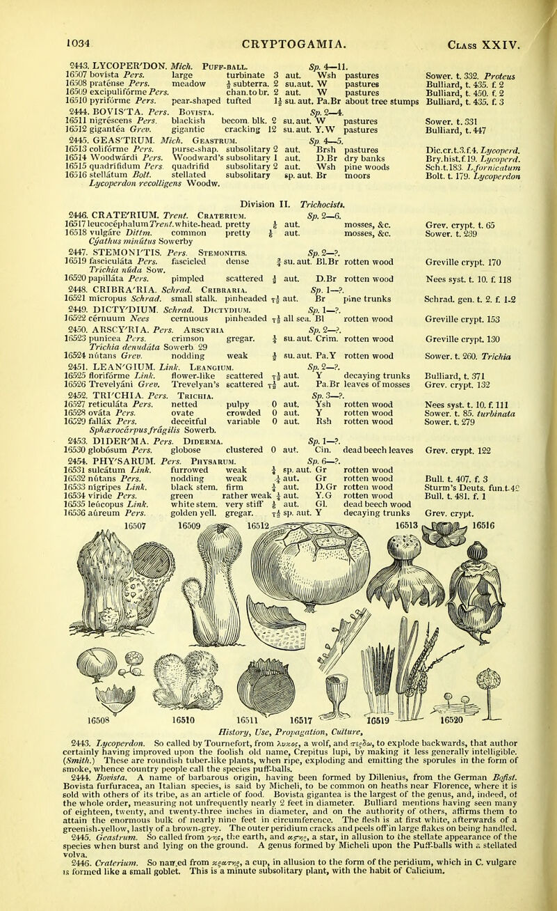 2443. LYCOPER'DON. Mich. Puff-ball. 16 )07 bovista Pers. large turbinate 3 16508 pratense Pers. meadow | subterra. 2 16509 excipuliforme .Pers. chan.tobr. 2 16510 pyriforme Pers. pear-shaped tufted ]a 2444. BOVIS'TA. Pers. Bovista. 16511 nigrescens Pers. blackish becom blk. 2 16512 gigantea Grev. gigantic cracking 12 2445. GEAS'TRUM. Mich. Geastrum. 16513 coliforme Pers. purse-shap. subsolitary 2 16514 Woodwardi Pers. Woodward's subsolitary 1 16515 quadrlfidum Pers quadrifid subsolitary 2 16516 stellatum Bolt. stellated subsolitary Lycoperdon recolligens Woodw. Sp. 4—11. aut. Wsh pastures su.aut. W pastures aut. W pastures su. aut. Pa. Br about tree stumps Sp. 2—4. su.aut. W pastures su.aut. Y.W pastures Sp. 4—5. aut. Brsh pastures aut. D.Br dry banks aut. Wsh pine woods sp. aut. Br moors Sower, t. 332. Proteus Bulliard, t. 435. f. 2 Bulliard, t. 450. f. 2 Bulliard, t. 435. f. 3 Sower, t. 331 Bulliard, t.447 Dic.cr.t.3.f.4. Lycoperd. Bry.hist.f.19. Lycoperd. Sch.t.183. L.fornicatum Bolt. 1.179. Lycoperdon Division II. Trichocisti. 2446. CRATE'RIUM. Trent. Craterium. Sp. 2—6. 16517 leucocephalum7Ve«/.white-head, pretty J aut. mosses, &c. 16518 vulgare Dit/m. common pretty \ aut. mosses, &c. Cyathus min&tus Sowerby 2447. STEMONI'TIS. Pers. Stemonitis. 16519 fasciculata Pers. fascicled dense Trlchia nitda Sow. 16520 papillata Pers. pimpled scattered I aut. D.Br rotten wood CRIBRA'RIA. Schrad. Cribraria. Sp. 1—?. micropus Schrad. small stalk, pinheaded t| aut. Br pine trunks DICTY'DIUM. Schrad. Dictvdium. Sp. 2—?. | su. aut. BI.Br rotten wood 16521 2449. 16522 cernuum Nees 2450. 16523 Sp. 1—?. cernuous pinheaded T| all sea. Bl rotten v/ood ARSCY'RIA. Pers. Arscyria punicea Pers. crimson gregar. 16524 2451. 1&525 16526 2452. 16527 16528 16529 2453. 16530 2454. 16531 ia532 16533 16534 16535 lfi536 Trichia denuddta Sowerb 29 nutans Grev. nodding weak LEAN'GIUM. Link. LeangiUM, floriforme Link. flower-like scattered -J aut. Trevelyani Grev. Trevelyan's scattered T£ aut, TRI'CHIA. Pers. Trichia. reticulata Pers. netted pulpy ovata Pers. ovate crowded fallax Pers. deceitful variable Sph&rocarpus fragilis Sowerb. DIDER'MA. Pers. Diderma. globosum Pers. globose clustered 0 aut, PHY'SARUM. Pers. Physarum. Sp. 2—?. su. aut. Crim. rotten wood su. aut. Pa.Y rotten wood Sp. 2—?. Y decaying trunks Pa.Br leaves of mosses Sp. 3—?. Ysh rotten wood Y rotten wood Rsh rotten wood 0 aut. 0 aut. 0 aut. Grev. crypt, t. 65 Sower, t. 239 Greville crypt. 170 Nees syst. t. 10. f. 118 Schrad. gen. t. 2. f. 1-2 Greville crypt. 153 Greville crypt. 130 Sower, t. 260. Trichia Bulliard, t. 371 Grev. crypt. 132 Nees syst. 1.10. f. Ill Sower, t. 85. turbinata Sower, t. 279 Sp. 1— Cin. sulcatum Link. nutans Pers. nlgripes Link. viride Pers. leucopus Link. aureum Pers. furrowed nodding black stem, green white stem, golden yell. 16509 dead beech leaves Grev. crypt. 122 Sp. 6—?. weak J sp. aut. Gr rotten wood weak J aut. Gr rotten wood firm J aut. D.Gr rotten wood rather weak J aut. Y.G rotten wood very stiff & aut. Gl. dead beech wood gregar. t£ sp. aut. Y decaying trunks 16512 53H3^5^?SgS^ 16513 Bull. t. 407. f. 3 Sturm's Deuts. fun.t4£ Bull. t. 481. f. 1 Grev. crypt. 16510 16511^ 16517 '^' ^ History, Use, Propagation, Culture, 2443. Lycoperdon. So called by Tournefort, from \vzos, a wolf, and ti»&w, to explode backwards, that author certainly having improved upon the foolish old name, Crepitus lupi, by making it less generally intelligible. (.Smith.) These are roundisli tuber-like plants, when ripe, exploding and emitting the sporules in the form of smoke, whence country people call the species puff-balls. 2444. Bovista. A name of barbarous origin, having been formed by Dillenius, from the German Bojist. Bovista furfuracea, an Italian species, is said by Micheli, to be common on heaths near Florence, where it is sold with others of its tribe, as an article of food. Bovista gigantea is the largest of the genus, and, indeed, ol the whole order, measuring not unfrequently nearly 2 feet in diameter. Bulliard mentions having seen many of eighteen, twenty, and twenty-three inches in diameter, and on the authority of others, affirms them to attain the enormous bulk of nearly nine feet in circumference. The flesh is at first white, afterwards of a greenish-yellow, lastly of a brown-grey. The outer peridium cracks and peels ofFin large flakes on being handled. 2445. Geastrum. So called from y/is, the earth, and ar-)?, a star, in allusion to the stellate appearance of the species when burst and lying on the ground. A genus formed by Micheli upon the Puff-balls with a stellated volva. 2446. Craterium. So nair.ed from xqccTyq, a cup, in allusion to the form of the peridium, which in C. vulgare is formed like a small goblet. This is a minute subsolitary plant, with the habit of Calicium.