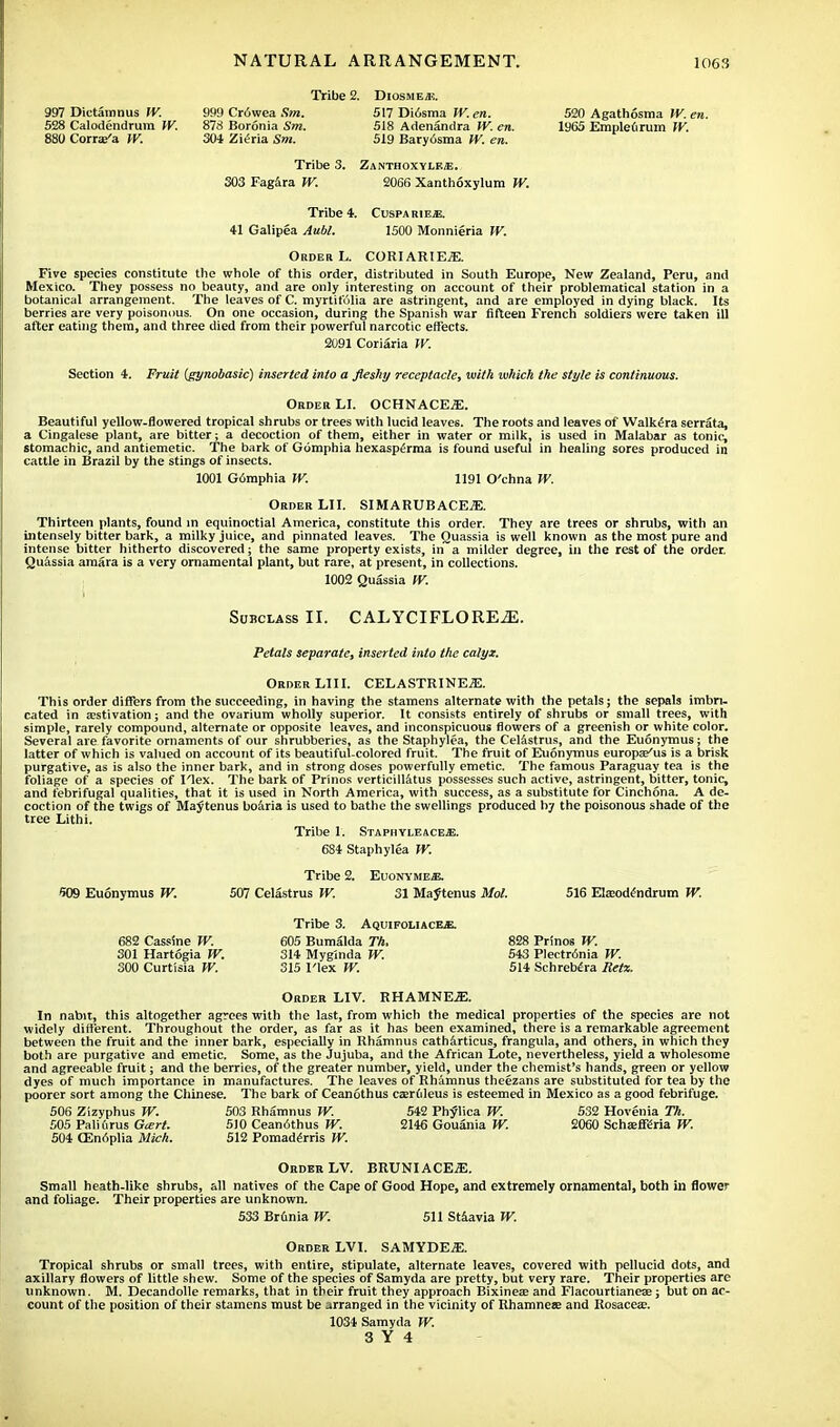 Tribe 2. Digsme/e. 999 Cr6wea Sm. 517 Diosma TV. en. 520 Agathosma TV. en. 878 Boronia Sm. 518 Adenandra W. en. 1965 Empleurum TV. 304 Zieria Sm. 519 Bary6sma W. en. Tribe 3. Zanthoxyle*. 303 Fagara TV. 2066 Xanthoxylum TV. Tribe 4. CuspariejE. 41 Galipea Aubl. 1500 Monnieria TV. Order L. CORIAR1E.3E. Five species constitute the whole of this order, distributed in South Europe, New Zealand, Peru, and Mexico. They possess no beauty, and are only interesting on account of their problematical station in a botanical arrangement. The leaves of C. myrtifolia are astringent, and are employed in dying black. Its berries are very poisonous. On one occasion, during the Spanish war fifteen French soldiers were taken ill alter eating them, and three died from their powerful narcotic effects. 2091 Coriaria TV. Section 4. Fruit (gynobasic) inserted into a fleshy receptacle, with which the style is continuous. Order LI. OCHNACEjE. Beautiful yellow-flowered tropical shrubs or trees with lucid leaves. The roots and leaves of Walkera serrata, a Cingalese plant, are bitter; a decoction of them, either in water or milk, is used in Malabar as tonic, stomachic, and antiemetic. The bark of Gomphia hexasperma is found useful in healing sores produced in cattle in Brazil by the stings of insects. 1001 G6mphia TV. 1191 O'chna TV. Order LI I. SIMARUBACEiE. Thirteen plants, found in equinoctial America, constitute this order. They are trees or shrubs, with an intensely bitter bark, a milky juice, and pinnated leaves. The Quassia is well known as the most pure and intense bitter hitherto discovered; the same property exists, in a milder degree, in the rest of the order. Quassia amara is a very ornamental plant, but rare, at present, in collections. 1002 Quassia TV. Subclass II. CALYCIFLOREiE. Petals separate, inserted into the calyx. Order LIII. CELASTRINEiE. This order differs from the succeeding, in having the stamens alternate with the petals; the sepals imbri- cated in activation; and the ovarium wholly superior. It consists entirely of shrubs or small trees, with simple, rarely compound, alternate or opposite leaves, and inconspicuous flowers of a greenish or white color. Several are favorite ornaments of our shrubberies, as the Staphylea, the Celastrus, and the Euonymus; the latter of which is valued on account of its beautiful-colored fruit. The fruit of Euonymus europa/us is a brisk purgative, as is also the inner bark, and in strong doses powerfully emetic. The famous Paraguay tea is the foliage of a species of I'lex. The bark of Prinos verticillatus possesses such active, astringent, bitter, tonic, and febrifugal qualities, that it is used in North America, with success, as a substitute for Cinchona. A de- coction of the twigs of Maytenus boaria is used to bathe the swellings produced hj the poisonous shade of the tree Lithi. Tribe 1. Staphyleacejj. 684 Staphylea TV. Tribe 2. Euonymee. 509 Euonymus TV. 507 Celastrus TV. 31 Maytenus Mol. 516 Eteodendrum TV. Tribe 3. Aquifoliacee. 682 Cassine TV. 605 Bumalda Th. 828 Prinos TV. 301 Hartogia TV. 314 Myginda TV. 543 Plectr6nia TV. 300 Curtisia TV. 315 I'lex TV. 514 Schrebera Eetx. Order LIV. RHAMNEJ3. In nabit, this altogether agrees with the last, from which the medical properties of the species are not widely different. Throughout the order, as far as it has been examined, there is a remarkable agreement between the fruit and the inner bark, especially in Rhamnus catharticus, frangula, and others, in which they both are purgative and emetic. Some, as the Jujuba, and the African Lote, nevertheless, yield a wholesome and agreeable fruit; and the berries, of the greater number, yield, under the chemist's hands, green or yellow dyes of much importance in manufactures. The leaves of Rhamnus theezans are substituted for tea by the poorer sort among the Chinese. The bark of Ceanothus czerfileus is esteemed in Mexico as a good febrifuge. 506 Zizyphus W. 503 Rhamnus TV. 542 PhyTica TV. 532 Hovenia Th. 505 Paliftrus Gcert. 510 Ceanothus TV. 2146 Gouania IV. 2060 SchffifKria TV. 504 CSnAplia Mich. 512 Pomadems TV. Order LV. BRUNI ACEiE. Small heath-like shrubs, all natives of the Cape of Good Hope, and extremely ornamental, both in flower and foliage. Their properties are unknown. 533 Brunia TV. 511 Staavia TV. Order LVI. SAMYDEjE. Tropical shrubs or small trees, with entire, stipulate, alternate leaves, covered with pellucid dots, and axillary flowers of little shew. Some of the species of Samyda are pretty, but very rare. Their properties are unknown. M. Decandolle remarks, that in their fruit they approach Bixinese and Flacourtianeae; but on ac- count of the position of their stamens must be arranged in the vicinity of Rhamnea; and Rosacea;. 1034 Samyda TV. 3 Y 4 997 Dictamnus TV. 528 Calodendrum TV. 880 Corra;'a TV.