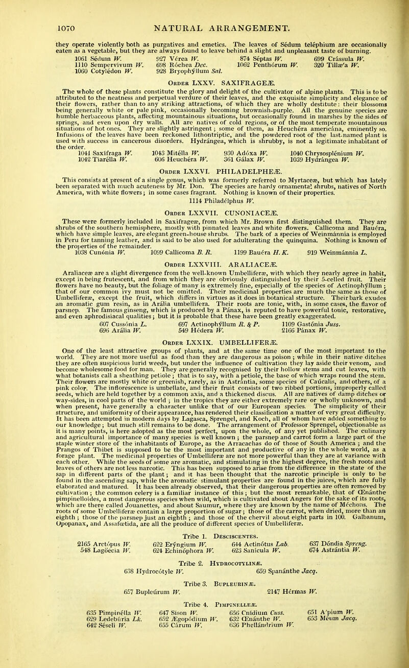 they operate violently both as purgatives and emetics. The leaves of Sedum telephium are occasionally eaten as a vegetable, but they are always found to leave behind a slight and unpleasant taste of burning. 1061 Sedum W. 927 Verea W. 871 Septas W. 699 Crassula W. 1110 Sempervivum W. 698 Rochea Dec. 1062 Penthorum W. 320 Tilla^a W. 1060 Cotyledon W. 928 Bryophyllum Sal. Order LXXV. SAXIFRAGES The whole of these plants constitute the glory and delight of the cultivator of alpine plants. This is to be attributed to the neatness and perpetual verdure of their leaves, and the exquisite simplicity and elegance of their flowers, rather than to any striking attractions, of which they are wholly destitute: their blossoms being generally white or pale pink, occasionally becoming brownish-purple. All the genuine species are humble herbaceous plants, affecting mountainous situations, but occasionally found in marshes by the sides of springs, and even upon dry walls. All are natives of cold regions, or of the most temperate mountainous situations of hot ones. They are slightly astringent; some of them, as Heuchera americana, eminently so. Infusions of the leaves have been reckoned lithontriptic, and the powdered root of the last-named plant is used with success in cancerous disorders. Hydrangea, which is shrubby, is not a legitimate inhabitant of the order. 1041 Saxifraga W. 1043 Mitella W. 930 Adoxa W. 1040 Chrysosplenium W. 1042 Tiarella W. 606 Heuchera W. 361 Galax W. 1039 Hydrangea W. Order LXXVI. PHILADELPHEiE. This consists at present of a single genus, which was formerly referred to Myrtaceae, but which has lately been separated with much acuteness by Mr. Don. The species are hardy ornamental shrubs, natives of North America, with white flowers; in some cases fragrant. Nothing is known of their properties. 1114 Philadelphus W. Order LXXVII. CUNONIACEiE. These were formerly included in Saxifrages, from which Mr. Brown first distinguished them. They are shrubs of the southern hemisphere, mostly with pinnated leaves and white flowers. Callicoma and Bauera, which have simple leaves, are elegant green-house shrubs. The bark of a species of Weinmannia is employed in Peru for tanning leather, and is said to be also used for adulterating the quinquina. Nothing is known of the properties of the remainder. 1038 Cunonia W. 1099 Callicoma B. R. 1199 Bauera H. K. 919 Weinmannia i. Order LXXVIII. ARALIACEA Araliacea- are a slight divergence from the well-known Umbellifera;, with which they nearly agree in habit, except in being frutescent, and from which they are obviously distinguished by their S-celled fruit. Their flowers have no beauty, but the foliage of many is extremely fine, especially of the species of Actinophyllum ; that of our common ivy must not be omitted. Their medicinal properties are much the same as those of Umbellifera;, except the fruit, which differs in virtues as it does in botanical structure. Their bark exudes an aromatic gum resin, as in Aralia umbellifera. Their roots are tonic, with, in some cases, the flavor of parsnep. The famous ginseng, which is produced by a Panax, is reputed to have powerful tonic, restorative, and even aphrodisiacal qualities; but it is probable that these have been greatly exaggerated. 607 Cussonia L. 697 Actinophyllum R. % P. 1109 Gastonia Juss. 696 Aralia W. 549 H<5dera W. 2166 Panax W. Order LXXIX. UMBELLIFERA. One of the least attractive groups of plants, and at the same time one of the most important to the world. They are not more useful as food than they are dangerous as poison ; while in their native ditches they are often suspicious lurid weeds, but under the influence of cultivation they lay aside their venom, and become wholesome food for man. They are generally recognised by their hollow stems and cut leaves, with what botanists call a sheathing petiole ; that is to say, with a petiole, the base of which wraps round the stem. Their flowers are mostly white or greenish, rarely, as in Astrantia, some species of Caucalis, and others, of a pink color. The inflorescence is umbellate, and their fruit consists of two ribbed portions, improperly called seeds, which are held together by a common axis, and a thickened discus. All are natives of damp ditches or way-sides, in cool parts of the world ; in the tropics they are either extremely rare or wholly unknown, and when present, have generally a character unlike that of our European species. The simplicity of their structure, and uniformity of their appearance, has rendered their classification a matter of very great difficulty. It has been attempted in modern days by Lagasca, Sprengel, and Koch, all of whom have added something to our knowledge ; but much still remains to be done. The arrangement of Professor Sprengel, objectionable as it is many points, is here adopted as the most perfect, upon the whole, of any yet published. The culinary and agricultural importance of many species is well known ; the parsnep and carrot form a large part of the staple winter store of the inhabitants of Europe, as the Arracachas do of those of South America ; and the Prangos of Thibet is supposed to be the most important and productive of any in the whole world, as a forage plant. The medicinal properties of Umbellifera; are not more powerful than they are at variance with each other. While the seeds of some are aromatic, and stimulating in the highest degree, the fresh roots and leaves of others are not less narcotic. This has been supposed to arise from the difference in the state of the sap in different parts of the plant; and it has been thought that the narcotic principle is only to be found in the ascending sap, while the aromatic stimulant properties are found in the juices, which are fully elaborated and matured. It has been already observed, that their dangerous properties are often removed by cultivation ; the common celery is a familiar instance of this; but the most remarkable, that of CGnanthe pimpinelloides, a most dangerous species when wild, which is cultivated about Angers for the sake of its roots, which are there called Jouanettes, and about Saumur, where they are known by the name of Mechons. The roots of some Umbellifera contain a large proportion of sugar; those of the carrot, when dried, more than an eighth ; those of the parsnep just an eighth ; and those of the chervil about eight parts in 100. Galbanum, (Jpopanax, and Assafcetida, are all the produce of different species of Umbellifera;. Tribe 1. Desciscentes. 2165 Arctopus W. 622 Eryngium W. 6+4 Actinotus Lab. 637 Dondia Sprang. 548 Lagoecia W. 624 Echinophora W. 623 Sanicula W. 674 Astrantia W. Tribe 2. Hydrocotylire. 658 Hydrocutyle W. 659 Spananthe Jacq. Tribe 3. Bupleurinje. 657 Bupleurum W. 2147 Hermas W. Tribe 4. Pimpinelleje. 635 Pimpinella W. 647 Sison W. 656 Cnidium Cuss. 651 A'pium W. 629 LedebCiria Lk. 652 jEgopmlium W. 632 CEnanthe W. 653 Meum Jacq. 642 Seseli W. 655 Carum W. 636 Phellanrlrium W.