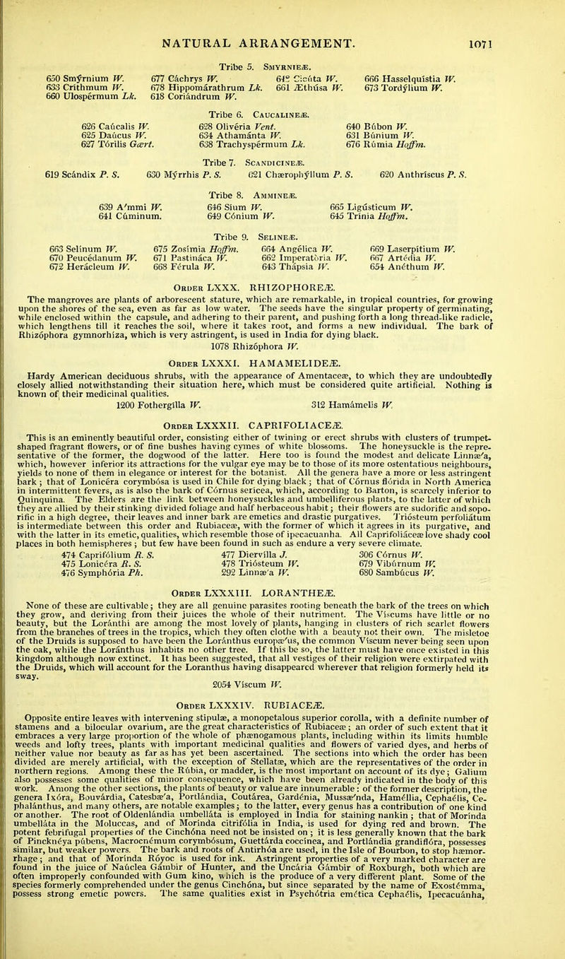 Tribe 5. Smyrnies. 650 Smyrnium W. 677 Cachrys W. 64S Cicuta W. 666 Hasselqu'istia W. 633 Crithmum IV. 678 Hippomarathrum Lk. 661 jEthusa W. 673 Tordylium W. 660 Ulospermum Lk. 618 Coriandrum W. Tribe 6. Caucalineje. 626 Caucalis W. 628 Oliveria Vent. 640 Bubon W. 625 Daucus W. 634 Athamanta W. 631 Bunium W. 627 T6rilis G&rt. 638 Trachyspermum 676 Rumia Hoffm. Tribe 7. Scandicineje. 619 Scandix P. S. 630 Myrrhis P. S. 021 Chseroph?Hum P. S. 620 Anthriscus P. S. Tribe 8. Ammim: k. 639 A'mmi W. 646 Slum W. 665 Ligdsticum W. 641 Cuminum. 649 C6nium W. 645 Trinia Hoffm. Tribe 9. Seline/E. 663 Selinurn W. 675 Zosiraia Hoffm. 664 Angelica 7F. 669 Laserpitium W. 670 Peucedanum W. 671 Pastinaca W. 662 Imperaturia W. 667 ArtMia W. 672 Heracleum If'. 668 Ferula W. 643 Thapsia W. 654 Anlthum W. Order LXXX. RHIZOPHOREJK. The mangroves are plants of arborescent stature, which are remarkable, in tropical countries, for growing upon the shores of the sea, even as far as low water. The seeds have the singular property of germinating, while enclosed within the capsule, and adhering to their parent, and pushing forth a long thread-like radicle, which lengthens till it reaches the soil, where it takes root, and forms a new individual. The bark of Rhizophora gymnorhiza, which is very astringent, is used in India for dying black. 1078 Rhizophora W. Order LXXXI. HAMAMELIDEiE. Hardy American deciduous shrubs, with the appearance of Amentacea?, to which they are undoubtedly closely allied notwithstanding their situation here, which must be considered quite artificial. Nothing is known of, their medicinal qualities. 1200 FothergSlla W. 312 Hamamelis W. Order LXXXII. CAPRI FOLIACEiE. This is an eminently beautiful order, consisting either of twining or erect shrubs with clusters of trumpet- shaped fragrant flowers, or of fine bushes having cymes of white blossoms. The honeysuckle is the repre- sentative of the former, the dogwood of the latter. Here too is found the modest and delicate Linnai'a, which, however inferior its attractions for the vulgar eye may be to those of its more ostentatious neighbours, yields to none of them in elegance or interest for the botanist. All the genera have a more or less astringent bark ; that of Lonicera corymbosa is used in Chile for dying black ; that of Cornus florida in North America in intermittent fevers, as is also the bark of Cornus sericea, which, according to Barton, is scarcely inferior to Quinquina. The Elders are the link between honeysuckles and umbelliferous plants, to the latter of which they are allied by their stinking divided foliage and half herbaceous habit; their flowers are sudorific and sopo- rific in a high degree, their leaves and inner bark are emetics and drastic purgatives. 'J'riosteum perfoliatum is intermediate between this order and Rubiacea?, with the former of which it agrees in its purgative, and with the latter in its emetic, qualities, which resemble those of ipecacuanha. All Capri foliacea? love shady cool places in both hemispheres ; but few have been found in such as endure a very severe climate. 474 Caprifolium R. S. 477 Diervilla J. 306 C6rnus W. 475 Lonicera R. S. 478 Tri6steum W. 679 Viburnum W. 476 Symph6ria Ph. 292 Linnae'a W. 680 Sambficus W. Order LXXXIII. LORANTHEjE. None of these are cultivable; they are all genuine parasites rooting beneath the bark of the trees on which they grow, and deriving from their juices the whole of their nutriment. The Viscums have little or no beauty, but the Lorinthi are among the most lovely of plants, hanging in clusters of rich scarlet flowers from the branches of trees in the tropics, which they often clothe with a beauty not their own. The misletoe of the Druids is supposed to have been the Loranthus europEc'us, the common Viscum never being seen upon the oak, while the Loranthus inhabits no other tree. If this be so, the latter must have once existed in this kingdom although now extinct. It has been suggested, that all vestiges of their religion were extirpated with the Druids, which will account for the Loranthus having disappeared wherever that religion formerly held its sway. 2054 Viscum W. Order LXXXIV. RUBIACEiE. Opposite entire leaves with intervening stipulae, a monopetalous superior corolla, with a definite number of stamens and a bilocular ovarium, are the great characteristics of Rubiacea;; an order of such extent that it embraces a very large proportion of the whole of phamogamous plants, including within its limits humble weeds and lofty trees, plants with important medicinal qualities and flowers of varied dyes, and herbs of neither value nor beauty as far as has yet been ascertained. The sections into which the order has been divided are merely artificial, with the exception of Stellatse, which are the representatives of the order in northern regions. Among these the Rubia, or madder, is the most important on account of its dye; Galium also possesses some qualities of minor consequence, which have been already indicated in the body of this work. Among the other sections, the plants of beauty or value are innumerable: of the former description, the genera Ix6ra, Bouvardia, Catesbae'a, Portlandia, Coutarea, Gardenia, Mussse'nda, Hamellia, Ccphae'lis, Ce- phalanthus, and many others, are notable examples; to the latter, every genus has a contribution of one kind or another. The root of Oldenlandia umbellata is employed in India for staining nankin ; that of Morinda umbellata in the Moluccas, and of Morinda citrifolia in India, is used for dying red and brown. The potent febrifugal properties of the Cinch6na need not be insisted on ; it is less generally known that the bark of Pinckn<5ya pubens, Macrocnemum corymb6sum, Guettarda coccinea, and Portlandia grandifMra, possesses similar, but weaker powers. The bark and roots of Antirh6a are used, in the Isle of Bourbon, to stop haemor- rhage ; and that of Morinda Royoc is used for ink. Astringent properties of a very marked character are found in the juice of Nauclea Gambir of Hunter, and the Unc&ria Gambir of Roxburgh, both which are often improperly confounded with Gum kino, which is the produce of a very different plant. Some of the species formerly comprehended under the genus Cinchona, but since separated by the name of Exostemma, possess strong emetic powers. The same qualities exist in Psychotria cmcftica Cepha^lis, Ipecacuanha,