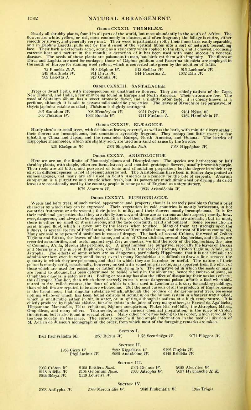 Order CXXXII. THYMELJEJE. Nearly all shrubby plants, found in all parts of the world, but most abundantly in the south of Africa. The flowers are white, yellow, or red, most commonly in clusters, and often fragrant j the foliage is entire, either smooth or silvery, and generally very neat. Their wood is particularly soft; their inner bark easily separable, and in Daphne Lagetta, pulls out by the division of the vertical fibres into a sort of network resembling lace Their bark is extremely acrid, acting as a vesicatory when applied to the skin, and if chewed, producing extreme heat and torture in the mouth; a decoction of it has been used with some success in venereal diseases. The seeds of these plants are poisonous to man, but birds eat them with impunity. The fibres of Dirca and Lagetta are used for cordage ; those of Daphne gnidium and Passerina tinctoria are employed in the south of Europe for staining wool yellow, which is converted into green by the addition of lsitis. 73 Pimelea B. P. 910 Daphne W. 913 Stellera W. 915 Lachnse'a W. 249 Struthiola W. 911 Dirca W. 914 Passerina L. 1032 Dais W. 909 Lagetta J. 912 Gnidia W. Order CXXXIII. SANTALACEjE. Trees or dwarf herbs, with inconspicuous or unattractive flowers. They are chiefly natives of the Cape, New Holland, and India, a few only being found in Europe and North America. Their virtues are few. The wood of Santalum album has a sweet aromatic flavor, and a slightly bitter taste : it is chiefly known as a perfume, although it is said to possess mild sudorific properties. The leaves of Myoschilos are purgative, of Osyris japdnica eatable as salad; Thesium is slightly astringent. 307 Santalum W. 908 Memecylon IV. 2051 Osyns W. 2161 Nyssa W. 569 Thesium W. 1033 Bucida W. 2141 Fusanus L. 2162 Hamiltonia W. Order CXXXIV. EL^EAGNE^. Hardy shrubs or small trees, with deciduous leaves, covered, as well as the bark, with minute silvery scales : their flowers are inconspicuous, but sometimes agreeably fragrant. They occupy but little space; a few inhabiting China and Japan, and the remainder Europe, North America, and Guiana. The berries of Hippophae rhamnoides, which are slightly acid, are used as a kind of sauce by the Swedes. 259 Eteagnus W. 2057 Shepherdia Nutt. 2058 Hippophae W. Order CXXXV. ARISTOLOCHI^E. Here we are on the limits of Monocotyledones and Dicotyledones. The species are herbaceous or half shrubby plants, with simple, often reniform, leaves; and mottled grotesque flowers, usually brownish purple. Their roots are all bitter, and possessed of tonic and stimulating properties; but the degree in which they exist in different species is not at present ascertained. The Aristolochias have been in former days praised as emmenagogues, and many are still used in South America as a remedy for the bite of serpents. A'sarum europas'um is a purgative and emetic when fresh, but its powers are much diminished by drying; its dried leaves are occasionally used by the country people in some parts of England as a sternutatory. 1072 A'sarum W. 1934 Aristolochia W. Order CXXXVI. EUPHORBI ACE.E. Weeds and lofty trees, of such varied appearance and property, that it is scarcely possible to frame a brief character by which they can be expressed. Their vegetation in cold countries is mostly herbaceous, in hot countries frutescent or arborescent; their juice is milky, and their flowers mostly inconspicuous. It is for their medicinal properties that they are chiefly known, and these are as various as their aspect; mostly, how- ever, dangerous, and always to be suspected. In a few of them, the smell and taste are aromatic j but in most, there is either no smell or it is nauseous, and the taste constantly acrid and pungent. Some possess also an acrid limpid fluid, which is given out by the leaves when touched. Many of them act strongly upon the kidneys, as several species of Phyllanthus, the leaves of Mercurialis annua, and the root of Ricinus communis. Many are said to be powerful medicines in cases of dropsy. The bark of several Cr6tons, the wood of Croton Tiglium and Buxus, the leaves of the same, and also of Cicca disticha, several Euphorbias, and others, are recorded as sudorifics, and useful against syphilis; as emetics, we find the roots of the Euphorbias, the juice of Commia, A'nda, Mercurialis perennis, &c. A great number are purgative, especially the leaves of Buxus and Mercurialis, the juice of Euphorbia, Commia, Hura, the seeds of Ricinus, Croton Tiglium, A'nda, and Jatropha. The effects of some others are so dangerous, particularly Hippomane, that it is not advisable to administer them even in very small doses ; even in many Euph6rbias it is difficult to draw a line between the quantity in which they are poisonous, and that in which they are harmless or useful. The nature of their poison is mostly acrid, occasionally, however, mixed with something narcotic, as is apparent from the effect of those which are used for poisoning or rather stupifying fish. The purgative oil in which the seeds of many are found to abound, has been determined to reside wholly in the albumen ; hence the embryo of some, as Omphalea diandra, is eaten as nuts. Boiling or roasting has also the effect of dissipating their noxious effects; thus Jatropha Manihot, than which there scarcely exists a more dangerous poison, affords a food when sub- mitted to fire, called cassava, the flour of which is often used in London as a luxury for making puddings, than which few are reputed to be more wholesome. But the most curious of all 1 he products of Euphorbiacea? is the Caoutchouc, that singular substance which, although the produce of dangerous acrid trees, possesses nothing whatever which has been found capable of acting upon the human system in whatever way applied, which is unalterable either in air, in water, or in spirits, although it softens at a high temperature. It is chiefly produced by Siph6nia clastica, but also exists in the juice of very many others, as Exca?caria Agall6cha, Hippomane Mancinella, Hura crepitans, Sapium aucuparium, Plukenetia volubilis, the Jatrophas, Mabea, Omphaleas, and many others. Tournesole, another curious chemical preparation, is the juice of Croton tinctorium, but is also found in several others. Many other properties belong to this order, which it would be too long to detail in this place. The curious reader will find ample information in the medical division of M. Adrian de Jussieu's monograph of the order, from which most of the foregoing remarks are taken. Section I. 1963 Pachysandra Mi. 1957 Buxus If. 1978 Securinega IK 2071 Fluggea W. Section II. 1958 Cicca IK 2092 Kiggelaria W. 2122 Cluytia W. Phyllanthus IV. 2025 Andrachne W. 2148 Bridelia IV. Section III. 2032 Croton IK 2105 Rottlera Roxb. 2034 Ricinus IV. 2028 Alcurites IK 2118 Adelia W. 2104 Gel6nium Roxb. 2033 Jatropha W. 2097 Hyamanehe H. K. 2044 B6rya W. 2119 Loureira IK 2038 Acalypha IV. Section IV. 2088 Mercurialis W. 2040 Plukeiretia W. 1944 Tragia