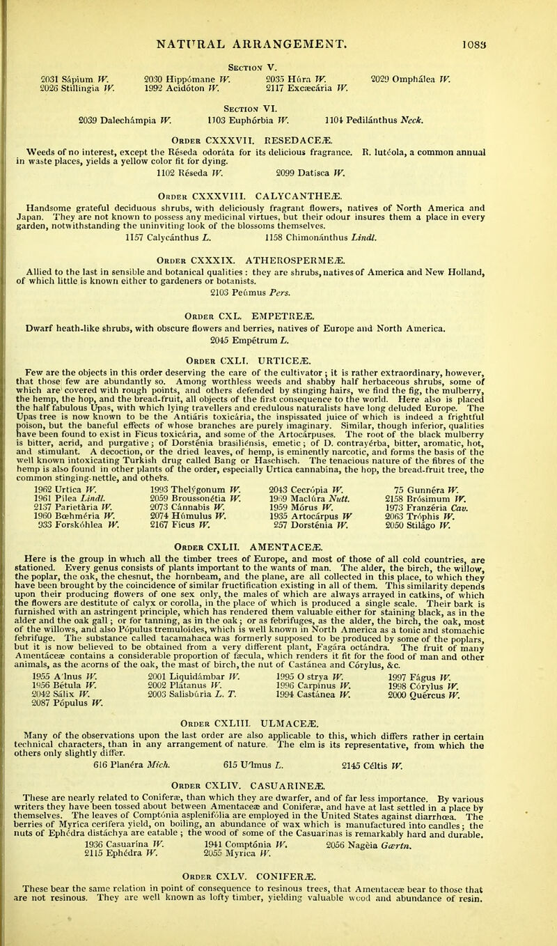 Section V. 2031 Sapium IV. 2030 Hippomane W. 2035 Hfira TV. 2029 Omph£lea JV. 2026 Stillingia W. 1992 Acidoton W. 2117 Exctecaria W. Section VI. 2039 Dalechampia W. 1103 Euphorbia W. 1101 Pedilanthus Neck. Order CXXXV1I. RESEDACEiE. Weeds of no interest, except the Reseda odorata for its delicious fragrance. R. luteola, a common annual in waste places, yields a yellow color fit for dying. 1102 Reseda W. 2099 Datisca W. Order CXXXVIII. CALYC ANTHEiE. Handsome grateful deciduous shrubs, with deliciously fragrant flowers, natives of North America and Japan. They are not known to possess any medicinal virtues, but their odour insures them a place in every garden, notwithstanding the uninviting look of the blossoms themselves. 1157 Calycanthus L. 1158 Chimonanthus Lindl. Order CXXXIX. ATHEROSPERME^E. Allied to the last in sensible and botanical qualities : they are shrubs, natives of America and New Holland, of which little is known either to gardeners or botanists. 2103 Peumus Pers. Order CXL. EMPETRE7E. Dwarf heath.like shrubs, with obscure flowers and berries, natives of Europe and North America. 2045 Empetrum L. Order CXLI. URTICE.E. Few are the objects in this order deserving the care of the cultivator ; it is rather extraordinary, however, that those few are abundantly so. Among worthless weeds and shabby half herbaceous shrubs, some of which are'covered with rough points, and others defended by stinging hairs, we find the fig, the mulberry, the hemp, the hop, and the bread-fruit, all objects of the first consequence to the world. Here also is placed the half fabulous Upas, with which lying travellers and credulous naturalists have long deluded Europe. The Upas tree is now known to be the Antiaris toxicaria, the inspissated juice of which is indeed a frightful poison, but the baneful effects of whose branches are purely imaginary. Similar, though inferior, qualities have been found to exist in Ficus toxicaria, and some of the Artocarpuses. The root of the black mulberry is bitter, acrid, and purgative; of Dorstenia brasiliensis, emetic; of D. contrayerba, bitter, aromatic, hot, and stimulant. A decoction, or the dried leaves, of hemp, is eminently narcotic, and forms the basis of the well known intoxicating Turkish drug called Bang or Haschisch. The tenacious nature of the fibres of the hemp is also found in other plants of the order, especially Urtica eannabina, the hop, the bread-fruit tree, tho common stinging-nettle, and others. 1962 Urtica TV. 1993 Thelfgonum TV. 2043 Cecropia W. 75 Gunnera TV. 1961 Pilea Lindl. 2059 Brousson<Hia TV. 19;,9 Madura Ntitt. 2158 Br6simum W. 2137 Parietaria W. 2073 Cannabis TV. 1959 Morus TV. 1973 Franzeria Cav. 1960 Bcehmeria TV. 2074 Humulus TV. 1935 Artocarpus TV 2063 Typhis TV. 933 Forsk6hlea TV. 2167 Ficus TV. 257 Dorstenia TV. 2050 Stilago TV. Order CXLII. AMENTACEJE. Here is the group in which all the timber trees of Europe, and most of those of all cold countries, are stationed. Every genus consists of plants important to the wants of man. The alder, the birch, the willow, the poplar, the oak, the chesnut, the hornbeam, and the plane, are all collected in this place, to which they have been brought by the coincidence of similar fructification existing in all of them. This similarity depends upon their producing flowers of one sex only, the males of which are always arrayed in catkins, of which the flowers are destitute of calyx or corolla, in the place of which is produced a single scale. Their bark is furnished with an astringent principle, which has rendered them valuable either for staining black, as in the alder and the oak gall; or for tanning, as in the oak; or as febrifuges, as the alder, the birch, the oak, most of the willows, and also Populus tremuloides, which is well known in North America as a tonic and stomachic febrifuge. The substance called tacamahaca was formerly supposed to be produced by some of the poplars, but it is now believed to be obtained from a very different plant, Fagara octandra. The fruit of many Amentaceae contains a considerable proportion of fa;cula, which renders it fit for the food of man and other animals, as the acorns of the oak, the mast of birch, the nut of Castanea and Corylus, &c. 1955 A'Inus TV. 2001 LiquidAmbar TV. 1995 O strya TV. 1997 Fagus W. 1956 Betula TV. 2002 Platanus W. 1996 Carpinus TV. 1998 C6rylus TV 2042 Salix W. 2003 Salisbiiria L. T. 1994 Castanea IV. 2000 Quercus W. 2087 Populus IV. Order CXLIII. ULMACEiE. Many of the observations upon the last order are also applicable to this, which differs rather in certain technical characters, than in any arrangement of nature. The elm is its representative, from which the others only slightly differ. 616 Planera Mich. 615 U'lmus L. 2145 Celtis W. Order CXLIV. CASUARINE*. These are nearly related to Coniferse, than which they are dwarfer, and of far less importance. By various writers they have been tossed about between Amentacea: and Conifera, and have at last settled in a place by themselves. The leaves of Comptonia asplenifulia are employed in the United States against diarrhoea. The berries of Myrica cerifera yield, on boiling, an abundance of wax which is manufactured into candles • the nuts of Ephedra distachya are eatable ; the wood of some of the Casuarinas is remarkably hard and durable. 1936 Casuarina W. 1941 Comptonia IV. 2056 Nageia Gcertn. 2115 Ephedra W. 2055 Myrica W. Order CXLV. CONIFERiE. These bear the same relation in point of consequence to resinous trees, that Amentacea? bear to those that are not resinous. They are well known as lofty timber, yielding valuable wood and abundance of resin.