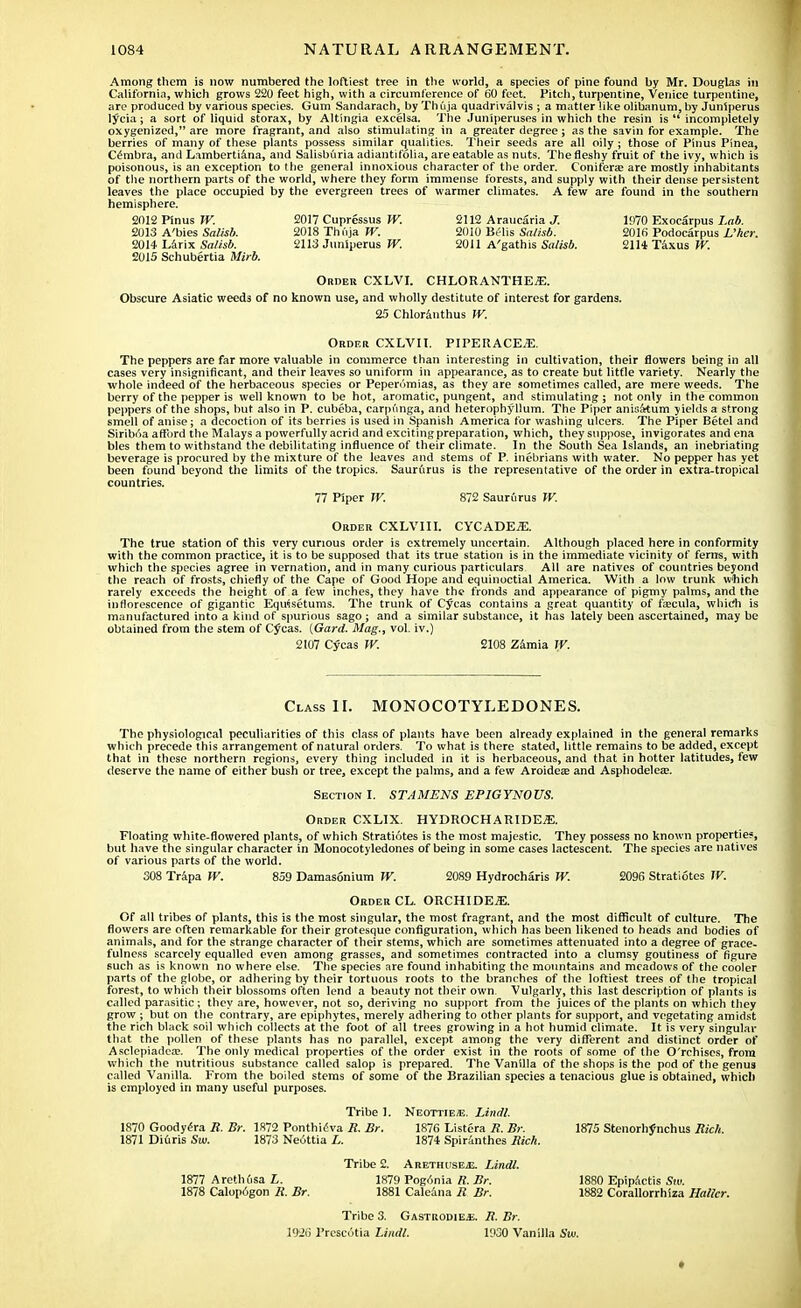 Among them is now numbered the loftiest tree in the world, a species of pine found by Mr. Douglas in California, which grows 220 feet high, with a circumference of 60 feet. Pitch, turpentine, Venice turpentine, are produced by various species. Gum Sandarach, by Thuja quadrivalvis ; a matter like olihanum, by Juniperus lycia ; a sort of liquid storax, by Altingia excelsa. The Juniperuses in which the resin is  incompletely oxygenized, are more fragrant, and also stimulating in a greater degree ; as the savin for example. The berries of many of these plants possess similar qualities. Their seeds are all oily ; those of Pinus Pinea, Cembra, and Lambertiana, and Salisburia adiantifolia, are eatable as nuts. The fleshy fruit of the ivy, which is poisonous, is an exception to the general innoxious character of the order. Conifers are mostly inhabitants of the northern parts of the world, where they form immense forests, and supply with their dense persistent leaves the place occupied by the evergreen trees of warmer climates. A few are found in the southern hemisphere. 2012 Pinus W. 2017 Cupressus W. 2112 Araucaria J. 1970 Exocarpus Lab. 2013 A'bies Salisb. 2018 Thuja W. 2010 Belis Salisb. 2016 Podocarpus L'hcr. 2014 Larix Salisb. 2113 Juniperus W. 2011 A'gathis Salisb. 21H Taxus W. 2015 Schubertia Mirb. Order CXLVI. CHLORANTHE/E. Obscure Asiatic weeds of no known use, and wholly destitute of interest for gardens. 25 Chloranthus W. Order CXLVII. PIPERACE.E. The peppers are far more valuable in commerce than interesting in cultivation, their flowers being in all cases very insignificant, and their leaves so uniform in appearance, as to create but little variety. Nearly the whole indeed of the herbaceous species or Peperumias, as they are sometimes called, are mere weeds. The berry of the pepper is well known to be hot, aromatic, pungent, and stimulating ; not only in the common peppers of the shops, but also in P. cubeba, carpunga, and heterophyllum. The Piper anisa^um yields a strong smell of anise; a decoction of its berries is used in Spanish America for washing ulcers. The Piper Betel and Siriboa afford the Malays a powerfully acrid and exciting preparation, which, they suppose, invigorates and ena bles them to withstand the debilitating influence of their climate. In the South Sea Islands, an inebriating beverage is procured by the mixture of the leaves and stems of P. inebrians with water. No pepper has yet been found beyond the limits of the tropics. Saururus is the representative of the order in extra-tropical countries. 77 Piper W. 872 Saururus W. Order CXLVIII. CYCADE^. The true station of this very curious order is extremely uncertain. Although placed here in conformity with the common practice, it is to be supposed that its true station is in the immediate vicinity of ferns, with which the species agree in vernation, and in many curious particulars. All are natives of countries beyond the reach of frosts, chiefly of the Cape of Good Hope and equinoctial America. With a low trunk which rarely exceeds the height of a few inches, they have the fronds and appearance of pigmy palms, and the inflorescence of gigantic Equisetums. The trunk of Cycas contains a great quantity of fajcula, which is manufactured into a kind of spurious sago; and a similar substance, it has lately been ascertained, may be obtained from the stem of Cycas. (Gard. Mag., vol. iv.) 2107 Cycas W. 2108 Zamia W. Class II. MONOCOTYLEDONES. The physiological peculiarities of this class of plants have been already explained in the general remarks which precede this arrangement of natural orders. To what is there stated, little remains to be added, except that in these northern regions, every thing included in it is herbaceous, and that in hotter latitudes, few deserve the name of either bush or tree, except the palms, and a few Aroidea; and Asphodeleaa. Section I. STAMENS EP1GYNOUS. Order CXLIX. HYDROCHARIDEjE. Floating white-flowered plants, of which Stratiotes is the most majestic. They possess no known properties, but have the singular character in Monocotyledones of being in some cases lactescent. The species are natives of various parts of the world. 308 Trapa W. 859 Damasonium W. 2089 Hydrocharis W. 2096 Stratiotes W. Order CL. ORCHIDE-3S. Of all tribes of plants, this is the most singular, the most fragrant, and the most difficult of culture. The flowers are often remarkable for their grotesque configuration, which has been likened to heads and bodies of animals, and for the strange character of their stems, which are sometimes attenuated into a degree of grace- fulness scarcely equalled even among grasses, and sometimes contracted into a clumsy goutiness of figure such as is known no where else. The species are found inhabiting the mountains and meadows of the cooler parts of the globe, or adhering by their tortuous roots to the branches of the loftiest trees of the tropical forest, to which their blossoms often lend a beauty not their own. Vulgarly, this last description of plants is called parasitic ; they are, however, not so, deriving no support from the juices of the plants on which they grow ; but on the contrary, are epiphytes, merely adhering to other plants for support, and vegetating amidst the rich black soil which collects at the foot of all trees growing in a hot humid climate. It is very singular that the pollen of these plants has no parallel, except among the very different and distinct order of Asclepiadea?. The only medical properties of the order exist in the roots of some of the O'rchises, from which the nutritious substance called Salop is prepared. The Vanilla of the shops is the pod of the genus called Vanilla. From the boiled stems of some of the Brazilian species a tenacious glue is obtained, which is employed in many useful purposes. Tribe 1. Neottie/E, Lindl. 1870 Goodyera R. Br. 1872 Ponthieva R. Br. 1876 Listera R. Br. 1875 Stenorhy'nchus Rich. 1871 Diuris Sw. 1873 Neottia L. 1874 Spiranthes Rich. Tribe 2. Arethusejs. Lindl. 1877 Arethfisa L. 1879 Pogdnia 11. Br. 1880 Epipactis Sw. 1878 Calop6gon R. Br. 1881 Calcana R Br. 1882 Corallorrhiza Hallcr. Tribe 3. Gastrodie£. R. Br. 1926 Presc6tia Lindl. 1930 Vanilla Sui.