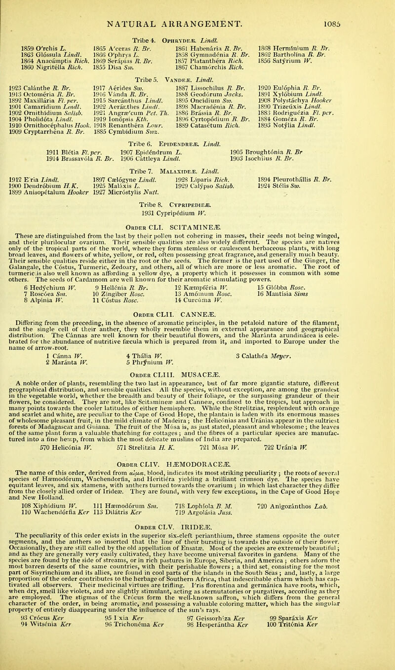 Tribe 4. 1859 O'rchis L. 1865 A'ceras R. Br. 1863 Glossula Until. 1866 O'phrys L. 1864 Anacamptis Rich. 1869 Serapias R. Br. 1860 Nigritella Rich. 1855 Disa Sw. Ophryde.e. Lindl. 1861 Habenaria R.Br. 1858 Gymnadenia R. Br. 1857 Platanthera Rich. 1867 Chamurchis Rich. Tribe 5. Yandex. Lindl. 1923 Calanthe R. Br. 1913 Octomeria R. Br. 1892 Maxillaria F/. /«?)■. 1901 Camaridium Lindl. 1902 Ornithidium Sn/wfi. 1904 Pholidota Lm<#. 1910 Ornithocephalus Hook. 1909 Cryptarrhena R. Br. 1917 Aerides Sw. 1916 Vanda R. Br. 1915 Sarcanthus Lindl. 1922 Aerar.thes iinrf/. 1921 Angra'cum Pet. Th. 1919 Ionopsis Kth. 1918 Renanthera Lour. 1885 Cymbidium Suras. 1887 Lissochilus R. Br. 1888 Geodorum Jacks. 1895 Oncidium Siu. 1898 Macradenia R. Br. 1886 Brassia /?. Br. 1896 Cyrtopodium if Z?). 1889 Catasetum Rich. 1868 Hermlnium R. Br. 1862 Bartholina 72. Br. 1856 Satyrium W. 1920 Eulophia R. Br. 1891 Xylobium Lindl. 1908 Polystachya Hooker 1890 Trizeuxis Ljn<#. 1883 Rodriguezia K. per. 1884 Gomeza /?. 7J>\ 1893 Notylia Lindl. Tribe 6. Epidendrex. Lindl. 1911 Bletia F/. per. 1907 Epidendrum i. 1914 Brassavola R. Br. 1906 Cattleya Lindl. 1905 Brought6nia /{. i?r 1903 Isochilus R. Br. 1894 Pleurothallis R. Br. 1924 Stelis Sw. Tribe 7. Malaxidex. £sn</;. 1912 E ria Lindl. 1897 Ca?16gyne Lindl. 192S Liparis TJicA. 1900 Dendrobium ILK. 1925 Malaxis L. 1929 Calypso Salisb. 1899 Anisopetalum Hooker 1927 Microstylis Nutt. Tribe 8. Cypripedieje. 1931 Cypripedium IV. Order CLI. SCITAMINEJE. These are distinguished from the last by their pollen not cohering in masses, their seeds not being winged, and their plurilocular ovarium. Their sensible qualities are also widely different. The species are natives only of the tropical parts of the world, where they form stemless or caulescent herbaceous plants, with long broad leaves, and flowers of white, yellow, or red, often possessing great fragrance, and generally much beauty. Their sensible qualities reside either in the root or the seeds. The former is the part used of the Ginger, the Galangale, the Costus, Turmeric, Zedoary, and others, all of which are more or less aromatic. The root of turmeric,is also well known as affording a yellow dye, a property which it possesses in common with some others. The seeds of Cardamom are well known for their aromatic stimulating powers. 6 Hedychium W. 9 Hellenia R Br. 12 Kasmpferia W. 15 Globba Rose. 7 Rosc6ea Sm. 10 Zingiber Rose. 13 Amomum Rose. 16 Mantisia Sims 8 Alpinia W. 11 Costus Rose. 14 Curcuma W. Order CLII. CANNEJE. Differing from the preceding, in the absence of aromatic principles, in the petaloid nature of the filament, and the single cell of their anther, they wholly resemble them in external appearance and geographical distribution. The Cannas are well known for their beautiful flowers, and the Maranta arundinacea is cele- brated for the abundance of nutritive fzecula which is prepared from it, and imported to Europe under the name of arrow-root. 4 Thalia W. 1 Canna W. 2 Maranta tV. 5 Phifnium W. 3 Calathea Meyer. Order CLIII. MUSACEjE. A noble order of plants, resembling the two last in appearance, but of far more gigantic stature, different geographical distribution, and sensible qualities. All the species, without exception, are among the grandest in the vegetable world, whether the breadth and beauty of their foliage, or the surpassing grandeur of their flowers, be considered. They are not, like Scitamineai and Cannea?, confined to the tropics, but approach in many points towards the cooler latitudes of either hemisphere. While the Strelitzias, resplendent with orange and scarlet and white, are peculiar to the Cape of Good Hope, the plantain is laden with its enormous masses of wholesome pleasant fruit, in the mild climate of Madeira ; the Heliconias and Uranias appear in the sultriest forests of Madagascar and Guiana. The fruit of the Musa is, as just stated, pleasant and wholesome ; the leaves of the same plant form a valuable thatching for cottages ; and the fibres of a particular species are manufac- tured into a fine hemp, from which the most delicate muslins of India are prepared. 570 Helic6nia IK 571 Strelitzia H. K. 721 Musa W. 722 Urania W. Order CLIV. H^MODORACE^:. The name of this order, derived from cc/^a, blood, indicates its most striking peculiarity ; the roots of several species of Hasmodorum, Wachendorfia, and Heriti^ra yielding a brilliant crimson dye. The species have equitant leaves, and six stamens, with anthers turned towards the ovarium ; in which last character they differ from the closely allied order of Iridea?. They are found, with very few exceptions, in the Cape of Good Hope and New Holland. 108 Xiphidium W. Ill Hasmodorum Sm. 718 Lophiola B. M. 720 Anigozinthos Lab. 110 Wachendorfia Ker 113 Dilatris Ker 719 Argolasia Juss. Order CLV. IRIDEjE. The peculiarity of this order exists in the superior six-cleft perianthium, three stamens opposite the outer segments, and the anthers so inserted that the line of their bursting is towards the outside of their flower. Occasionally, they are still called by the old appellation of Ensatee. Most of the species are extremely beautiful; and as they are generally very easily cultivated, they have become universal favorites in gardens. Many of the species are found by the side of streams, or in rich pastures in Europe, Siberia, and America ; others adorn the most barren deserts of the same countries, with their perishable flowers ; a third set. consisting for the most part of Sisyrinchium and its allies, are found in cool parts of the islands in the South Seas ; and, lastly, a large proportion of the order contributes to the herbage of Southern Africa, that indescribable charm which has cap- tivated all observers. Their medicinal virtues are trifling. I'ris florentina and germanica have roots, which, when dry, smell like violets, and are slightly stimulant, acting as sternutatories or purgatives, according as they are employed. The stigmas of the Crocus form the well-known saffron, which differs from the general character of the order, in being aromatic, ?nd possessing a valuable coloring matter, which has the singular property of entirely disappearing under the induence of the sun's rays. 93 Cr6cus Ker 95 I xia Ker 97 Geissorh!za Ker 99 Sparaxis Ker 94 Witsenia Ker 96 Trichoncma Ker 98 Hesperantha Ker 100 Trit6nia Ker