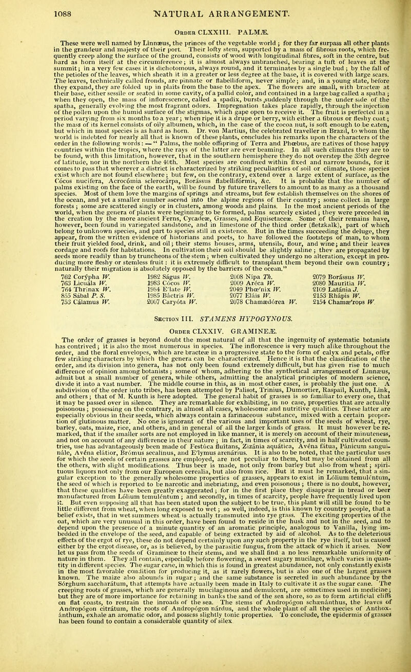 Order CLXXIII. PALM.35. These were well named by Linnaeus, the princes of the vegetable world j for they far surpass all other plants in the grandeur and majesty of tiieir port. Their lofty stem, supported by a mass of fibrous roots, which fre- quently creep along the surface of the ground, consists of wood with longitudinal fibres, soft in the centre, but hard as horn itself at the circumference; it is almost always unbranched, bearing a tuft of leaves at the summit; in a very few cases it is dichotomous, always round, and it terminates by a single bud ; by the fall of the petioles of the leaves, which sheath it in a greater or less degree at the base, it is covered with large scars. The leaves, technically called fronds, are pinnate or flabelliform, never simple; and, in a young state, before they expand, they are folded up in plaits from the base to the apex. The flowers are small, with bractea? at their base, either sessile or seated in some cavity, of a pallid color, and contained in a large bag called a spatha ; when they open, the mass of inflorescence, called a spadix, bursts .suddenly through the underside of the spatha, generally evolving the most fragrant odors. Impregnation takes place rapidly, through the injection of the pollen upon the humid surface of the stigmas, which gape open to receive it. The fruit is perfected in a period varying from six months to a year; when ripe it is a drupe or berry, with either a fibrous or fleshy coat; the mass of its kernel consists of oily albumen, which, in the case of the cocoa nut, is soft enough to be e.iten, but which in most species is as hard as horn. Dr. von Martius, the celebrated traveller in Brazil, to whom the world is indebted for nearly all that is known of these plants, concludes his remarks upon the characters of the order in the following words: —  Palms, the noble offspring of Terra and Phoebus, are natives of those happy countries within the tropics, where the rays of the latter are ever beaming. In all such climates they are to be found, with this limitation, however, that in the southern hemisphere they do not overstep the 35th degree of latitude, nor in the northern the 4:0th. Most species are confined within fixed and narrow bounds, for it comes to pass that wherever a district is characterized by striking peculiarities of soil or climate, those species exist which are not found elsewhere; but few, on the contrary, extend over a large extent of surface, as the Cocos nucifera, Acrocomia sclerocarpa, Borassus flabelliformis, &c. It is probable that the number of palms existing on the face of the earth, will be found by future travellers to amount to as many as a thousand species. Most of them love the margins of springs and streams, but few establish themselves on the shores of the ocean, and yet a smaller number ascend into the alpine regions of their country; some collect in large forests ; some are scattered singly or in clusters, among woods and plains. In the most ancient periods of the world, when the genera of plants were beginning to be formed, palms scarcely existed; they were preceded in the creation by the more ancient Ferns, Cycadeae, Grasses, and Equisetaceae. Some of their remains have, however, been found in variegated sandstone, and in limestone of the third order (fletzkalk), part of which belong to unknown species, and part to species still in existence. But in the times succeeding the deluge, they appear, from the written evidence of historians and poets, to have followed the footsteps of man, to whom their fruit yielded food, drink, and oil; their stems houses, arms, utensils, flour, and wine; and their leaves cordage and roofs for habitations. In cultivation their soil should be slightly saline ; thev are propagated by seeds more readily than by truncheons of the stem; when cultivated they undergo no alteration, except in pro- ducing more fleshy or stemless fruit: it is extremely difficult to transplant them beyond their own country; naturally their migration is absolutely opposed by the barriers of the ocean. 762 Corypha W. 1982 Sagus W. 2008 Nipa Th. 2079 Borassus W. 763 Licuala W. 1983 C6cos IV. 2009 Areca W. 2080 Mauritia JV. 764 Thrinax W. 19b4 E'late W. 2049 Phoe'nix W. 2109 Latania J. 855 Sabal P. S. 1985 Bactris W. 2077 Elais W. 2153 Rhapis W. 753 Calamus W. 2007 Caryota W. 2078 Chamasdorea W. 2154 Chamae'rops W Section III. STAMENS HYPOGYNOUS. Order CLXXIV. GRAMINE.E. The order of grasses is beyond doubt the most natural of all that the ingenuity of systematic botanists has contrived; it is also the most numerous in species. The inflorescence is very much alike throughout the order, and the floral envelopes, which are bractea? in a progressive state to the form of calyx and petals, offer few striking characters by which the genera can be characterized. Kence it is that the classification of the order, and its division into genera, has not only been found extremely difficult, but has given rise to much difference of opinion among botanists ; someof whom, adhering to the synthetical arrangement of Linna?us, admit but a small number of genera, while others, admitting the analytical principles of modern science, divide it into a vast number. The middle course in this, as in most other cases, is probably the just one. A subdivision of the order into tribes, has been attempted by Palisot, Trinius, Dumortier, Raspail, Kunth, Link, and others ; that of M. Kunth is here adopted. The general habit of grasses is so familiar to every one, that it may be passed over in silence. They are remarkable for exhibiting, in no case, properties that are actually poisonous ; possessing on the contrary, in almost all cases, wholesome and nutritive qualities. These latter are especially obvious in their seeds, which always contain a farinaceous substance, mixed with a certain propor- tion of glutinous matter. No one is ignorant of the various and important uses of the seeds of wheat, rye, barley, oats, maize, rice, and others, and in general of all the larger kinds of grass. It must however be re- marked, that if the smaller sorts are not employed in like manner, it is merely on account of their minuteness, and not on account of any difference in their nature ; in fact, in times of scarcity, and in half cultivated coun- tries, use has advantageously been made of Festuca fluitans, Zizania aquatica, Avena fatua, Panicum sangui- nale, Avena elatior, Bromus secalinus, and E'lymus arenarius. It is also to be noted, that the particular uses for which the seeds of certain grasses are employed, are not peculiar to them, but may be obtained from all the others, with slight modifications. Thus beer is made, not only from barley but also from wheat; spiri- tuous liquors not only from our European cerealia, but also from rice. But it must he remarked, that a sin- gular exception to the generally wholesome properties of grasses, appears to exist in L61ium temultntum, the seed of which is reported to be narcotic and inebriating, and even poisonous ; there is no doubt, however, that these qualities have been greatly exaggerated ; for in the first place they disappear in bread or beer manufactured from Lolium temulentum ; and secondly, in times of scarcity, people have frequently lived upon it. But even supposing all that has been stated upon the subject to be true, this plant will still be found to be little different from wheat, when long exposed to wet; so well, indeed, is this known by country people, that a belief exists, that in wet summers wheat is actually transmuted into rye grass. The exciting properties of the oat, which are very unusual in this order, have been found to reside in the husk and not in the seed, and to depend upon the presence of a minute quantity of an aromatic principle, analogous to Vanilla, lying im- bedded in the envelope of the seed, and capable of being extracted by aid of alcohol. As to the deleterious effects of the ergot of rye, these do not depend certainly upon any such property in the rye itself, but is caused either by the ergot disease, or, as is believed, by the parasitic fungus, from the attack of which it arises. Now let us pass from the seeds of Gramineaj to their stems, and we shall find a no less remarkable uniformity of nature in them. They all contain, especially before flowering, a sweet sugary mucilage, which varies in quan- tity in different species. The sugar cane, in which this is found in greatest abundance, not only constantly exists in the most favorable condition for producing it, as it rarely flowers, but is also one of the largest grasses known. The maize also abounds in sugar; and the same substance is secreted in such abundance by the S6rghum saccharatum, that attempts have actually been made in Italy to cultivate it as the sugar cane. The creeping roots of grasses, which are generally mucilaginous and demulcent, are sometimes used in medicine; but they are of more importance for retaining in banks the sand of the sea shore, so as to form artificial cliffs on flat coasts, to restrain the inroads of the sea. The stems of Andropogon schamanthus, the leaves of Andropogon citratum, the roots of Andropogon nardus, and the whole plant of all the species of Anthox- anthum, exhale an aromatic odor, and possess slightly tonic properties. To conclude, the epidermis of grasses has been found to contain a considerable quantity of silex