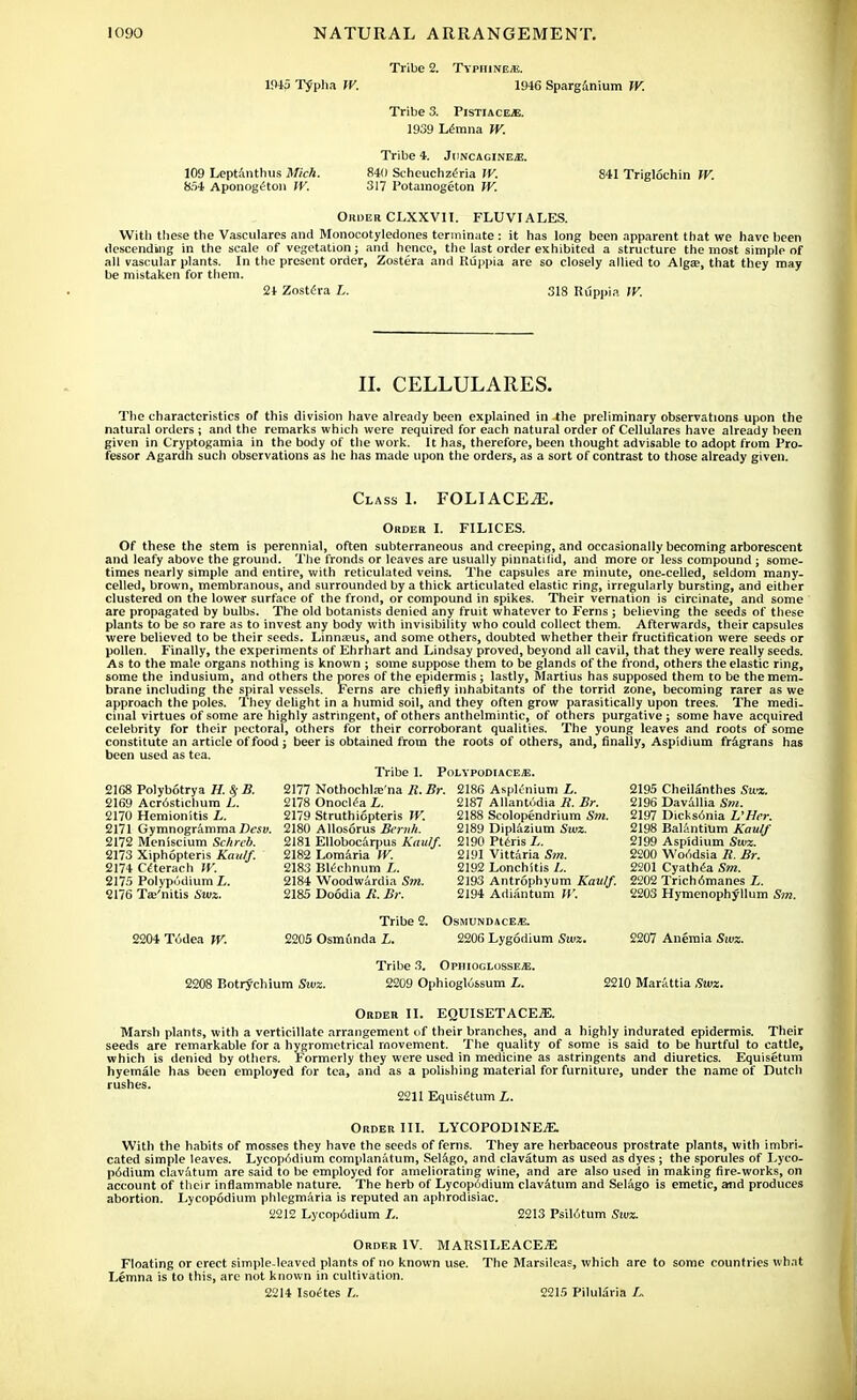 Tribe 2. Typhinea. 1945 Typha W. 1946 Sparganium W. Tribe 3. Pistiace.e. 1939 Lemna W. Tribe 4. Jiincaginejj. 109 Leptanthus Mich. 840 Scheuchzena W. 841 Triglochin W. 854 Aponog£ton fK 317 Potamogeton W. Ohder CLXXVII. FLUVI ALES. With these the Vasculares and Monocotyledones terminate: it has long been apparent that we have been descending in the scale of vegetation; and hence, the last order exhibited a structure the most simple of all vascular plants. In the present order, Zostera and Ruppia are so closely allied to Alga?, that they may be mistaken for them. 21 Zostera L. 318 Ruppia IV. II. CELLULARES. The characteristics of this division have already been explained in the preliminary observations upon the natural orders ; and the remarks which were required for each natural order of Cellulares have already been given in Cryptogamia in the body of the work. It has, therefore, been thought advisable to adopt from Pro- fessor Agardh such observations as he has made upon the orders, as a sort of contrast to those already given. Class 1. FOLI ACEiE. Order I. FILICES. Of these the stem is perennial, often subterraneous and creeping, and occasionally becoming arborescent and leafy above the ground. The fronds or leaves are usually pinnatilid, and more or less compound ; some- times nearly simple and entire, with reticulated veins. The capsules are minute, one-celled, seldom many- celled, brown, membranous, and surrounded by a thick articulated elastic ring, irregularly bursting, and either clustered on the lower surface of the frond, or compound in spikes. Their vernation is circinate, and some are propagated by bulbs. The old botanists denied any fruit whatever to Ferns ; believing the seeds of these plants to be so rare as to invest any body with invisibility who could collect them. Afterwards, their capsules were believed to be their seeds. Linna?us, and some others, doubted whether their fructification were seeds or pollen. Finally, the experiments of Ehrhart and Lindsay proved, beyond all cavil, that they were really seeds. As to the male organs nothing is known ; some suppose them to be glands of the frond, others the elastic ring, some the indusium, and others the pores of the epidermis; lastly, Martius has supposed them to be the mem- brane including the spiral vessels. Ferns are chiefly inhabitants of the torrid zone, becoming rarer as we approach the poles. They delight in a humid soil, and they often grow parasitically upon trees. The medi- cinal virtues of some are highly astringent, of others anthelmintic, of others purgative; some have acquired celebrity for their pectoral, others for their corroborant qualities. The young leaves and roots of some constitute an article of food; beer is obtained from the roots of others, and, finally, Aspidium fragrans has been used as tea. Tribe 1. Polypodiace*. 2168 Polybotrya H. $ B. 2169 Acrostichum L. 2170 Hemionitis L. 2171 Gymnogramma Desv. 2172 Meniscium Schreb. 2173 Xiphopteris Kaulf. 2174 Celerach IV. 2175 Polypodium L. 2176 Taj'nitis Swz. 2177 Nothochl.-e'na R. Br. 2178 Onoclea L. 2179 Struthiopteris W. 2180 Allosorus Bernh. 2181 Ellobocarpus Kaulf. 2182 Lomaria IV. 2183 Blechnum L. 2184 Woodwardia Sm. 2185 Doodia R. Br. 2186 Asplenium L. 2187 Allantodia R. Br. 2188 Scolopendrium Sm. 2189 Diplazium Swz. 2190 Pteris L. 2191 Vittaria Sm. 2192 Lonchltis L. 2193 Antrophyum Kaulf. 2194 Adiantum W. 2195 Cheilanthes Swz. 2196 Davallia Sm. 2197 Dicks6nia L'Her. 2198 Balantium Kaulf 2199 Aspidium Swz. 2200 Woodsia R. Br. 2201 Cyathea Sm. 2202 Trich6manes L. 2203 Hymenophyllum Sm. Tribe 2. Osmundaces. 2204 Tudea W. 2205 Osnu'mda L. 2206 Lygodium Swz. 2207 Anemia Swz. Tribe 3. Ophioglosse*. 2208 Botrychium Swz. 2209 Ophioglossum L. 2210 Marittia Swz. Order II. EQUISETACEiE. Marsh plants, with a verticillate arrangement of their branches, and a highly indurated epidermis. Their seeds are remarkable for a hygrometrical movement. The quality of some is said to be hurtful to cattle, which is denied by others. Formerly they were used in medicine as astringents and diuretics. Equisetum hyemale has been employed for tea, and as a polishing material for furniture, under the name of Dutch rushes. 2211 Equisetum L. Order III. LYCOPODINEjE. With the habits of mosses they have the seeds of ferns. They are herbaceous prostrate plants, with imbri- cated simple leaves. Lycopodium complanatum, Selago, and clavatum as used as dyes ; the sporules of Lyco- p6dium clavatum are said to be employed for ameliorating wine, and are also used in making fire-works, on account of their inflammable nature. The herb of Lycopodium clavatum and Selago is emetic, and produces abortion. Lycopodium phlegmaria is reputed an aphrodisiac. 2212 Lycop6dium L. 2213 Psilotum Swz. Order IV. MARSILEACEiE Floating or erect simple-leaved plants of no known use. The Marsileas, which are to some countries what Lemna is to this, are not known in cultivation. 2214 Isoetes L. 2215 Pilularia L.