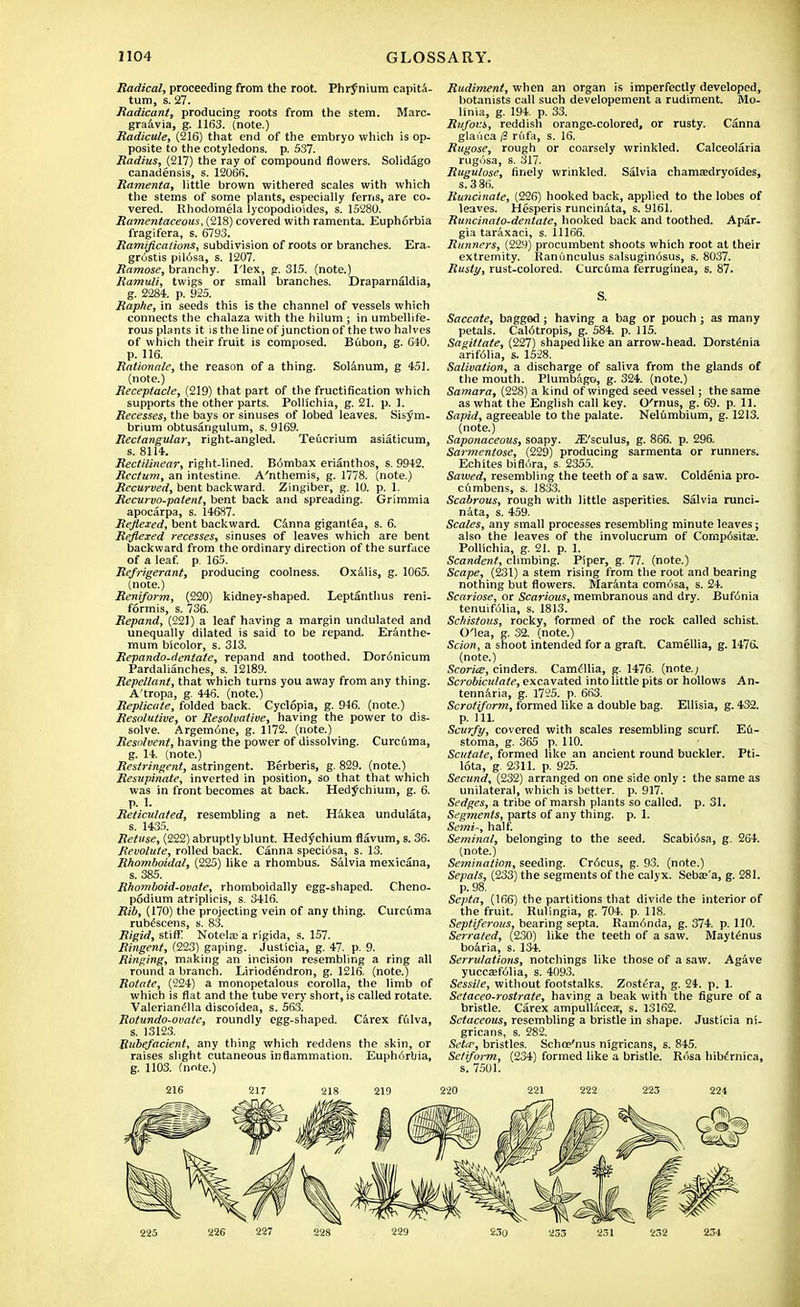 Radical, proceeding from the root. Phrjnium capita- turn, s. 27. Radicant, producing roots from the stem. Marc- graavia, g. 1163. (note.) Radicule, (216) that end of the embryo which is op- posite to the cotyledons, p. 537. Radius, (217) the ray of compound flowers. Solidago canadensis, s. 12066. Ramenta, little brown withered scales with which the stems of some plants, especially ferns, are co- vered. Rhodomela lycopodioides, s. 15280. Ramentaceous, (218) covered with ramenta. Euphorbia fragifera, s. 6793. Ramifications, subdivision of roots or branches. Era- grostis pil6sa, s. 1207. Ramose, branchy. I'lex, g. 315. (note.) Ramuli, twigs or small branches. Draparnaldia, g. 2284. p. 925. Raphe, in seeds this is the channel of vessels which connects the chalaza with the hilum ; in umbellife- rous plants it is the line of junction of the two halves of which their fruit is composed. Biibon, g. 640. p. 116. Rationale, the reason of a thing. Solanum, g 451. (note.) Receptacle, (219) that part of the fructification which supports the other parts. Pollichia, g. 21. p. 1. Recesses, the bays or sinuses of lobed leaves. Sisym- brium obtusangulum, s. 9169. Rectangular, right-angled. Teucrium asiaticum, s. 8114. Rectilinear, right-lined. Bombax erianthos, s. 9942. Rectum, an intestine. A'nthemis, g. 1778. (note.) Recurved, bent backward. Zingiber, g. 10. p. 1. Recurvo-patent, bent back and spreading. Grimmia apocarpa, s. 14687. Reflexed, bent backward. Canna gigantea, s. 6. Reflexed recesses, sinuses of leaves which are bent backward from the ordinary direction of the surface of a leaf. p. 165. Refrigerant, producing coolness. Oxalis, g. 1065. (note.) Reniform, (220) kidney-shaped. Leptanthus reni- formis, s. 736. Repand, (221) a leaf having a margin undulated and unequally dilated is said to be repand. Eranthe- mum bicolor, s. 313. Repando.dentate, repand and toothed. Dor6nicum Pardalianches, s. 12189. Repellant, that which turns you away from any thing. A'tropa, g. 446. (note.) Replicate, folded back. Cyclopia, g. 946. (note.) Resolutive, or Resolvative, having the power to dis- solve. Argemone, g. 1172. (note.) Resolvent, having the power of dissolving. Curcuma, g. 14. (note.) Restringent, astringent. Berberis, g. 829. (note.) Resupinate, inverted in position, so that that which was in front becomes at back. Hedychium, g. 6. p. 1. Reticulated, resembling a net. Hakea undulata, s. 1435. Retuse, (222) abruptly blunt. Hedychium flavum, s. 36. Revolute, rolled back. Canna speci6sa, s. 13. Rhomboidal, (225) like a rhombus. Salvia mexicana, s. 385. Rhomboid-ovate, rhomboidally egg-shaped. Cheno- podium atriplicis, s. 3416. Rib, (170) the projecting vein of any thing. Curcuma rubescens, s. 83. Rigid, stiffi Notelaj a rigida, s. 157. Ringent, (223) gaping. Justicia, g. 47. p. 9. Ringing, making an incision resembling a ring all round a branch. Liriodendron, g. 1216. (note.) Rotate, (224) a monopetalous corolla, the limb of which is flat and the tube very short, is called rotate. Valerianella discoidea, s. 563. Rotundo-ovate, roundly egg-shaped. Carex fdlva, s. 13123. Rubefacient, any thing which reddens the skin, or raises slight cutaneous inflammation. Euphorbia, g. 1103. (note.) 216 Rudiment, when an organ is imperfectly developed, botanists call such developement a rudiment. Mo- linia, g. 194. p. 33. Rufous, reddish orange-colored, or rusty. Canna gladca 13 rdfa, s. 16. Rugose, rough or coarsely wrinkled. Calceolaria rugosa, s. 317. Rugulose, finely wrinkled. Salvia chamaedryoldes, s.386. Runc'tnate, (226) hooked back, applied to the lobes of leaves. Hesperis runcinata, s. 9161. Runcinato-dentate, hooked back and toothed. Apar- gia taraxaci, s. 11166. Runners, (229) procumbent shoots which root at their extremity. Ranunculus salsugin6sus, s. 8037. Rusty, rust-colored. Curcfima ferruginea, s. 87. S. Saccate, baggod; having a bag or pouch ; as many petals. Cal6tropis, g. 584. p. 115. Sagittate, (227) shaped like an arrow-head. Dorstenia arifolia, s. 1528. Salivation, a discharge of saliva from the glands of the mouth. Plumbago, g. 324. (note.) Samara, (228) a kind of winged seed vessel; the same as what the English call key. O'rnus, g. 69. p. 11. Sapid, agreeable to the palate. Nelumbium, g. 1213. (note.) Saponaceous, soapy. jE'sculus, g. 866. p. 296. Sarmentose, (229) producing sarmenta or runners. Echites biflura, s. 2355. Sawed, resembling the teeth of a saw. Coldenia pro- cumbens, s. 1833. Scabrous, rough with little asperities. Salvia runci- nata, s. 459. Scales, any small processes resembling minute leaves; also the leaves of the involucrum of Comp6sit£e. Pollichia, g. 21. p. 1. Scandent, climbing. Piper, g. 77. (note.) Scape, (231) a stem rising from the root and bearing nothing but flowers. Maranta com6sa, s. 24. Scariose, or Scarious, membranous and dry. Bufonia tenuifulia, s. 1813. Schistous, rocky, formed of the rock called schist. O'lea, g. 32. (note.) Scion, a shoot intended for a graft. Camellia, g. 1476. (note.) Scoriae, cinders. Camellia, g. 1476. (note.; Scrobiculale, excavated into little pits or hollows An. tennaria, g. 1725. p. 663. Scrotiform, formed like a double bag. EUisia, g. 432. p. 111. Scurfy, covered with scales resembling scurf. Eti- stoma, g. 365 p. 110. Scutate, formed like an ancient round buckler. Pti- lota, g. 2311. p. 925. Secund, (232) arranged on one side only : the same as unilateral, which is better, p. 917. Sedges, a tribe of marsh plants so called, p. 31. Segments, parts of any thing, p. 1. Semi-, half. Seminal, belonging to the seed. ScabWsa, g. 264. (note.) Semination, seeding. Cr6cus, g. 93. (note.) Sepals, (233) the segments of the calyx. Sebse'a, g. 281. p. 98. Septa, (166) the partitions that divide the interior of the fruit. Rulingia, g. 704. p. 118. Septiferous, bearing septa. Ramonda, g. 374. p. 110. Serrated, (230) like the teeth of a saw. Maytenus boaria, s. 134. Serrulations, notchings like those of a saw. Agave yuccasfolia, s. 4093. Sessile, without footstalks. Zostfra, g. 24. p. 1. Setaceo-rostrate, having a beak with the figure of a bristle. Carex ampullacea, s. 13162. Setaceous, resembling a bristle in shape. Justicia ni- gricans, s. 282. Seta-, bristles. Schce'nus nigricans, s. 845. Setiform, (234) formed like a bristle. Rosa hibernica, s. 7501.