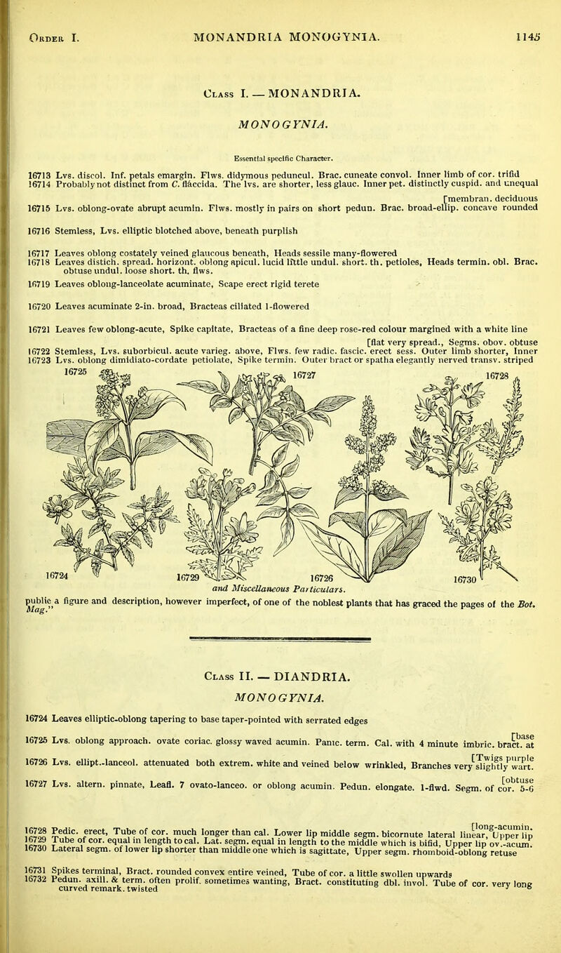 Class I. — MONANDRIA. MONOGYNIA. Essential specific Character. 16713 Lvs. discol. Inf. petals emargln. Flws. didymous peduncul. Brae, cuneate convol. Inner limb of cor. trifid 16714 Probably not distinct from C. flaccida. The lvs. are shorter, less glauc. Inner pet. distinctly cuspid, and unequal [membran. deciduous 16715 Lvs. oblong-ovate abrupt acumln. Flws. mostly in pairs on short pedun. Brae, broad-ellip. concave rounded 16716 Stemless, Lvs. elliptic blotched above, beneath purplish 16717 Leaves oblong costately veined glaucous beneath, Heads sessile many-flowered 16718 Leaves distich, spread, horizont. oblong apicul. lucid little undul. short, th. petioles. Heads termin. obi. Brae. obtuse undul. loose short, th. flws. 16719 Leaves oblong-lanceolate acuminate. Scape erect rigid terete 16720 Leaves acuminate 2-in. broad, Bracteas ciliated 1-flowered 16721 Leave6 few oblong-acute, Spike capitate, Bracteas of a fine deep rose-red colour margined with a white line [flat very spread., Segms. obov. obtuse 16722 Stemless, Lvs. suborbicul. acute varieg. above, Flws. few radic. fascic. erect sess. Outer limb shorter, Inner 16723 Lvs. oblong dimidiato-cordate petiolate, Spike termin. Outer bract or spatiia elegantly nerved transv. striped and Miscellaneous Particulars. public a figure and description, however imperfect, of one of the noblest plants that has graced the pages of the Sot. Class II. — DIANDRIA. MONOGYNIA. 16724 Leaves elliptic-oblong tapering to base taper-pointed with serrated edges 16725 Lvs. oblong approach, ovate coriac. glossy waved acumin. Panic, term. Cal. with 4 minute imbric. bractfat 16726 Lvs. ellipt.-lanceol. attenuated both extrem. white and veined below wrinkled, Branches very sTig!fuyPwart* 16727 Lvs. altera, pinnate, Leafl. 7 ovato-lanceo. or oblong acumin. Pedun. elongate. 1-flwd. Segm. of cor^'s-O !«oq ?e<liC' fereCt' Tub<r°f cor. much longer than cal. Lower lip middle segm. bicornute lateral linEa°r°8U^pe7lp {Eg Tu1be °f cor- in length to cal. Lat. segm. equal in length to the middle which is bifid, Upper lip ov.-acum. 16730 Lateral segm. of lower lip shorter than middle one which is sagittate, Upper segm. rhomboid-oblong retuse \%%\ Spikes terminal, Bract, rounded convex entire veined, Tube of cor. a little swollen upwards mil Pedun. axill. & term, often prolif. sometimes wanting, Bract, constituting dbl. invol. Tube of cor. verv lone curved remark, twisted 3 °