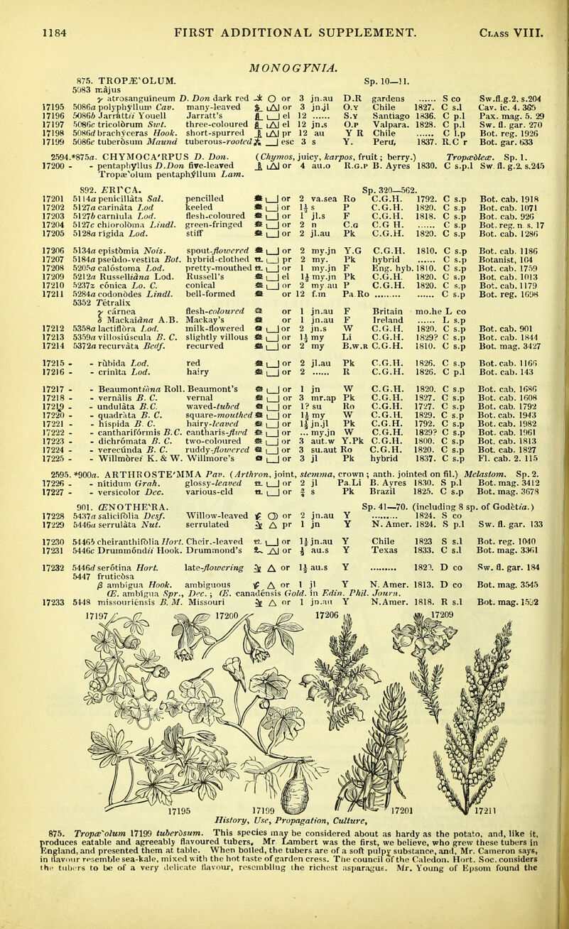 MONOGYNIA. 875. TROP^E'OLUM. Sp. 10—11. 5083 rr.ajus y atrosangulneum D. Don dark red -i O or 3 jn.au D.R gardens S co Sw.fl.g.2. s.204 17195 5086a polyphyllurri Cav. many-leaved %_ lAJ or 3 jnjl O.Y Chile 1827. C s.l Cav. ic. 4.305 17196 50866 Jarrattf! Youell Jarratt's fl_ i | el 12 S.Y Santiago 1836. C p.l Pax. mag. 5. 29 17197 5086c trieoldrum Stat. three-coloured fl_ lAJ el 12 jn.s O.p Valpara. 1828. C p.l Sw. fl. gar. 270 17198 5086a1 brachyceras Hook, short-spurred iA) pr 12 au YR Chile C I.p Bot. reg. 1926 17199 5086c tuberosum Mound tuberous-rooted & | esc 3 s Y. Peru, 1837. R.C r Bot. gar. 633 2594. *875a. CHYMOCA'RPUS D. Don. (Chymos, juicv, karpos, fruit; berry.) Tropwblea:. Sp. 1. 17200 - - pentapliyllus D.Don five-leaved \ iAI or 4 au.o R.G.I' B. Ayres 1830. C s.p.l Sw fl. g.2. s.245 Tropse\>lum pentaph.vllum Lam. 892. £RPCA. Sp. 320—562. 17201 5114a penicillata Sal. pencilled tt\ | or 2 va.sea Ro C.G.H. 1792. C s.p Bot. cab. 1918 17202 5127acarinata I.od keeled *| | or l\ s P C.G.H. 1820. C s.p Bot. cab. 1071 17203 51276carnlula Loif. flesh-coloured »| | or 1 jl.s F C.G.H. 1818. C s.p Bot. cab. 926 17204 5127c chiorolbma l.itidl. green-fringed * \ | or 2 n C.G C.G H C s.p Bot. reg. n s. 17 17205 5128a rigida Lod. stiff *| | or 2 jl.au Pk C.G.H. 1820. C s.p Bot. cab. 1286 1720G 5134a epistbmia Nois. spout-flowered «| ] or 2 my.jn Y.G C.G.H. 1810. C s.p Bot. cab. 1186 17207 5184a pseudo-vestlta Bot. hybrid-clothed tt.1 | pr 2 my. Pk hybrid C s.p Botanist, 104 17208 5205a calostoma Lod. pretty-mouthed ol | | or 1 my.jn F Eng. hyb. 1810. C s.p Bot. cab. 1759 17209 5212a Russellidna Lod. Russell's • i | el li my.jn Pk C.G.H. 1820. C s.p Bot. cab. 1013 17210 5237z conica Lo. C. conical 46 |_J or 2 my an P C.G.H. 1820. C s.p Bot. cab. 1179 17211 5284a codonodes Lindl. bell-formed <3 or 12 f.m Pa Ro C s.p Bot. reg. 1698 5352 Tetralix rcarnea flesh-coloured or 1 jn.au F Britain mo.he L co Mackaidrea A.B. Mackay's *i or 1 jn.au F Ireland L s.p 17212 5358alactiflbra Lod. milk-flowered a , |or 2 jn.s W C.G.H. 1820. C s.p Bot. cab. 901 17213 5359avillosiuscula B. C. slightly villous «t i | or l£my Li C.G.H. 1829? C s.p Bot. cab. 1844 17214 5372a recurvata Berlf. recurved ffi, lor 2 my B.w.R C.G.H. 1810. C s.p Bot. mag. 3427 17215- - rubida Lod. red a, | or 2 jl.au Pk C.G.H. 1826. C s.p Bot. cab. 1166 17216- - crinlta Lod. hairy ffi, | or 2 R C.G.H. 1826. C p.l Bot. cab. 143 17217- - BeaumontjVma Roll. Beaumont's «| | or 1 jn W C.G.H. 1820. C s.p Bot. cab. 1686 17218 - - vernalis B. C. vernal * i | or 3 mr.ap Pk C.G.H. 1827. C s.p Bot. cab. 1608 17219- - undulata B.C. v/aved-tubcd *| | or 1? su Ro C.G.H. 1727. C s.p Bot. cab. 1792 17220 - - quadrata B. C. square-mouthed Jtt i | or H my W C.G.H. 1829. C s.p Bot. cab. 1943 17221 - - hispida B. C. hairy-leaved *t \ | or 1 £ jn.jl Pk C.G.H. 1792. C s.p Bot. cab. 1982 17222 - - cantharif6rmis B.C. cantharis-J?»^ St, | or ... myjn W C.G.H. 1829? C s.p Bot. cab. 1961 17223 - - dichromata B. C. two-coloured » , | or 3 aut.w Y.Pk C.G.H. 1800. C s.p Bot. cab. 1813 17224 - - verecunda B. C. ruddy-flowered « i | or 3 su.aut Ro C.G.H. 1820. C s.p Bot. cab. 1827 17225 - - Willmbre* K. & W. Willmore's O |_j or 3 jl Pk hybrid 1837. C s.p Fl. cab. 2. 115 2595. *900a. ARTHROSTE'MMA Pan. (Arthron, joint, stemma, crown ; anth. jointed on fil.) Melaslom. Sp.2. 17226 - - nitidum Grah. glossy-leaved tt. l_J or 2 jl Pa.Li B. Ayres 1830. S p.l Bot. mag. 3412 17227 - - versicolor Dec. various-cld tt. | ) or f s Pk Brazil 1825. C s.p Bot. mag. 3678 901. CENOTHE'RA. Sp. 41—70. (including 8 sp. of Godet/a.) 17228 5437a salicifblia Desf. Willow-leaved £ Q) or 2 jn.au Y 1824. S co 17229 5446u serrulata Nut. serrulated | A P' 1 jn Y N. Amer. 1824. S p.l Sw. fl. gar. 133 17230 54466 cheiranthifolia llort. Cheir.-leaved «. i | or lfjn.au Y Chile 1823 S s.l Bot. reg. 1040 17231 5446c Drummontb'i Hook. Drummond's t~ _&J or $ au.s Y Texas 1833. C s.l Bot. mag. 3361 17232 5446rf serotina Hort. XaXe-flowering ^ A or 1^ au.s Y 182\ Deo Sw. fl. gar. 184 5447 fruticbsa ambigua Hook, ambiguous ^ A or 1 jl Y N. Amer. 1813. D co Bot. mag. 3545 (E. ambigua Spr., Dec.; (E. canadensis Gold, in Edin. Phil. Journ. 17233 5448 missouriensis B.M. Missouri ^ A »' 1 jn.au Y N.Amer. 1818. R s.l Bot. mag. 1502 17197 f^^y «m /m 17200^ ^7 17206 m, »„17209 17199 History, Use, Propagation, Culture, 875. Tropte'olum 17199 tuberbsum. This species may be considered about as hardy as the potato, and, like it, produces eatable and agreeably flavoured tubers, Mr Lambert was the first, we believe, who grew these tubers in England, and presented them at table. When boiled, the tubers are of a soft pulpy substance, and, Mr. Cameron say6, in flavour resemble sea-kale, mixed with the hot taste of garden cress. The council of the Caledon. Hort. Soc. considers the tubi rs to be of a very delicate flavour, resembling ihe richest asparagus. Mr. Young of Epsom found the