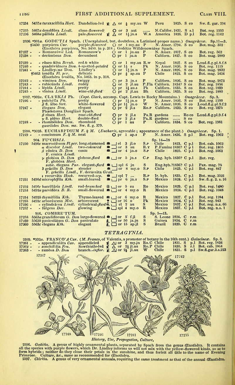 17234 5457a <araxacifblia Hort. Dandelion-lvd t A or } my.au W Peru 1825. S co Sw. fl. gar. 294 17235 5467a densiflbra Lindl. 17236 5468a pallida Lindl. close-flowered! O or p&\e-flowered )£ A or 3 aut li jn.s N.Califor. 1831. S s.l W.R America 1826. D p.l Bot. reg. 1593 Bot. reg. 1142 2596. *901a. GODF/T/^ Spach. (Unexplained, but, doubtless, a Latinised proper name.) Onagrdcece. Sp.ll—3. +5450 purpurea Cur. purple-Jloioered O or lmy.au P N. Amer. 1794. S co Bot. mag. 352 Oenothera purpurea, No. 5450. in p. 318.; Godetm Willdenowzdna Spach. 17237 17238 ■ Romanzbvii Led. decumbens Dou. Romanzow's decumbent O O pr 1 jn.au 1 ju.n 17239 - - rbseo-alha Bernh. red & white O 17240 - - quadrivulnera Dou. i-sputtcA-petaled O 17241 - . Lindley</K« Dou. Lindley's O f5463 tenella Fl. per. delicate O (Enothera tenella, No. 5463. in p. 318. 17242 - - viminea Don. twiggy O 17243 - - rubicunda Lindl. ruddy Q 17244 - - lepida Lindl. pretty O 17245 - - vinbsa Lindl. wiae-cld-flwd O or 1 my.au R.w or 1J s Pk or lijn.n P pr J ap.au P N. Amer. 1817. S co Californ. 1827. S co Nepal 1827. S co N. Amer. 1826. S co N. Amer. 1826. S co Chile 1822. S co Bot. reg. 562 Bot. mag. 2889 Loud.fl.g.pl.8.f.8 Bot. reg. 1119 Bot. mag. 2832 Bot. mag. 2424 pr 2597 17246 17247 17248 2598 17249 17250 (Capt. Clark, accomp, O O 17251 *902<z. CLARKE Ph. - pulchella Ph. pretty /3 fl. albo Suit. white-flowered elegans Dou. elegant O Phaedstoma Douglass Spach. /3 rbsea Hort. rose-cld-flwd O pr y fl. pleno Hort. double-flwd O pr - rhomboidea Dou. rhomboid O pr gaurbides Dou. ms. Sw. fl. g. 379. *9026. EUCHARI'DIUM F. 8; M. (Eucharis, - concinnum F. Sj M. neat O 904. FU'CHS/^/. 5490c macrostbmon Fl.per. long.stamened 41 | el 3 a. discolor Lindl. two-coloured * I or 3 (3 conica D. Don conic * | or 4 F. conica Lindl. y globosa D. Don g\obose-flwd Hi \ | or 5 F. globbsa Hort. subv. elegans Pax. eiegant-flwd J* |_ S gracilis D. Don slender *S F. gracilis Lindl., F. decussata Grah. E recurvata Hook, recurved-sen. 41 | spl 7 5490d microphonia Kth. small-leaved *| | pr 6 3 jn.s P Californ. 1826. S co Bot. mag. 2873 2 jl.au P.Fla Californ. 1834? S co Bot. reg. 1856 \\ au.s Pk Californ. 1835. S co Bot. reg. 1859 2 jl.au Bh Californ. 1835. S co Bot. reg. 1880 Onagrdcete. Sp.3. S co Bot. reg. 1100 S co Loud.fl.g.pl.9.f.2 S co Bot. reg. 1575 Pa.R gardens Roco Loud.fl.g.pl.9.f.4 Pa.R gardens S co P Californ. 1834. S co Bot. reg. 1981 Capt. Lewis to Rocky Mountains.) pr lijn.o P N. Amer. 1826. pr 1£ jn.o W N. Amer. 1826. pr 2 jl.s Ro.p Californ. 1832. jl.s jl.s au agreeable ; appearance of the plant.) Onagracece. Sp. 1. pr 1 | spl 6 17252 5490i- baccillaris Lindl. 17253 5492a parviflora B. R. ro&-branched small-flowered &i_Jor Thyme-leaved tt | | or 6 arborescent J i | or 16 cylindrical-^wdn. | | el 2 glowing m i | spl 4 17254 5492J fhymifftlia Kth. 17255 5492c arborescens Moc. 17256 - - cylindracea Lindl. 17257 - - fulgens Dec. 916. COMBRE'TUM. 17258 5563a grandiflbrum G. Don large-flowered 17259 55636 paniculatum G. Don paniculate 17260 5563c elegans Kth. elegant i l I or ap.s P N. Amer. 1836. S p.l Bot. reg. 1962 jl.o au jn.o S.p R.Y S.p Sp. 14—18 Chile 1823. P. Famine 1830? Chile 1825. C p.l C p 1 C p.l Bot. cab. 1062 Bot. reg. 1805 Bot. reg. 1062 jn.s C.p Eng. hyb. 1830? C p.l Bot. reg. jn my.o S S.P Eng.hyb.?1836? C p.l Chile 1823. C p.l Pax. mag. 75 Bot. reg. 847 jn.s R.P S.P Ir. hyb. Mexico 1835. 1828. C p.l C p.l Bot. mag. 3521 Sw.fl. g. 2. s. 16 su my.o Ro R Mexico Mexico 1829. 1824. C p.l C p.l Bot. reg. 1480 Bot. reg. 1048 my.o o au my.o R Pk S R Mexico Mexico Mexico Mexico 1827. 1824. 1837. 1837. C p.l C p.l C p.l C p.l Bot. reg. 1284 Bot. reg. 943 Bot. reg. n.s. 66 Bot. reg. n.s. 1 f.jl ja.jn ap.jl S s s Sp. 5—13. S. Leone Guinea Brazil 1824. 1824. 1820. C r.m C r.m C r.m TETRAGYNIA. 2599. *932a. FRANCOS Cav. (M. Franco, of Valentia, a promoter of botany in the 16th cent.) Galaclnea?. Sp.3. 17261 - - appendiculata Cav. appendicled •£ _AJ or 3 my.jn Ro.C Chile 1831. S p.l Bot. reg. 1834 1726'z - - sonchifolia Feu. Sowthistle-lvd £ A or 2Jjl.au Ro.P Chile 1830. S r.l Bot. cab. 1864 17263 - - rambsa D. Don branch.-in/Zor. £ A) or 2£ jl.au W Chile 1831. S p.l Sw.fl.gar.2.s.223 History, Use, Propagation, Culture, 2596. Gorferia. A genus of highly ornamental plants, separated by Spach from the genus ffinothdra. It contains all the species with purple flowers, which Dr. Lindley informs us will not mix with the yellow-flowered kinds, so as to form hybrids ; neither do they close their petals in the sunshine, and thus forfeit all title to the name of Evening Primrose. Culture, &c, same as recommended for ffinothSra. 2597. Cldrkia. A genus of very ornamental annuals, requiring the same treatment as that of the annual ffinothfira.