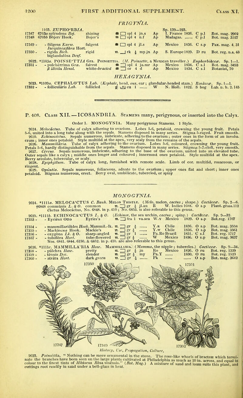 1103. EVPUO'RBIA. 17347 6703a splendens Boj. shining 17348 67036 Bojen Hook. Bojer's VRIGYNIA. « □ spl 4 jn.s « CD spl 4 n.f Ap Ap Sp. 139—223. I. France 1826. C p.l Madagas C p.l I I spl 4 jl.s Ap Mexico 1836. C s.p tL | rk \ my.jn Ap S. Europe 1829. D ru 17349 - - fiilgens Karw. fulgent Jacquinj'^dro Hort. 17350 - - rigida Bieb. rigid biglandulbsa Dcsf. 2622. *1103u. POINSE'TTL4 Gra. Poinsettia. ((V. Poinsette, a Mexican traveller.) Euphorbiacece. Sp. 1—1. 17351 - - pulcherrima Gra. fairest « ~j spl 4 ja.mr Ap Mexico 1834. C s.l Bot. mag. 3493 fi albida HensU v/hite-bracted *t ~\ or 4 d Ap Mexico 1834. C s.l Botanist, 70 HEXAGYNIA. 2623. *1109«. CEPHALO^TUS Lab. {Kcphatc, head, ous, ear ; glandular-headed stam.) Rosdcccc. Sp. 1—1. 17352 - - follicularis Lab. follicled £ uA) cu 1 W N. Holl. 1822. S bog Lab. n. h. 2.145 P. 408. Class XII. — ICOSANDRIA. Stamens many, perigynous, or inserted into the Calyx. Order 1. MONOGYNIA. Many perigynous Stamens. 1 Style. 2624. Melocactus. Tube of calyx adhering to ovarium. Lobes 5-6, petaloid, crowning the young fruit. Petals 5-6, united into a long tube along with the sepals. Stamens disposed in many series. Stigma 5-rayed. Fruit smooth. 2626. Echinociictus. Sepals numerous, imbricate, adhering to the ovarium ; outer ones in the form of an involu- crum ; inner ones petaloid. Style multifid at the apex, very scaly from the remains of the sepals. 2626. Mammilldria. Tube of calyx adhering to the ovarium. Lobes 5-6, coloured, crowning the young fruit. Petals 5-6, hardly distinguishable from the sepals. Stamens disposed in many series. Stigmas 5-7-cleft, very smooth. 2627. Cereus. Sepals numerous, imbricate, adhering to the base of the ovarium, united into an elevated tube. Outer sepals like a calyx ; middle ones longer and coloured ; innermost ones petaloid. Style multifid at the apex. Berry areolate, tubercular, or scaly. 2628. Epiphyllum. Tube of calyx long, furnished with remote scale. Limb of cor. multifid, rosaceous, or ringent. 2629. Opuntia. Sepals numerous, foliaceous, adnate to the ovarium ; upper ones flat and short; inner ones petaloid. Stigmas numerous, erect. Berry oval, umbilicate, tubercled, or spiny MONOGYNIA. 2624. *llllo. MELOCA'CTUS C. Bank. Melon Thistle. (Melo, melon, cactus ; shape.) Cactdcete. Sp. 2—6. f6848 communis L. % O. common tt. ZD gr i jl.au R W. Indies 1688. O s.p Plant, grass. 112 Cactus Melocactus, No. 6848. in p. 410 ; No. 6853. is also referable to this genus. 2625. *lllli. ECHINOCA'CTUS $ G. (Echinos, the sea urchin, cactus ; spiny.) Cact&cetz. Sp. 9—32 '353 - - Eyriesn Otto Eyries's «- ZD fra 1 va.sea W.Y Mexico 1829. O s.p Bot.reg. l'i 17353 17354 17355 17356 17357 - mammillaridldes ffoo/r. Mammil.-lk. tL ZD gr 1 Y.a Chile - MackietiKa Hook. Mackie's tt. ZD gr i Y.w Chile - oxygbna Lk. 8j O. sharp-angled tt- ZD g 1 Pa. Ro Brazil - tubiflbra Hort. tube-flowered a. ZD Sr h w Mexico Nos. 6841. 6844 . 6150. & 6852. in p. 410. are also referable to this genus. *1111c. MAMMILLA'RIA Haw. Mammillaria. {Mamma, the nipple ; tubercles. 1829. O s.p Bot.reg. 1707 1836. O s.p Bot. mag. 3558 1836. O s.p Bot. mag. 3561 1831. C s.l Bot. reg. 1717 1836. O s.p Bot. mag. 3637 Cactacea?. Sp. 9—34. History, Use, Propagation, Culture, 2622. Poinscttia.  Nothing can be more ornamental in the stove. The rose-like whorls of bractea; which termi- nate the branches have been seen on the large plants cultivated at Philadelphia as much as 20 in. across and eaual in colour to the finest tints of //ibiscus /ibsa sinensis. (Bot. Mag.) A mixture of sand and loam suits this plant, and cuttings root readily in sand under a bell-glass m heat. p 1