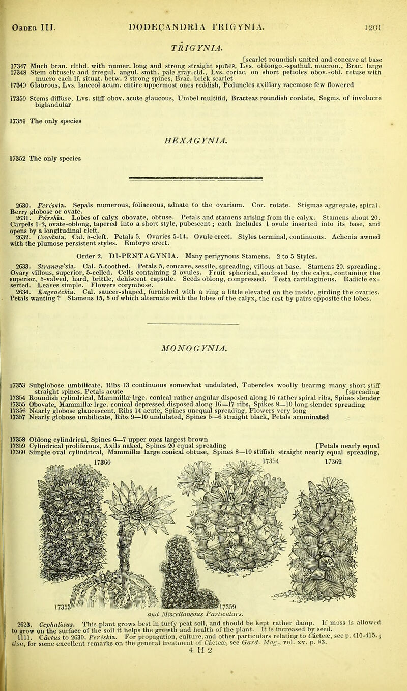 TRIGYNIA. [scarlet roundish united and concave at base 17347 Much bran, clthd. with numer. long and strong straight spitle9, Lvs. oblongo.-spathul. mucron., Brae, large 17348 Stem obtusely and irregul. angul. smth. pale gray-eld., Lvs. coriac. on short petioles obov.-obl. retuse with macro each If. situat. betw. 2 strong spines, Brae, brick scarlet 17340 Glabrous, Lvs. lanceol acum. entire uppermost ones reddish, Peduncles axillary racemose few flowered 17350 Stems diffuse, Lvs. stiff obov. acute glaucous, Umbel multifid, Bracteas roundish cordate, Segms. of involucre biglandular 17351 The only species HEXAGYNIA. 17352 The only species 2630. Pereskia. Sepals numerous, foliaceous, adnate to the ovarium. Cor. rotate. Stigmas aggregate, spiral. Berry globose or ovate. 2631. Purskia. Lobes of calyx obovate, obtuse. Petals and stamens arising from the calyx. Stamens about 20. Carpels 1-2, ovate-oblong, tapered into a short style, pubescent; each includes 1 ovule inserted into its base, and opens by a longitudinal cleft. 2632. Cow&rita. Cal. 5-cleft. Petals 5. Ovaries 5-14. Ovule erect. Styles terminal, continuous. Achenia awned with the plumose persistent styles. Embryo erect. Order 2. DI-PENTAGYNIA. Many perigynous Stamens. 2 to 5 Styles. 2633. Stranvcess\a. Cal. 5-toothed. Petals 5, concave, sessile, spreading, villous at base. Stamens 20, spreading. Ovary villous, superior, 5-celled. Cells containing 2 ovules. Fruit spherical, enclosed by the calyx, containing the superior, 5-valved, hard, brittle, dehiscent capsule. Seeds oblong, compressed. Testa cartilaginous. Radicle ex- serted. Leaves simple. Flowers corymbose. 2634. Kageneckia. Cal. saucer-shaped, furnished with a ring a little elevated on the inside, girding the ovaries. Petals wanting ? Stamens 15, 5 of which alternate with the lobes of the calyx, the rest by pairs opposite the lobes. MONOGYNIA. 17353 Subglobose umbilicate, Ribs 13 continuous somewhat undulated, Tubercles woolly bearing many short stiff straight spines, Petals acute [spreading 17354 Roundish cylindrical, Mammilla? lrge. conical rather angular disposed along 16 rather spiral ribs, Spines slender 17355 Obovate, Mammillae lrge. conical depressed disposed along 16—17 ribs, Spikes 8—10 long slender spreading 17356 Nearly globose glaucescent, Ribs 14 acute, Spines unequal spreading, Flowers very long 17357 Nearly globose umbilicate, Ribs 9—10 undulated, Spines 5—6 straight black, Petals acuminated 17358 Oblong cylindrical, Spines 6—7 upper ones largest brown 17359 Cylindrical proliferous, Axils naked, Spines 20 equal spreading [Petals nearly equal 17300 Simple oval cylindrical, Mammilla? large conical obtuse, Spines 8—10 stiffish straight nearly equal spreading, and Miscellaneous Particulars. 2623. Cephalbius. This plant grows best in turfy peat soil, and should be kept rather damp. If moss is allowed to grow on the surface of the soil it helps the growth and health of the plant. It is increased by seed. 1111. Cactus to 2630. Pert!sk\a. For propagation, culture, and other particulars relating to Cacteae, see p. 410-415.; also, for some excellent remarks on the general treatment of factoa;, see Card. Mag., vol. xv. p. 83. 4 H 2