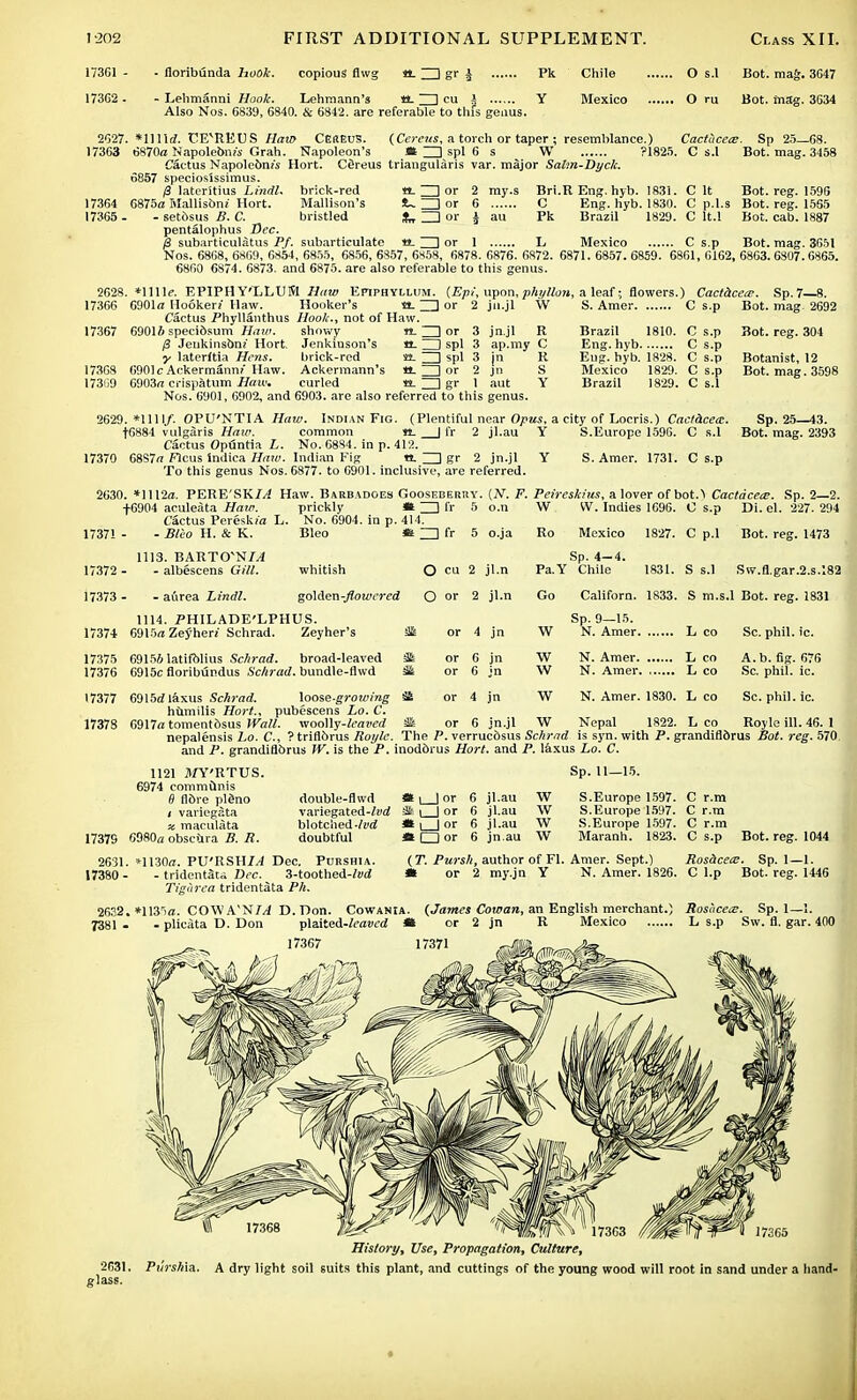 173G1 - 17362 - - floribunda hook. copious flv Lehmanni Hook. Lehmann's US- ZD cu i Also Nos. 6839, 6840. & 6842. are referable to this genus. Pk Y Chile Mexico O s.l O ru Bot. mag. 3647 Bot. mag. 3634 2627. *llll<f. t!EvREUS Haio CerEus. (Ceretis, a torch or taper ; resemblance.) Cactucece. Sp 25—68. 17363 6870a Napolebnw Grah. Napoleon's it ZD spl 6 s W ?1825. C s.l Bot. mag. 3458 Cactus Napolebms Hort. Cfireus triangularis var. major Sabn-Dych. 6857 speciosissimus. /3 lateritius Lindl. brick-red «- ZD or 17364 6875a Mallisbm Hort. Mallison's !U I or 17365 - - setbsus B. C. bristled £r ZD or pentalophus Dec. p subarticulatus Pf. subarticulate my.s Bri.R Eng. hyb. 1831. C It Bot. reg. 1596 C Eng. hyb. 1830. C p.l.s Bot. reg. 1555 au Pk Brazil 1829. C lt.l Bot. cab. 1887 □ or 1 L Mexico C s.p Bot. mag. 3651 Nos. 6868, 6869, 6854, 6855, 6856, 6857, 6858, 6878. 6876. 6872. 6871. 6857. 6859. 6861, 6162, 6863. 6807. 6865. 6860 6874. 6873. and 6875. are also referable to this genus. 2628. *lllle. EPIPHY'LLUM Haw Epiphyllijm. {Epi, upon, phyllon, a leaf; flowers.) Cactacea;. Sp.7—8. Brazil 1810. C s.p Eng. hyb C s.p Eng. hyb. 1828. C s.p Mexico 1829. C s.p Brazil 1829. C s.l 17366 6901a Hooker! Haw. Hooker's fit- ZD or 2 ju.jl W S. Amer C s.p Cactus Phyllanthus Hook., not of Haw. 17367 6901* specibsum Haw. showy n. ZD or 3 jn.jl R y3 Jenkinsbm Hort. Jenkinson's tt. ZD spl 3 ap.my C y laterltia Hens. brick-red n. ZD spl 3 jn R 17368 6901 c Ackermann?' Haw. Ackermann's tt. ZD or 2 jn S 17369 6903a crispatum Haw. curled n. ZD gr 1 aut Y Nos. 6001, 6902, and 6903. are also referred to this genus. 2629. *1111/. OPU'NTIA Haw. Indian Fig. (Plentiful near Opus, a city of Locris.) Cacthcece. f6884 vulgaris Haw. common n. | fr 2 jl.au Y S.Europe 1596. C s.l Cactus Opfintia L. No. 6884. in p. 412. 17370 68S7« flcus indica Haw. Indian Fig «. ZD gr 2 jn.jl Y S. Amer. 1731. C s.p To this genus Nos. 6877. to 6901. inclusive, are referred. 2630. *1112a. PERESK//J Haw. Barbadges Gooseberry. (Ar. F. Peireskius, a lover of bot.1 Cactacea;. Sp. 2—2. Bot. mag Bot. reg. 304 Botanist, 12 Bot. mag. 3598 Sp. 25—43. Bot. mag. 2393 +6904 aculeata Haw. Cactus Pereslu'a L. 1737! - - B/i'O H. & K. prickly *'_ No. 6904. in p. 414. Bleo *t ~ 5 o.n 5 o.ja W Ro W. Indies 1696. O s.p Mexico 1827. C p.l Di. el. 227. 294 Bot. reg. 1473 17372 • 17373- 1113. BARTCTN/yi - albescens Gill. • aftrea Lindl. whitish O cu 2 jl.n Sp. 4-4. Pa.Y Chile 1831. S s.l Sw.fl.gar.2.s.;82 golden-^cwrai O or 2 jl.n Go Californ. 1833. S m.s.l Bot. reg. 1831 1114. PHILADE'LPHUS. 17374 6915a Zeyhen Schrad. Zeyher's Sk 17375 6915Matifblius Schrad. broad-leaved Sfe 17376 6915c floribundus Sc/irai/. bundle-flwd SUt or 4 jn 6 jn 6 jn 4 jn Sp. 9—15. W N. Amer L co Sc. phil. ic. W N. Amer Leo A.b. fig. 676 W N. Amer L co Sc. phil. ic. W N. Amer. 1830. Leo Sc. phil. ic. 17377 6915<ilaxus Schrad. \oose-groiving it humilis Hort., pubescens Lo. C. 17378 6917a tomentbsus W,all. -woolly-leaved 4t or 6 jn.jl W Nepal 1822. Leo Royle ill. 46. 1 nepalensis Lo. C, ? triflbrus Royle. The P. verrucbsus Schrad is syn. with P. grandifldrus Bot. reg. 570 and P. grandiflbrus W. is the P. inodbrus Hort. and P. laxus Lo. C. 1121 MY'RTUS. 6974 communis fl fibre plSno i variegata x maculata 17379 6980a obscura B. R. double-fiwd * i_] or 6 jl.au W variegated-ft«2 Sk \ | or 6 jl.au W blotched-M *| | or 6 jl.au W doubtful «Dor 6 jn.au W Sp. 11—15. S.Europe 1597. C r.m S.Europe 1597. C r.m S.Europe 1597. C r.m Maranh. 1823. C s.p Bot. reg. 1044 2631. *1130a. PTJ'RSHJ/) Dec. Purshia. 17380 - - tridentata Dec. 3-toothed-/i)d Tigiirea tridentata Ph. 2632. *113ria. COWA'NM D.Don. Cowania 7381 • - plicata D. Don plaited-tajfled i 17367 (T. Pursh, author of Fl. Amer. Sept.) Rosacea:. Sp. I—1. m or 2 my.jn Y N. Amer. 1826. C l.p Bot. reg. 1446 (James Cowan, an English merchant.) Rosacea?. Sp. 1—I. or 2 jn R Mexico L s.p Sw. fl. gar. 400 History, Use, Propagation, Culture, 2631. Purshia, A dry light soil suits this plant, and cuttings of the young wood will root in sand under a hand- ♦