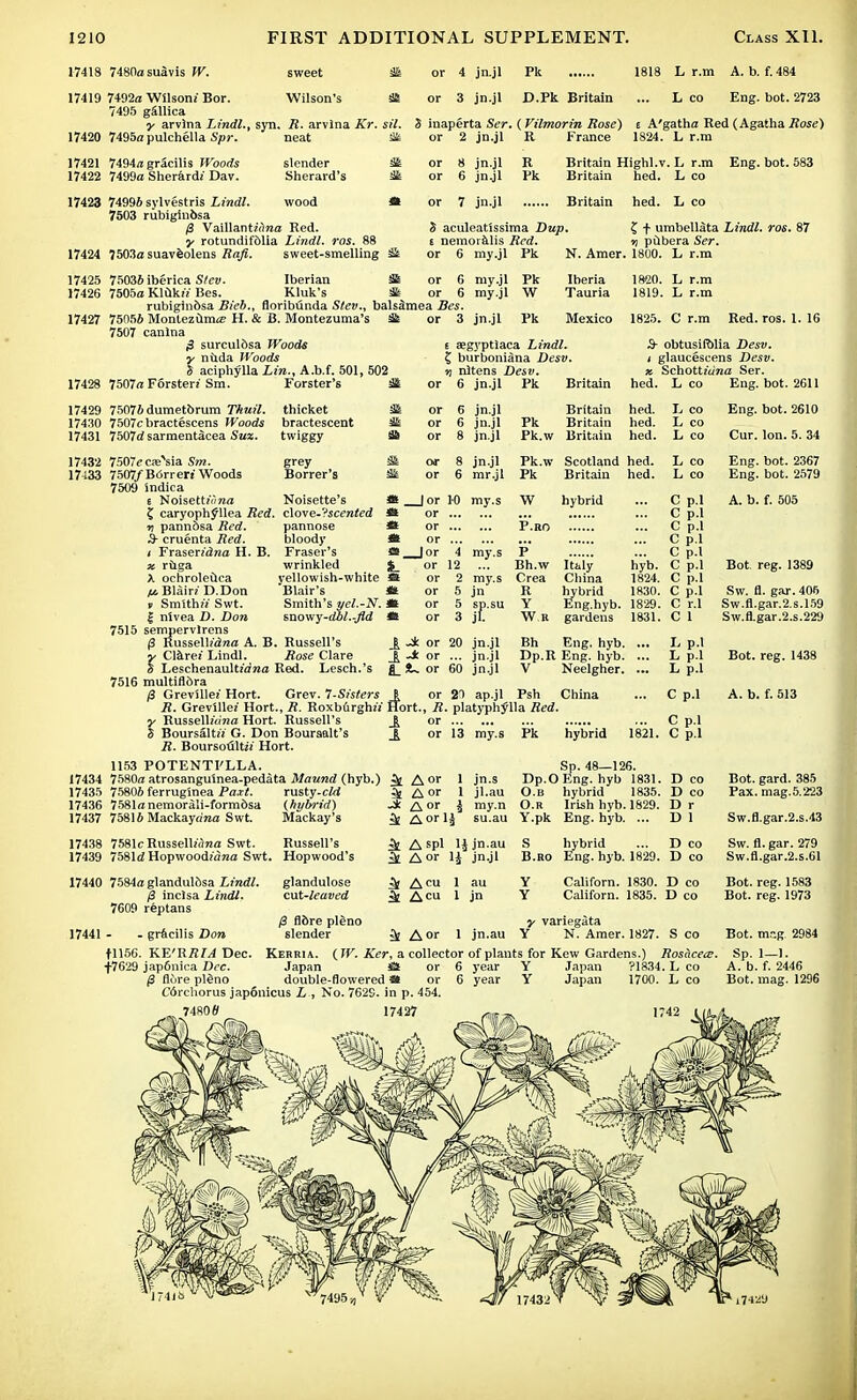 17418 7480asuavis W. sweet St or 4 jn.jl Pk 1818 L r.m A. b. f.484 17419 7492a Wilson/Bor. Wilson's s!S or 3 jn.jl D.Pk Britain ... Leo Eng. bot. 2723 7495 gSllica y arvlna Lindl., syn. R. arvlna Kr. sil. S inaperta Ser. (Vilmorin Rose) s A'gatha Red (Agatha Rose) 17420 7495a pulchella Spr. neat as or 2 jn.jl R France 1824. L r.m 17421 7494*1 gracilis Woods slender St or 8 jn.jl R Britain Highl.v. L r.m Eng. bot. 583 17422 7499a Sherard/ Dav. Sherard's St or 6 jn.jl Pk Britain hed. L co 17423 74996 sylvestris Lindl. wood * or 7 jn.jl Britain hed. L co 7503 rubiginbsa /3 Vaillant/()raa Red. S aculeatissima Dup. Z t umbellata Lindl. ros. 87 y rotundifolia Lindl. ros. 88 t nemoralis Red. % pubera Ser. 17424 7503a suavfeolens Rafi. sweet-smelling St or 6 my.jl Pk N. Amer. 1800. L r.m 17425 75036 iberica Stev. Iberian St or 6 my.jl Pk Iberia 1820. L r.m 17426 7505a Kltik// Bes. Kluk's St or 6 my.jl W Tauria 1819. L r.m rubiginbsa Bieb., floribunda Stev., bals£mea Bes. 17427 75056 Montezuma H. & B. Montezuma's & or 3 jn.jl Pk Mexico 1825. C r.m Red. ros. 1. 16 7507 canlna $ surcul&sa Woods t a?gyptlaca Lindl. S- obtusifolia Desv. y nuda Woods £ burboniana Desv. i glaucescens Desv. 3 aciphylla Lin., A.b.f. 501, 502 n nltens Desv. x Schott/a'na Ser. 17428 7507a Forster/Sm. Forster's St or 6 jn.jl Pk Britain hed. Leo Eng. bot. 2611 17429 75076 dumetbrum Thuil. thicket 31 or 6 jn.jl Britain hed. Leo Eng. bot. 2610 17430 7507cbractescens Woods bractescent St or 6 jn.jl Pk Britain hed. L co 17431 7507d sarmentacea Suz. twiggy Si or 8 jn.jl Pk.w Britain hed. Leo Cur. Ion. 5.34 17432 7507<; cassia Sm. grey 34 or 8 jn.jl Pk.w Scotland hed. Leo Eng. bot. 2367 17433 7507/ Borrer/ Woods Borrer's St or 6 mr.jl Pk Britain hed. Leo Eng. bot. 2579 7509 indica s Noisett/««a Noisette's * |or JO my.s W hybrid ... C p.l A. b. f. 505 ? caryoph^llea Red. c\ove-?scented *i or ... C p.l n pannosa Red. pannose *t or P.ro ... C p.l 3- cruenta Red. bloody * or ... C p.l / Fraseridna H. B. Fraser's »_Jor 4 my.s P ... C p.l x ruga wrinkled %_ or 12 ... Bh.w Italy hyb. C p.l Bot reg. 1389 X ochroleilca yellowish-white St or 2 my.s Crea China 1824. C p.l jtiBlain D.Don Blair's *S or 5 jn R hybrid 1830. C p.l Sw. fl. gar. 405 I Smith!) Swt. Smith's yel.-N. m or 5 sp.su Y Eng.hyb. 1829. C r.l Sw.fl.gar.2.s.l59 I nivea D. Don snowy-Jbl.-fld * or 3 jl. W K gardens 1831. C 1 Sw.fl.gar.2.s.229 7515 sempervlrens (3 Russelh'draa A. B. Russell's ± -± or 20 jn.jl Bh Eng. hyb. ... L p.l y Clare/ Lindl. Rose Clare -* or ... jn.jl Dp.R Eng. hyb. ... L p.l Bot. reg. 1438 § Leschenault/a'na Red. Lesch.'s £_ it. or 60 jn.jl V Neelgher. ... L p.l 7516 multiflora /3 Grevillet Hort. Grev. 1-Sisters I or 21 ap.jl Psh China ... C p.l A. b. f. 513 R. Grevllle/ Hort., R. Roxburgh!! Hort., R. platyphylla Red. y Russell/ana Hort. Russell's or ... C p.l S Boursalt// G. Don Bouraalt's or 13 my.s Pk hybrid 1821. C p.l R. Boursofilti/ Hort. 1153 POTENTI'LLA. Sp. 48—126. 17434 7580a atrosanguinea-pedata Maund (hyb.) ^ A or 1 jn.s Dp.O Eng. hyb 1831. D co Bot. gard. 385 17435 75806 ferruginea Paxt. rusty-eirf ^ A or 1 jl.au O.B hybrid 1835. Deo Pax. mag.5.223 17436 7581anemorali-formdsa (hybrid) Jk ^ or £ my.n O.R Irish hyb. 1829. Dr 17437 75816 Mackayrirea Swt. Mackay's 3; AoHJ su.au Y.pk Eng.hyb. ... Dl Sw.fl.gar.2.s.43 17438 7581e Russell/una Swt. Russell's ^ A spl Hjn.au S hybrid ... Deo Sw. fl.gar. 279 17439 758l£/Hopwood/ana Swt. Hopwood's ^ A or H jn.jl B.ro Eng. hyb. 1829. Deo Sw.fl.gar .2.S.61 17440 7 584aglandul&sa Lindl. glandulose J Am ' »u Y Californ. 1830. D co Bot. reg. 1583 /3 inclsa Lindl. cut-leaved ^ Atu 1 jn Y Californ. 1835. Deo Bot. reg. 1973 7609 reptans /3 fibre pleno y variegata 17441 - - gracilis Don slender ^ A or 1 jn.au Y N. Amer. 1827. S co Bot. m.-g 2984 fll56. KE'RRIA Dec. Kerria. (W. Ker, a collector of plants for Kew Gardens.) Rosciceis. Sp. 1—1. +7629 jap6nica Dec. Japan ft or 6 year Y Japan ?1834. L co A. b. f. 2446 /3 flure pleno double-flowered * or 6 year Y Japan 1700. L co Bot. mag. 1296 Cdrchorus jap6nicus L , No. 7629. in p. 454. 74808 17427 1742