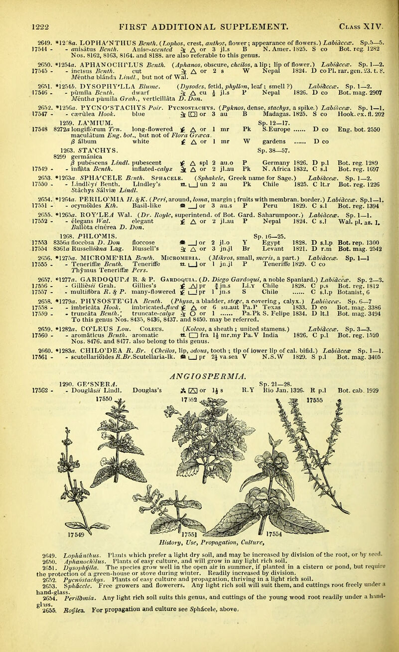 2649. *12'8a. LOPHA'NTHUS Benth. {T.ophos, crest, anthos, flower; appearance of flowers.) Labidcece. Sp.5—5. 17544 - - anisatus Benlh. Anisn-scented ^ A or 3 jl.s B N. Amer. 1825. S co Bot. reg. 1282 Nos. 81G2, 8163, 8164. and 8188. are also referable to this genus. 2650. *1254«. APHANOCHPLUS Benth. {Aphanos, obscure, cheilos, a lip; lip of flower.) Labidcece. Sp. 1—2. 17545 - - inclsus Benth. cut ^ A or 2 s W Nepal 1824. D co PI. rar. gen. 23. t. 8 Mentha blanda Lindl., but not of Wal. 2651. 17546 . 2652. 17547 - 17548 1254J. DYSOPHY'LLA Blume. {Dysodes, fetid, pkyllnn, leaf; smell ?) LabidceiE. Sp. 1—2. - pumila Benth. dwarf ^ A ra j jl.s P Nepal 1826. D co Bot. mag. 2907 Mentha pumila Grab., verticillata D. Don. *1256o. PYCNO'STACIIYS Poir. Pycnostachys. {Pyknos^iense.stachys, a spike.) Labiiicece. Sp. 1—1. blue iO«r 3 au - caerulea Hook. 1259. /.A'MIUM. 8272a longifKirum Ten. long-flowered { A «' 1 maculatum Eng. bot.. but not of Flora Grceca. white 17549 2053 17550 2654. 17551 • 2655. 17552 ■ 17553 17554 2656. 17555 . 2657. H556 - 17557 • 2658. 17558 ■ 17559 . 2659. 17560 • 2660, 17561 ■ /3 Slbum 1263. STA'CHYS. 8299 germSnica $ pubescens Lindl. pubescent 4 - inflata Benth. inflated-cai^jr ^ *12G3fl. SPHA'CELE Benth. Sphacele. £ A or 1 mr Pk W Madagas. 1825. S co Hook. ex. fl. 202 Sp. 12—17. S.Europe D co Eng. bot. 2550 gardens D co Sp. 38—57. A epl 2 A or 2 au.o jl.au P Pk Germany 1826. D p.l N. Africa 1832. C s.l Bot. reg. 1289 Bot. reg. 1697 {Sphakele, Greek name for Sage.) LabidceiE._ Sp. 1—2. Pk Chile 1825. C lt.r Bot. reg. 1226 - Lindleyt Benth. Llndley's a. i | un 2 Stachys Salvia? Lindl. *1264a. PERILCTMIA H.fyK. {Peri, around, loma, margin ; fruits with membran. border.) Labidcece. Sp.l—1. - ocymoldes Kth. Basil-like » _J or 3 au.s P Peru 1829. C s.l Bot. reg. 1394 *1265a. ROY'LE.^ Wal. {Dr. Royle, superintend, of Bot. Gard. Saharumpoor.) Labidcece. Sp. 1—1. - elegans Wal. elegant £ A or 2 jl.au P Nepal 1824. C s.l Wal. pi. as. 1. .Ballota cinerea D. Don. 1268. PHLO'MIS. Sp. 16—25. 8356a floccbsa D. Don floccose * | or 2 jl.o Y Egypt 1828. D s.l.p Bot. rep. 1300 8361a Russelhdna Lag. Kussell's St A or 3 jn.jl Br Levant 1821. D r.m Bot. mag. 2542 *1275a. MICROME^RIA Benth. Micromeria. {Mikros, small, mcris, a part.) Labidcece. Sp. 1—1 - Tener'ifia; Benth. Teneriffe a. |_J or 1 jn.jl P Teneriffe 1829. C co Thymus Tener'iffae Pers. *1277a. GARDOQUI\4 R. & P. Gabdohuia. (D. Diego Gardoqui, a noble Spaniard.) Labidcece. Sp. 2—3. - Gilli&SH Grab.. Gillies's £ _A1 pr fjn.s Li.Y Chile 1828. C p.s Bot. reg. 1812 . multiflbra R. Sf P. many-flowered £ i \ pr 1 jn.s S Chile C s.l.p Botanist, 6 Labiucece. Sp. 6—7 *1279a. PHYSOSTE'GIA Benth. (Physa, a bladder, stege, a covering, calyx.) - imbricata Hook. imbricated-^«»d £ A or 6 su.aut Pa.P Texas 1833. D co Bot. mag. 3386 . truncata Benth.\ truncate-ca/yx itf O or 1 Pa.Pk S. Felipe 1834. D lt.l Bot. mag. 3494 To this genus Nos. 8435, 8436, 8437. and 8450. may be referred. *1282a. COvLE US Lou. Coleus. {Koleos, a sheath ; united stamens.) Labidcece. Sp. 3—3. - aromSticus Benth. aromatic a. □ fra l^mr.myPa.V India 1826. C p.l Bot. reg. 1520 Nos. 8476. and 8477. also belong to this genus. *1283a. CHILO'DEA R. Br. {Cheilos, lip, odous, tooth ; tip of lower lip of cal. bifid.) Labidcece Sp. 1—1. - 6cutellari6'ldesi?.5j-.Scutellaria-lk. » i_| pr 2J va.sea V N.S.W 1829. Sp.l Bot. mag. 3405 17562 1290. GE'SNER^. - DouglSsii Lindl. 17550 . Douglas's ANGIO SPERM I A. ljs R.Y p. 21—28. Rio Jan. 1326. R p.l 17555 Bot. cab. 1929 17549 '17551 History, Use, Propagation, Culture, 2649. Lophdnthus. Plants which prefer a light dry soil, and may be increased by division of the root, or by seed. 2650. Aphanoch'ilus. Plants of easy culture, and will grow in any light rich soil. 2651. Dysophp/la. The species grow well in the open air in summer, if planted in a cistern or pond, but require the protection of a green-house or stove during winter. Readily increased by division. 2652. Pycnostachys. Plants of easy culture and propagation, thriving in a light rich soil. 2653. SphScele. Free growers and flowerers. Any light rich soil will suit them, and cuttings root freely under a hand-glass. , , , 2654. Perildmia. Any light rich soil suits this genus, and cuttings of the young wood root readily under a hand- glass. 2655. Roylea. For propagation and culture see SphScele, above.