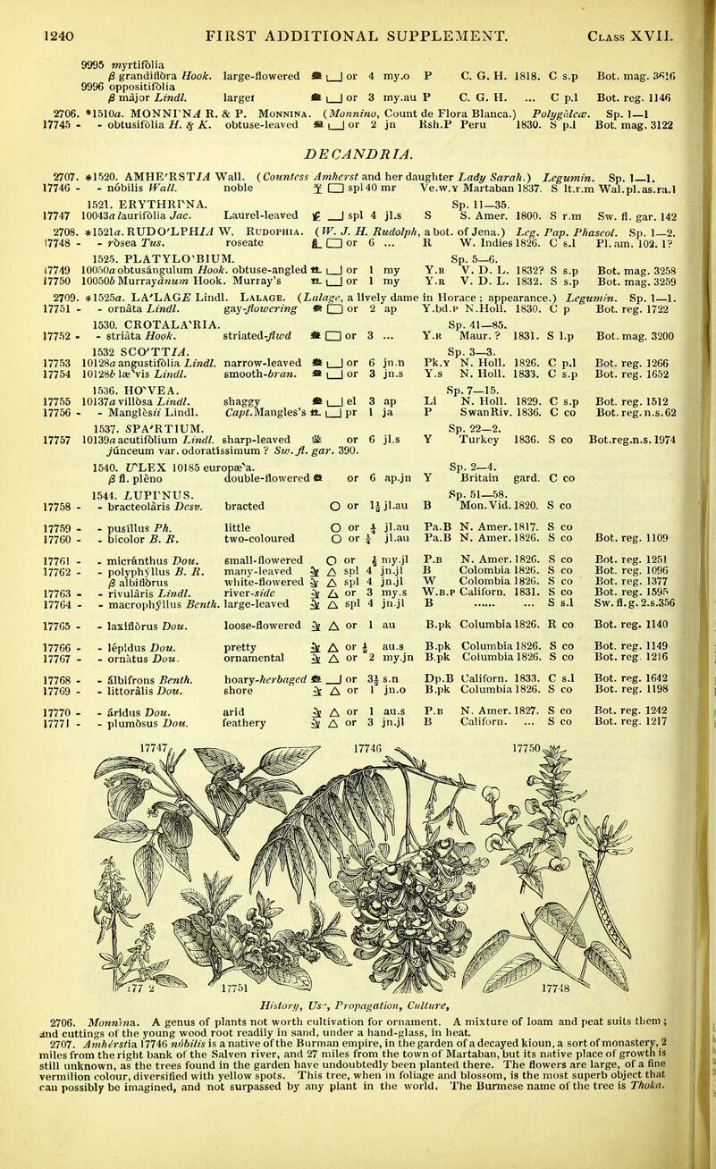 9995 »jyrtif61ia /3 grandirlbra Hook, large-flowered « i | or 4 my.o P C. G. H. 1818. C s.p Bot. mag. 3«I6 9996 oppositifblia 0 major Lindl. larger *| | or 3 iny.au P C. G. H. ... C p.l Bot. reg. 1146 2706. *1510a. MONNPN/I R. & P. Monnina. (Monnino, Count de Flora Blanca.) Polygulea:. Sp. 1—1 17745 - - obtusifolia H. # A, obtuse-leaved 0.\ | or 2 jn Ksh.P Peru 1830. S p.l Bot. mag. 3122 2707. 17740 - 17747 2708. 17748 ■ 17749 17750 2709. 17751 DECANDRIA. *1520. AMHE'RST/,1 Wall. (Countess Amherst and her daughter Lady Sarah.) Legumin. Sp. 1 1. - nobilis Wall. 1521. ERYTHRPNA 10043rt /aurif&lia Jac. noble J O spl40 mr a i spi 4 ji.s Ve.w.Y Martaban 1837. S lt.r.m Wal.pl.as.ra.l 1800. S r.m Sp. 11—35. S. Amer. Sw. fl. gar. 142 ( W. J. H. Rudolph, a bot. of Jena.) Leg. Pap. P/iaseol. Sp. 1—2. fi. O or 6 ... R W. Indies 1826. C s.l PI. am. 102. 1? Laurel-leaved *1521<r.RUDO'LPHL4 W. Rudophia - rosea Tus. roseate 1525. PLATYLO'BITJM. Sp. 5—0. lOOnOaobtusangulum Hook, obtuse-angled tt. i lor 1 my Y.r V.D.I,. 1832? S s.p 100506 Murrayawwm Hook. Murray's m i | or 1 my Y.r V. D. L. 1832. S s.p *1525tf. LA'LAGi? Lindl. Lalage. (Lalage, a lively dame in Horace ; appearance.) Legumin. - ornata Lindl. gay-flowering 1530. CROTAL.VRIA. 17752 - - striata Hook. striated-flwd 1532 SCO'TTLL 10128«angustifolia Lindl. narrow-leaved 17753 17754 101286 laeVis Lindl. smooth-6?£f». i □ or i □ or ll_Jor 2 ap Y.bd.r- N.Holl. 1830. C p 6 jn.n 3 jn.s Sp. 41—85. Y.R Maur. ? Sp. 3—3. Pk.Y N. Holl. Y.s N. Holl. 1831. S l.p 1826. 1833. C p.l C s.p 17755 17756 17757 lei 1536. HCTVEA. 10137a villbsa Lindl. shaggy - Mangles^'Lindl. Capt. Mangles's tt-1 | pr 1537. SPA'RTIUM. 10139nacutif61ium Lindl. sharp-leaved $k or ,/unceum var. odoratissimum ? Sw.fl. gar. 390. 6 jl.s Sp. 7—15. N. Holl. 1829. C s.p SwanRiv. 1836. C co Sp. 22—2. Turkey Bot. mag. 3258 Bot. mag. 3259 Sp. 1—1. Bot. reg. 1722 Bot. mag. 3200 Bot. reg. 1266 Bot. reg. 1652 Bot. reg. 1512 Bot.reg.n.s.62 1836. S co Bot.reg.n.s. 1974 1540. ITLEX 10185 europaeva /3 fl. pleno 1544. Z-UPPNUS. 17758 - - bracteolaris Desv. double-flowered *• or 6 ap.jn Y Sp. 2—4. Britain gard. C co 17759 17760 17761 17762 17763 17764 17765 17766 17767 17768 17769 17770 17771 puslllus Ph. blcolor B. B. micranthus I)ou. polyphyllus B. R. /3 albiflbrus ■ rivularis Lindl. bracted little two-coloured O or li jl.au B Sp. 51—58. Mon.Vid. 1820. O or J jl.au O or i jl.au small-flowered O or many-leaved 3t £ SP' white-flowered ^ A spl river-Side ^ A or macrophjllus Benth. large-leaved i niy.jl 4 jn.jl 4 jn.jl 3 my.s 4 jn.jl laxtfldrus Dou. lepidus Dou. ornatus Dou. Slbifrons Benth. littoralis Dou. loose-flowered pretty ornamental Pa.B N. Amer. 1817. S co Pa.B N. Amer. 1826. S CO P.B N. Amer. 1826. S CO B Colombia 1826. S co W Colombia 1820. S co W.b.p Californ. 1831. S co B S s.l B.pk Columbia 1826. R co 3e A spl 3e A or 1 au 3l A or i au.s B.pk Columbia 1826. S co ^ A or 2 my.jn B.pk Columbia 1826. S co hoary-herbaged ffi | or 3^ s.n shore Cfc A or 1 J110 Dp.B Californ. 1833. C s.l B.pk Columbia 1826. S co N. Amer. 1827. S co Californ. ... S co Bot. reg. 1109 Bot. reg. 1251 Bot. reg. 1096 Bot. reg. 1377 Bot. reg. 1595 Sw.fl.g.2.s.356 Bot. reg. 1140 Bot. reg. 1149 Bot. reg, 1216 Bot. reg. 1642 Bot. reg. 1198 Bot. reg. 1242 Bot. reg. 1217 History, Us, Propagation, Culture, 2706. Monnina. A genus of plants not worth cultivation for ornament. A mixture of loam and peat suits them ; dnd cuttings of the young wood root readily in sand, under a hand-glass, in heat. 2707. Amhtrstia 17746 ndbilis is a native of the Burman empire, in the garden of a decayed kioun, a sort of monastery, 2 miles from the right bank of the Salven river, and 27 miles from the town of Martaban, but its native place of growth is still unknown, as the trees found in the garden have undoubtedly been planted there. The flowers are large, of a fine vermilion colour, diversified with yellow spots. This tree, when in foliage and blossom, is the most superb object that can possibly be imagined, and not surpassed by any plant in the world. The Burmese name of the tree is Thokn.