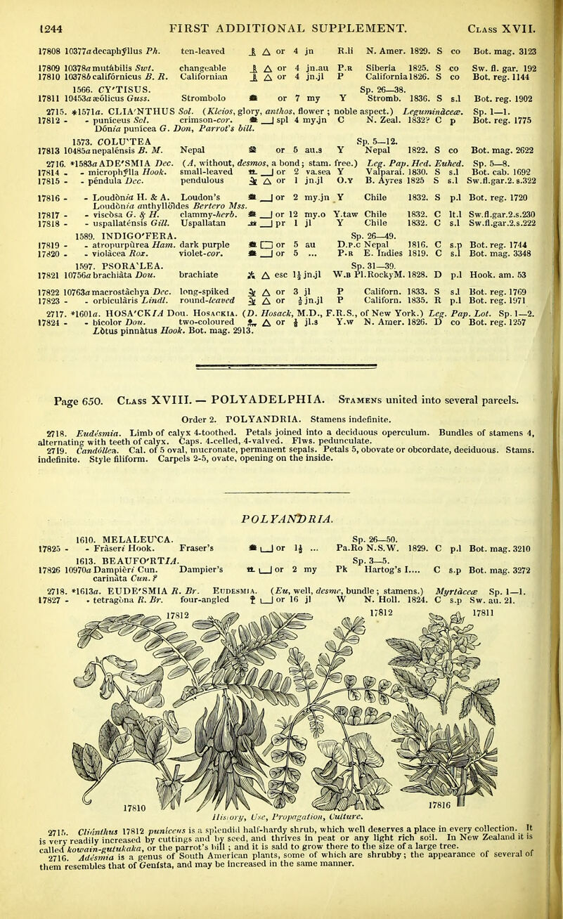 17808 10377a decaphyllus Ph. ten-leaved 17809 10378a mutabilis Swt. 17810 103786 californicus B. R. changeable Californian £ A or 4 jn | A o' < jn.au ± A or 4 jn.jl K.li N. Amer. 1829. S co Bot. mag. 3123 Sw. fl. gar. 192 Bot. reg. 1144 P.R P Siberia 1825. S California 1826. S 1566. CY'TISUS. Sp. 26—38. 17811 10453aaeolicus Guss. Strombolo « or 7 my Y Stromb. 1836. S s.l 2715. *1571a. CLIA'NTHUS Sol. (Kleios, glory, antkos, flower ; noble aspect.) Legumindceie. 17812 - - puniceus Set. crimson-cor. * | spl 4 my.jn C N. Zeal. 1832? C p Dom'a punicea G. Don, Parrot's bill. 1573. COLU'TEA Sp. 5—12. 17813 10485anepalensis£.3/. Nepal Si or 5 au.3 Y Nepal 1822. S co 2716. *1583a ADE'SMIA Dec. (A, without, desmos, a bond; stam. free.) Lee. Pap.Hed. Euhed. 17814 - - microphonia Hook. small-leaved *L _J or 2 va.sea Y Vafparai. 1830. S s.l 17815 - - pendula Dec. pendulous Bot. reg. 1902 Sp. 1—1. Bot. reg. 1775 Bot. mag. 2622 Sp. 5—8. Bot. cab. 1692 i A or 1 jn.jl O.Y B. Ayres 1825 S s.l Sw.fl.gar.2.6.322 17816 ■ 17817 - 17818 - - Loud&ma H. & A. Loudon's It | or 2 my.jn Y Louddnra anthylldldes Bertero Mss. Chile 1832. S p.l Bot. reg. 1720 - viscbsa G. H. - uspallatensis Gill. clammy-Aerfi. Uspallatan 1589. INDIGO'FEKA. - atropurpurea Ham. dark purple - violacea Rox. violet-cor. * I or 12 J* I pr 1 my.o jl Y.taw Chile Y Chile 1832. 1832. 17819 - 17820 - 1597. PSORA'LEA. 17821 10756a brachiata Dou. m CD or * | or brachiate A A esc 1J jn.jl Sp. 26 49. D.p.c Nepal ' 1816. C P.R E. Indies 1819. C Sp. 31—39. W.B PI.RockyM. 1828. D lt.l Sw.fl.gar.2.s.230 s.l Sw.fl.gar.2.s.222 s.p Bot. reg. 1744 s.l Bot. mag. 3348 p.l Hook. am. 53 17822 10763a macrostachya Dec. long-spiked 4 A or J jl P Californ. 1833. S 17823 - - orbicularis Lindl. round-forwo- 4 A or | jn.jl P Californ. 1835. R 2717. *1601a. HOSA'CKY.4 Dou. Hosackia. (D. Hosack, M.D., F.R.S., of New York.) Leg 17824 - - bicolor Dou. two-coloured SW A or J jl.s Y.w N. Amer. 1826. D iStus pinnatus Hook. Bot. mag. 2913. Bot. reg. 1769 Bot. reg. 1971 sJ p.l Pap. Lot. Sp. 1—2. co Bot. reg. 1257 Page 650. Class XVIII. — POLYADELPHIA. Stamens united into several parcels. Order 2. POLYANDRIA. Stamens indefinite. 2718. Eudesmia. Limb of calyx 4-toothed. Petals joined into a deciduous operculum. Bundles of stamens 4, alternating with teeth of calyx. Caps. 4-celled, 4-valved. Flws. pedunculate. 2719. Canddllea. Cal. of 5 oval, mucronate, permanent sepals. Petals 5, obovate or obcordate, deciduous. Stams. indefinite. Style filiform. Carpels 2-5, ovate, opening on the inside. POLYANDRIA. Sp. 26—50. *l_Jor 14 ... Pa.RoN.S.W. 1829. C p.l Bot. mag. 3210 Sp. 3—5. H-l_|or 2 my Pk Hartog's I.... C s.p Bot. mag. 3272 Carinata Cun. ? 2718. *1613a. EUDE'SMIA R. Br. Eudesmia. (Eu, well, desme, bundle; stamens.) MyrtctcecE Sp. 1—1. 17827 - - tetragfma R. Br. four-angled f 1 | or 16 jl W N. Holl. 1824. C s.p Sw. au. 21. 17812 17811 1610. MELALEUCA. 17825 - - Frasen Hook. Fraser's 1613. BEAUFO'RT//i. 17826 10970a Dampieri Cun. Dampier's History, Use, Propagation, Culture. 27P. Clidnthus 17812 puniceus is a splendid half-hardy shrub, which well deserves a place in every collection. It is verv readily increased by cuttings and by seed, and thrives in peat or any light rich soil. In New Zealand it is calledkowain-gulukaka, or the parrot's bill ; and it is said to grow there to the size of a large tree. *2716 Adesmia is a genus of South American plants, some of which are shrubby; the appearance of several 01 them resembles that of Genista, and may be increased in the same manner.