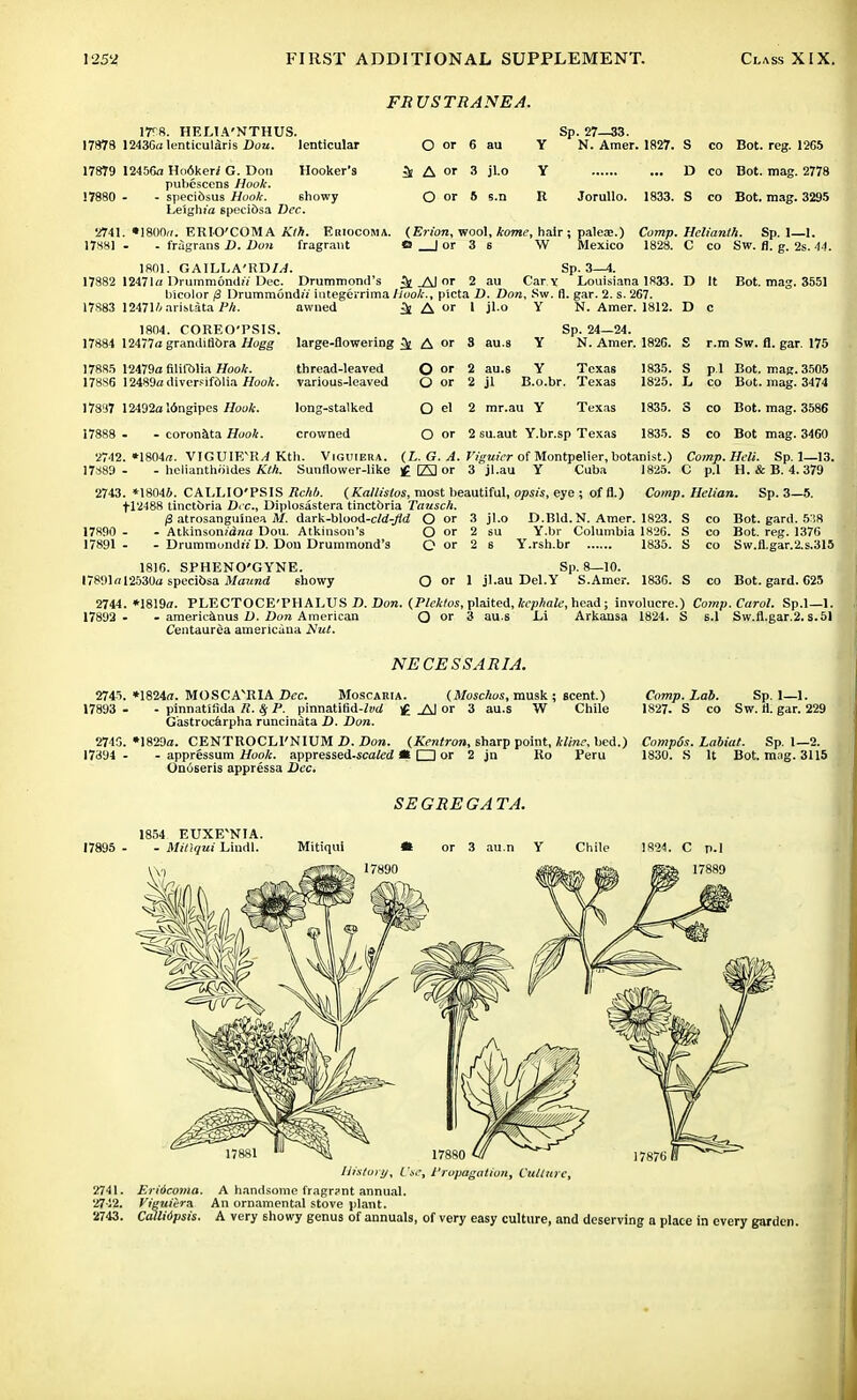 FRUSTRATE A. \FH. HELIA'NTHUS. 17878 1243G«lenticularis Dou. lenticular O of 6 au 17879 12456a Ho6kerZ G. Don Hooker's ^ A or 3 jl.o pubescens Hook. 17880 - - specibsus Hook. 6howy O or 5 s.n Leighia specibsa Dec. •2741. «1800fi. ERIO'COMA Kth. Eriocoma. 17S81 - - fragrans D. Don fragrant 1801. GAILLA'RDZ/J. 17882 12471a Druramondii Dec. Drummond's £fc _AJ or 2 au gp_ 27 33 N. Amer. 1827. S co Bot. reg. 12G5 ... D co Bot. mag. 2778 1833. S co Bot. mag. 3295 Jorullo. (Erion, wool, kome, hair ; pales.) Comp. Helianth. Sp. 1—1. O I or 3 s W Mexico 1828. C co Sw. fl. g. 2s. 44. Sp. 3-4. Car y Louisiana 1833. D It bicolor (3 Drumm6nd» integeirima llook., picta D. Don, Sw. fl. gar. 2. s. 267. Bot. mag. 3551 17S83 12471// aristata Ph. 1804. COREO'PSIS. 17884 12477a grandiliora Hogg 17885 12479a filifblia Hook. 17886 12489a diversifblia Hook. 17887 12492a 16ngipes Hook. 17888 - - coronata Hook. awned it A or 1 jl-o N. Amer. 1812. D c large-flowering ^ A or 8 au.s Y Sp. 24—24. N. Amer. 182G. thread-leaved various-leaved long-stalked crowned O or 2 au.s Y Texas 1835. O or 2 jl B.o.br. Texas 1825. O el 2 mr.au Y Texas 1835. O or 2 su.aut Y.br.sp Texas 1835. r.m Sw. fl. gar. 175 p.l Bot. mag. 3505 co Bot. mag. 3474 co Bot. mag. 3586 co Bot mag. 3460 2742. *1804a. VIGUIE'Ii/1 Kth. Viguiera. (Z,. G. A. Viguier of Montpelier, botanist.) Comp.Heli. Sp. 1—13. 17889 - - helianthoides Kth. Sunflower-like £ E2 or 3 jl.au Y Cuba 1825. C p.l H. & B. 4.379 2743. *18046. CALLIO'PSIS Rchb. (Kallistos, most beautiful, opsis, eye ; of fl.) Comp. Helian. Sp. 3—5. fl'2488 tinctbria Dec, Diplosastera tinctbria Tausch. /3 atrosanguinea M. dark-blood-cW-j?d O or 3 jl.o D.Bid. N. Amer. 1823. S co Bot. gard. 538 17R90 - - Atkinsomdna Dou. Atkinson's O or 2 su Y.br Columbia 1826. S co Bot. reg. 1376 17891 - - Drummondi'j D. Don Drummond's O or 2 s Y.rsh.br 1835. S co Sw.fl.gar.2.s.315 1816. SPHENO'GYNE. 17891«12530a specibsa Maund showy Sp. 8—10. O or 1 jl.au Del.Y S.Amer, 1836. S co Bot. gard. G25 2744. *1819a. PLECTOCE'PHALUS D. Don. (Plektos, plaited, kcphale, head ; involucre.) Comp. Carol. Sp.l—1. 17892 - - americanus D. Don American O or 3 au.s Li Arkansa 1824. S s.l Sw.fl.gar.2. S.51 Centaurea americana Nut. NECESSARIA. 2745. *1824«. MOSCAvRIA Dec. Moscaria. (Moschos, musk ; scent.) 17893 - - pinnatifida R. 8j P. pinnatifid-^o' £ AJ or 3 au.s W Chile G'astrocarpha runcinata D. Don. Comp. Lab. Sp. 1—1. 1827. S co Sw. rl. gar. 229 2745. *1829a. CENTROCLl'NIUM D. Don. (Kentron, sharp point, kline, bed.) Comp6s. Labiat. Sp. 1—2. 17394 appressum Hook, appressed-jtcafed * □ or 2 jn Onoseris appressa Dec Ro Peru 1830. S It Bot. mag. 3115 SEGREGATA. 17895 1854 EUXE'NIA. - Mil'tqui Liudl. Mitiqui Chile 1824. C p.l 17880 1 History, Use, Propagation, Culture, 2741. Eriticoma. A handsome fragr?nt annual. 2712. Viguiira An ornamental stove plant. 2743. Calliopsis. A very showy genus of annuals, of very easy culture, and deserving a place in every garden.