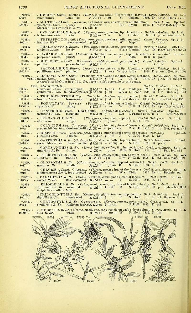 *2810. - .. DICIIiE'A Lindl. Dich,ea. (Dichr, in two rows ; disposition of leaves.) Orel). J'undece. Sp. 1 —3. 17998- - gramiuoldes Grass-like £ 23 cu 1 au St Guiana 1823. D p.r.w Hook. ex. fl. *281l. - - MlLTO'NL4 Lindl. (Kamara, a chamber, ous, an ear ; top of labellum.) Orch. Vdnd. Sp. 1—1. 17999- - spectabilis Lindl. showy £Eor 1 ... R.G Brazil 1835. D p.r.w Bot. reg. l'J!)2 Macrochilus Frydnus K. & W. Fl. cab. 45. *2812. - . CYRTOCHFLUM H. Sj K. t Kyrtos, convex, cheilos, lip ; labellum.) Orchid, l'dndece. Sp. 1—4. 18000 - - bictoniense Bate. Bicton g El or 2 n R Guatem. 1836. D p.r.w Bate. orch. 6 *2813. - - TETRAPF'LTIS Wall. (Tetra, four, pelte, buckler; pollen masses.) Orchid. Vandetc. Sp. 1—1. 18001 - - fragrans Wall. sweet-scented £ E) or W Nepal ... U p.r.w *28I4. - - PHALiENO'PSIS Blume. (Phalaina, a moth, opsis, resemblance.) Orchid. I'dndcce. Sp. 1—1. 18002 - - amabilis Blume lovely £ 22 or ljju W.r.y Manilla 1830. D p.r.w Bot.rig n.s.34 *2815. - - CAMARCTTIS Lindl. (Kamara, a chamber, ous, an ear ; top of labellum.) Orch. Vdnd. Sp. 1—0. 18003 - - purpurea Lindl. purp'e fi I7tl or 1 — P India 1838 D p.r.w *2816. - - MICROPERA Lindl. Micropera. (Mikros, small,pera, pouch.) Orchid Vdndece. Sp. 1—3. 18004 - -pallida pale-coloured /t (23 or 2 ... Y Silhet ... O m.s *2817. - - SACCOLA'BIUM Stef. (Saccits, a sack, labium, a lip ; labellum.) Orchid. Viir.dete. Sp. 1—4. 18005 - - papillosum Lindl. pimpled £ CZ2 or 1 au.s W.spot India 1828. D p.potsh. Bot. reg.1552 *2819. - - CECEO'CLADES Lindl. (Probaoly from oilieo, to inhabit, klados, a branch.) Orch.Vdnd. Sp. 2—2. fl2979 falcata Lindl. falcate £ [Z3 pr i n.d W China 1815. D p.r.w Bot. mag.2097 Angrte*cum falcatum in p. 764., No. 12978. is also referable to this genus. 1921. ANGRMCUM. Orchid. I'dndea. Sp. 3—ft. 18006 - eburneum Thou. ivory-lipped £ E3 or 1± n.ja G.w Madagas. 1826. D p.r.w Bot. reg. 1522 18007 - • caudatum Lindl. taXlea-labellumed £ 23 cu li au W.y g S.Leone 1834. D r.w Bot. reg. 1844 *2820. - - TRICHOCE'NTRUM Pop. (Thrix, hair, kentron, spur or centre.) Orchid. Vdndete. Sp. 1—1. 18008 - - fuscum Lindl. brown-fiwd £ 23 cu J jl G.w.p Mexico 1835. D p.r.w Bot. reg.1951 *2821. - - BONA'T£/lW. Bonatea. (Bonato, prof, of botany at Padua.) Orchid. Ophrjdece. Sp. 1—1. 18009 - - speci&sa W. showy £ 23 el 2 au W C. G. H. 1820. D s.p Bot. cab. 284 *2822. - - CYNO'RCIIIS Thou. Dog Orchis. (Ki/on, adog, orchis.) Orchid Ophrpdeie. Sp. 1—1. 18010- - fastigiata Lindl. fastigiate A El cu J ap G.R I. France 1835. R s.l Bot. reg. 1998 *2823. . - PTERYGO'DIUM Swz. (Pterygodes, wing-like j sepals.) Orchid. Ophrydne. Sp. 1—2. 18011 - - alatum Sum. winged A 23 or 1 jn.au ... C. G. H. 1821. R l.p *2824. - - CORY'CIUM Swz. Corycium. (Korys, a helmet; form of flower.) Orchid. Ophrpdea;. Sp. 1—2. 18012- ■• urobancholdes Swz. Orobanche-like A 23 or £ jn.au Y.p C. G. H. 1825. R l.p Bot. reg. n. s. 45 *2825. - - DISPE'R S Sra. (Dis. two, pera, pouch j outer lateral segms. of perian.) Orchid.Oji Sp.1—3. 18013- - cucullata Swz. hooded A 23 or J jn.jl P C. G. H. 1822. R l.p *2826. - - GASTRO^DIA 71. Br. (Gaster, a belly, odous. a tooth ; top of column.) Orchid. Gastrodieis. Sp.l—1. 18014 . . «esamoldes K Br Sesamum-like £ 23 cu ± ap.my W N. Holl. 1826. D p.r.w *2827. - - COR YSA'NTHES R. Br. (Korys, helmet, anthos, fl. ; helmet large.) Orch. Arethbsete. Sp. 1—3. 18015- - fimbriata B. Br. fringed A 23 or ...jl.au D.Br N. Holl. 1R24. R p.l Par. Ion. 83? *2828. - - PTERO'STYLIS R. Br. (Pteron, wing, stylos, style ; col. at top winged.) Orch.Areth. Sp. 1—2i 18016- - Bfenks/V R Br. Banks's A lAI cu lid Y.w N. Zeal. 1826. D p.l Bot. mag. 3172 lt2829. - - GLOSSO'DIA 11. Br. (Glossa, tongue, eidos, like ; append, within fl.) Orchid. Areth. Sp. 1—2. 18017- - minor R. Br. smaller A lAI pr ...jn.au B N. Holl. 1824. R p.l *2830. - - CHLORiE'A Lindl. Chlor^a. (Chloros, green ; hue of the flower.) Orchid. ArethUsece. Sp.l—1, 18018 - - longibracteata Benth. long-bracted A 23 cu I s.o W.Y Chile 1837. D l.p Botanist, 94. *2831.- - CALADE^NIA R. Br. (Kalos, beautiful, aden, gland j disk of labellum.) Orch.Areth. Sp. 1—9. 18019 - - carnea R. Br. flesh-coloured A lAI or F N. Holl. 1826. R p.l *2832 - - ERIOCHPLUS B. Br. (Erion, wool, cheilos, lip; disk of labell. pubesc.) Orch.Areth. Sp. 1—1. 18020 - - autumnalis R. Br. autumnal A lAI or 1 n.d R N. Holl. 1823. R p.l Lab. n.h.2.211.2 A'pipactis cucullata Lab. *2833. - - CHILOGLO'TTIS R. Br. (Cheilos, lip, glotta, tongue; app. to lip.) Orch. Arethuseee. Sp. 1—1. 18021 - diphylla R. Br. two-leaved A lAi or J ... R N. Holl. ... R p.l Bauer n. h. 8 *2834. - - CYRTO'STYLIS R. Br. Cyrtostylis. (Kyrtos, convex, sty/os, style.) Orch.Areth. Sp. 1—1. 18022 - - renif6rmis R. Br. reniform-feooed A lAI cu f my.jn ... N. Holl. 1823. D p.l *2835. - - MICRO TIS R. Br. (Mikros, small, ous, ear ; auricle on each side of column.) Orch.Areth. Sp. 1—4. 18023 - -alba R.Br. white A lAIc ' my.jn W N. Holl. 1826. R l.p