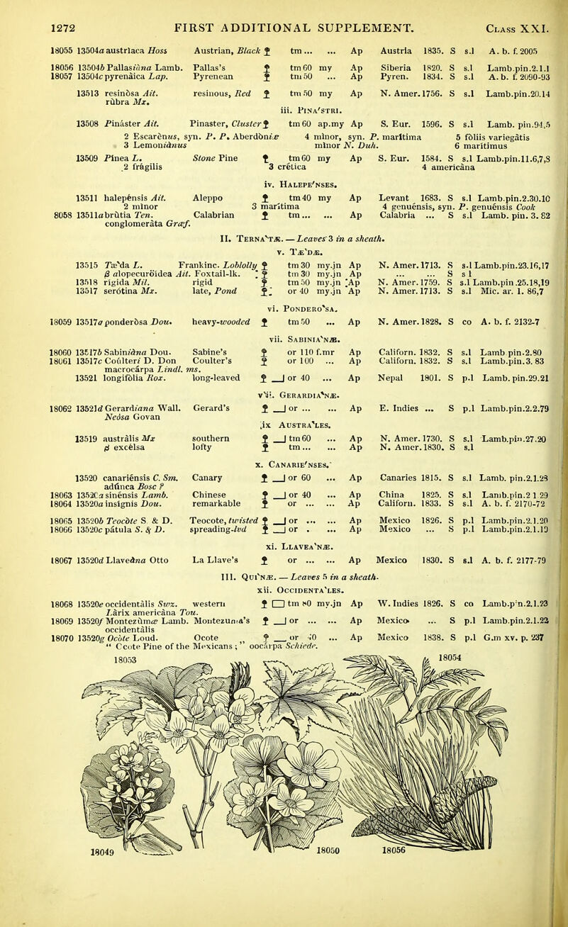 18055 13504a austrlaca Hoss Austrian, Black $ tm... Ap Austria 1835. S s.l A. b. f.2005 18056 135046 Pallasz««a Lamb. Pallas's f tm GO my Ap Siberia 1820. S S.I Lamb.pin.2.1.1 18057 13504c pyreniiica Lap. Pyrenean J tm50 Ap Pyren. 1834. s s.l A. b. £ 2090-93 13513 resindsa Ait. resinous, lied ^ tm50 my Ap N. Amer. 1756. s s.l Lamb.pin.20.14 rubra Mx. iii. Fina 'STRl. 13508 Pinaster Ait. Pinaster, Cluster f tm 60 ap.my Ap S. Eur. 1596. s s.l Lamb. pin.9!.5 2 Escarimus, syn. P. P. Aberdbn/^ 3 Lemoaidnus 4 minor, syn. P. marltima minor N. Duh. 5 fbliis variegatis 6 maritimus 13509 Plnea L. 2 fragilis 13511 halepensis Ait. 2 minor 8053 13511abrutia Ten. conglomerata Graf. Stone Pine Aleppo Calabrian t tmGO my 3 cretica iv. Halepe'nses. t tm40 my 3 marltima i tm Ap S. Eur. 1584. S s.l Lamb.pin.11.6,7,3 4 americana Ap Levant 1683. S s.l Lamb.pin.2.30.10 4 genuensis, syn. P. genuensis Cook Ap Calabria ... S s.l Lamb. pin. 3.82 II. Ternavt* Leaves 3 in a sheath. v. T^'DJi. 13515 Ta;Ma L. Frankinc. Loblolly J S alopecuroidea Ail. Foxtail-Ik. 13518 rigida Mil. 13517 serotina Mx. rigid late, Pond j tm30 my.jn Ap tin 30 my.jn Ap tin 50 my.jn *Ap or 40 my.jn Ap N. Amer. 1713. S s.l Lamb.pin.23.16,17 S s 1 N. Amer. 1759. S s.l Lamb.pin .25.18,19 N. Amer. 1713. S s.l Mic. ar. 1. 86,7 Vi. PONDERO'SA. 18059 13517ff ponderdsa Dou. heavy-woc-rfcd 1 tm 50 Ap N. Amer. 1828. S CO A. b. f. 2132-7 vii. SabiniaVje. 18060 135176 SabimflKa Dou. Sabine's i or 110 f.mr Ap Californ. 1832. s S.1 Lamb pin.2.80 18061 13517c Coulter; D. Don Coulter's 2 or 100 ... Ap Californ. 1832. s s.l Lamb.pin. 3. 83 macrocarpa Lindl. ms. 13521 longifolia Rox. long-leaved 1 _J or 40 ... Ap Nepal 1801. s p.l Lamb. pin.29.21 vV . Gerardia^n*. 18062 13521 <Z Gerard/ana Wall. Gerard's f _J or Ap E. Indies ... s p.l Lamb.pin.2.2.79 Nedsa Govan 'jx Austra'les. 13519 australis Mx southern 1 |tm60 Ap N. Amer. 1730. s s.1 Lamb.pin.27.20 fi excelsa lofty 1 tm Ap N. Amer. 1830. s s.1 x. Canarie'nses.' 13520 canadensis C. Sm. Canary 1 I or 60 Ap Canaries 1815. s s.1 Lamb. pin.2.1.23 adfmca Bosc ? 18063 1352Ca sinensis Lamb. Chinese ? lor 40 Ap China 1825. s s.1 Lamb.pin.2 1 29 18064 13520a insignis Dou. remarkable i or Ap Californ. 1833. s s.l A. b. f. 2170-72 18065 135206 Teocbte S & D. Teocote, twisted f _|or Ap Mexico 1826. s p.l Lamb.pin.2.1.20 18066 13520c patula S. Sf D. spreading.fod f _|or . Ap Mexico s p.l Lamb.pin.2.1.19 xi. Llavea'n^;. 18067 13520a'Llavearaa Otto La Llave's 1 or Ap Mexico 1830. s s.1 A. b. f. 2177-79 III. QuTnje. — Leaves 5 in a sheath. xii. Occidenta'les. J \Z3 tm *<0 my.jn Ap 18068 13520i? occidentalis Swz. western J.iirix americana Tou. 18069 13520/Montezuma Lamb. Montezuma's J | or ... occidentalis 18070 13520g Ocbte Loud. Ocote > f or i0  Ccote Pine of the Mexicans ;' oocai pa Schiede. W. Indies 1826. S co Lamb.p n.2.1.23 Ap Mexico* ... S p.l Lamb.pin.2.1.22, Ap Mexico 1838. S p.l G.m xv. p. 237 18054