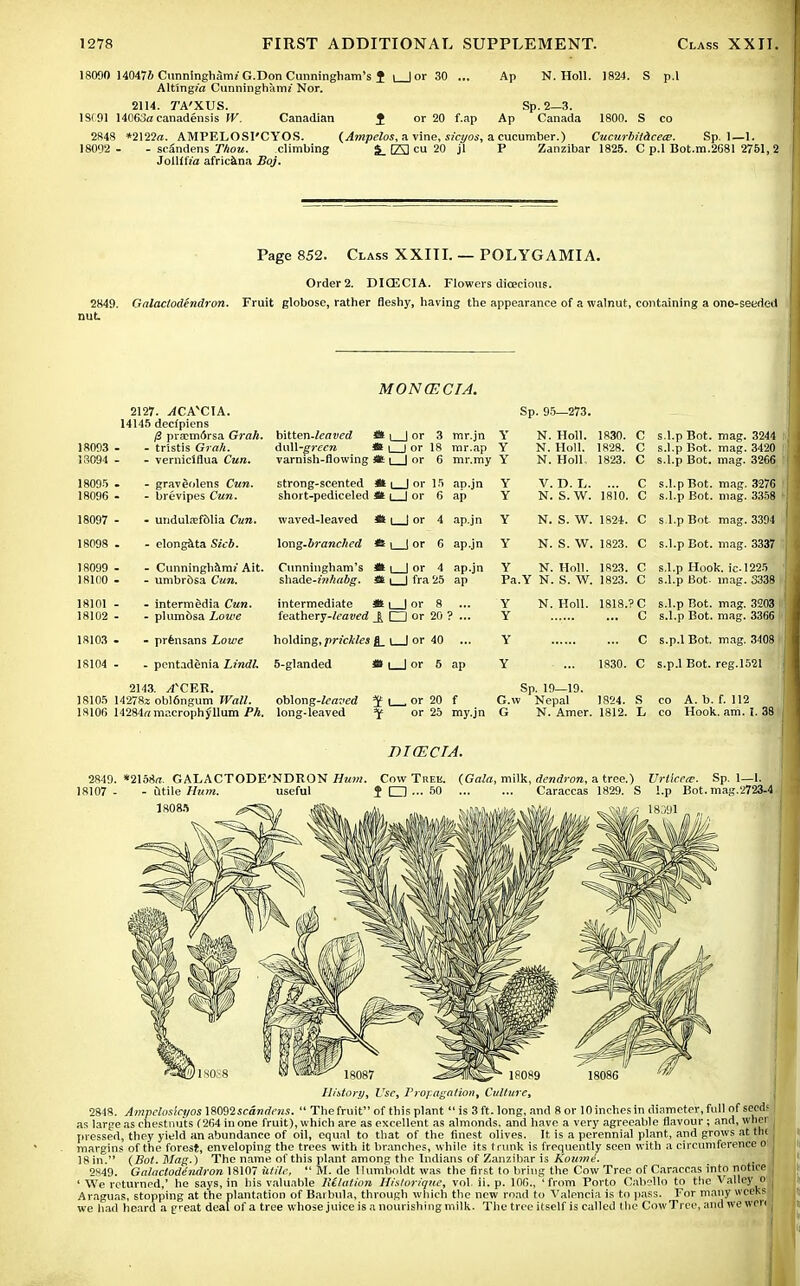18CW0 14047ft Cunningham! G.Don Cunningham's f i |or30 ... Ap N. Holl. 1824. S p.l Alting/'rt Cunningham! Nor. 2114. TA'XUS. Sp.2—3. 1S(91 14063a canadensis W. Canadian f or 20 f.ap Ap Canada 1800. S co 2848 *2122a. AMPELOSI'CYOS. (Ampelos, a vine, sicyos, a cucumber.) Cucurbit&cetE. Sp. 1—1. 18092 - - scandens Thou. climbing S_ E3 cu 20 jl P Zanzibar 1825. C p.l Bot.m.2681 2751, 2 JdlUfia africana Boj. Page 852. Class XXIII. — POLYGAMIA. Order 2. DICECIA. Flowers dioecious. 2849. Galactodendron. Fruit globose, rather fleshy, having the appearance of a walnut, containing a ono-seedeil nut MONGECIA. 2127. y(CAvCIA. Sp. 95—273. 14145 dectpiens 18093 - 1S094 - ft pra:m6rsa Grah. - tristis Grah. - verniclflua Cun. b\\.ter\-leaved <H i | or 3 a\\\\\-green • i I or 18 varnish-flowing * i | or 6 mr.jn mr.ap mr.my Y Y Y N. Holl. N. Holl. N. Holl, 1830. 1828. 1823. C c c s.l.p Bot. mag. 3244 s.l.p Bot. mag. 3420 s.l.p Bot. mag. 3266 18095 . 18096 - - gravSoIens Cun. - brevipes Cun. strong-scented tt \ | or 15 short-pediceled fife i | or 6 ap.jn ap Y Y V. D. L. N. S. W. 1810. C c s.l.p Bot. mag. 3276 s.l.p Bot. mag. 3358 18097 - - undutefdlia Cun. waved-leaved * i | or 4 ap.jn Y N. S. W. 1824. c S.l.p Bot mag. 3394 18098 . - elongata Sieb. \oug-branched * i I or 6 ap.jn Y N. S. W. 1823. c s.l.p Bot. mag. 3337 18099 - 18100 - - Cunningham? Ait. - umbrdsa Cun. Cunningham's it \ | or 4 shade-in/iabg. 46 i | fra 25 ap.jn ap Y Pa.Y N. Holl. N. S. W. 1823. 1823. C C s.l.p Hook, ic-1225 s.l.p Bot- inag. 3338 18101 - 18102 - - intermedia Cun. - plumdsa Lowe intermediate * i | or 8 ieathery-leaved □ or 20 ? ... Y Y N. Holl. 1818.?C ... C s.l.p Bot. mag. 3203 s.l.p Bot. mag. 3366 18103 - - prensans Lowe holding, prickles 1 1 or 40 Y c s.p.l Bot. mag. 3408 18104 - - pcntadenia LindL 5-glanded M \ | or 5 ap Y 1830. c s.p.l Bot. reg.1521 2143. ^CER. 18105 1427ta obl6ngum Wall. 18106 14284« mncrophyllum Ph. oblong-leaved $ 1 . or 20 long-leaved f or 25 f my.jn Sp. 19—19. G.w Nepal G N. Amer. 1824. 1812. s L co A. b. f. 112 co Hook. am. I. 38 DKECTA. 2849. *2I58/7. GALACTODE'NDRON Hum. Cow Trek. (Gala, milk, dendron, a tree.) Vrtkecc. Sp. 1—1. 18107- - utile Hum. useful $ O ... 50 Caraccas 1829. S !.p Bot. mag.2723-4 History, Use, Propagation, Culture, 2848. Ampclosicyos\mi scandens.  The fruit of this plant is 3 ft. long, and 8 or lOinchesin diameter, full of seedf as large as chestnuts (264 in one fruit), which are as excellent as almonds, and have a very agreeable flavour ; and, when pressed, they yield an abundance of oil, equal to that of the finest olives. It is a perennial plant, and grows at tb( margins of the forest, enveloping the trees with it branches, while its trunk is frequently seen with a circumference o! 18 in. (Pot. Mag.) The name of this plant among the Indians of Zanzibar is Koutne'. 2849. Galactodendron 18107 utile,  M. de Humboldt was the first to bring the Cow Tree of Caraccas into notice 'We returned,' he says, in his valuable lUlation Historique, vol. ii. p. 106.,'' from Porto Cabello to the Valley o Araguas, stopping at the plantation of Barbula, through which the new road to Valencia is to pass. For many weeks we had heard a feat deal of a tree whose juice is a nourishing milk. The tree itself is called the Cow Tree, and we wen