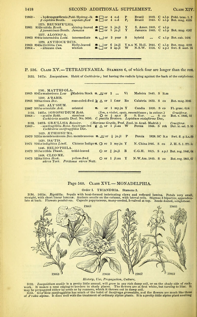 19860 - - hydrangea;f6rmis Pohl. Hydrng.-lk «ll I or /3 capitdtaBenth. capUate-flwd •□or 1375. BRUNSFE' LSI A. 19861 8929enftida Benth. shining-leaved * O or (Sjamaicensis Benth. Jamaica 31 I I or 1377. ALONSOvA. 19862 8940a intermedia Lodd. intermediate a. | | or 1378. ANTHOCE'RCIS. 19863 8943oilicif61ia Cun. Holly-leaved * i lor 19864 - - albicans Cun. whitish H| | or 4 o.d P Brazil 1840. C s.l.p Pohl. bras. 1. 7 4 o.d Pj Brazil 1840. c S.l.p Bot. mag. 4209 5 jn.jl Y S. Amer. 1840. c s.l.p 5 jn.jl Y Jamaica 1840. c s.l.p Bot. mag. 4287 2 year S hybrid c s.l.p Bot. cab. 1456 6 jn.jl Y.r.g K. Hull. 1844. c s.l.p Bot. mag. 4200 2 ap.jl W N.S.W. 1824. c s.p.l Swt. fl. aust. 16 P. 536. Class XV. —TETRAD YN AMI A. Stamens 6, of which four are longer than the rest. 3132. 1407a. lonopsidium. Habit of Cochlearia ; but having the radicle lying against the back of the cotyledons. 3132 19868 - 3133 19869 ■ Bot. mag. 3246 Fl. graec. 624 Cruciferiz. Bot. r. 1846, 51 1381. MATTHI>OLA. 19865 8947a maderensis Low (Madeira Stock a. _AJ or 2 ... Vi Madeira 1840. S lt.m 1390. A'RABIS. 19866 9001a rosea Dec. rose-colrd-flwd Jfc A or 1 f.mr Ro Calabria 1832. S c< 1401. ALY'SSUM. 19867 9055aorientale Aid. oriental a. or 1 my.jn Y Candia 1820. S cc 1407a. lONOPSI'DlUM Rchb. {Ion, a violet, opsis, resemblance; in colour.) - acaule Rchb. stemless O or J ap.o B S. Eur. ... S cc Cochlearia aca&lis Desf. No. 9096. C. pusilla Brotero. Lepidium viol&fdrme Dec, 14076. GRjE^LLSIA Boissier. (Mariano Grails, Prof. Zool. in Acad. Madrid.) , - saxifragifblia Boiss. Saxifrage-lvd £ A or 1 jl.au W Persia 1844. S rck Del.ic. sel Cochledria saxifragijblia Dec. 1429. iETHIONE^MA. 19870 9232amembranaceum Dec. membraneous tt. .AJ or J jn.jl P 1430. ISAVTIS. 19871 9241a indigotica Lindl. Chinese Indigo a. Q) ec 2 my.jn Y 1446. HELIO'PHILA. 19872 9315atrlfida Thunb. trifid-leaved O or f jn.jl B 1448. CLEO'ME. 19873 9334a lOtea Hook. yellow-flwd O or 1 jl.au Y adrea Torr. Peritoma aurea Nutt. Persia 1828. SC lt.s N. China 1846. S co C.G.H. 1819. S s.p.l N.W.Am. 1840. S co Page 560. Class XVI. — MONADELPHIA. Order I. TRIANDRIA. Stamens 3. 3134. 1452a. Rigidella. Sepals with boat-formed imbricating claws and reflexed lamina. Petals very small, straight, with short linear laminae. Anthers sessile on the column, with lateral cells. Stigmas 3 bipartite, appendicu- late at back. Flowers pendulous. Capsule papyraceous, many-seeded, 3-valved at top. Seeds dotted, subglobose. History, Use, Propagation, Culture, 3132. lonopsidium acadle is a pretty little annual, will grow in any rich damp soil, or on the shady side of rock- work. It makes a neat edging to borders in shady places. The flowers are at first white, but turning to lilac. It may be propagated either by seeds or by runners, which it throws out in damp soil. 3133. Grte^llsia saxifragtfd/ia has much of the habit of Saxijraga granuldta, and the flowers are much like those of A'rabis alp'ma. It does well with the treatment of ordinary alpine plants. It is a pretty little alpine plant smelling