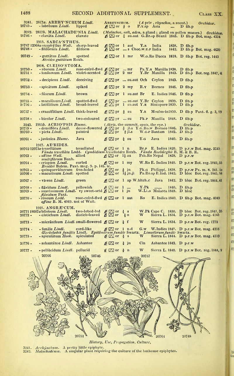 3241. 2817a. ARRHY'NCHUM Linda. 20745 - . labrosum Lindl. lipped Orchiiece. Arrhynchom. (A priv , rhynckos, a snout.) £ 23 or | o P.Y.sp Asia ... D fib.p 3242. 28176. MALACHADE^NI A Lindl. (Malachos, soft, aden, a gland ; gland on pollen masses.) Orchldete. 20746 - - clavata Lindl. clavate £ 23 or f su.aut G.Br.sp Brazil 1843. D fib.p Bot mag. 4334 ' 1915. SARCA'NTHUS. 20747 I2968aoxyphyllus Wall, sharp-leaved £ 23 or 1 aut Y.R India 1838. D fib.p 20748 - - filifdrmis Lindl. filiform 20749 - - guttatus Lindl. spotted Aerides guttdlum Roxb. 2818. CI.EISO'STOMA. £ 23 or ... s Choc.vv.Y.p India 1842. D fib.p Bot. mag. 4639 £23 or 1 mr W.o.Ro Dacca 1818. D fib.p Bot. reg. 1443 - roseum Lindl. -ionosmum Lindl. - decipiens Lindl. - spieatum Lindl. -fuscum Lindl. - macul5sumL*'rtc7. • latifdlium Lindl. rose-colrd-flwd £ 23 pr violet-scented £ 23 pr ... mr 2 mr Pa.Y.R Manilla 1838. D fib.p Y.Br Manilla 1843. D fib.p Bot. reg. 1847,41 deceiving spiked brown spotted-flwd broad-leaved £23pr £ 23 pr £ 23 pr ... su.aut Och Ceylon 1843. D fib.p 2 my R.Y Borneo 1846. D fib.p 1 su.aut Br E. Indies 1846. D fib.p £23pr ... su.aut Y.Br Ceylon 1839. D fib.p £ 23 pr 1 si).aut Y.R Sincapore 1839. D fib.p 20750 - 20751 - 20702 - 20753 - 20754 - 20755 - 2(756 - 20757 - 20758 - 3243. 1915ft. ACRIO'PSIS Blume. 20759 - - densiflora Lindl. 20760 - - picta Lindl. 20761 - - javanica Blume. Java 1917. AE'RIDES. 20762 12973rttessellatum tessellated £ 23 or 1 n Br.p E. Indies 1820. D p.r.w Bot. mag. 2245 Vdnda tesselldla Lodd. Cymbidium tcsselloldes Roxb. Vanda Roxburghii B. M. & B. R. -afflnelCaM. allied £ [Z3 or 1| au Psb.Ro Nepal 1838. D p.r.w - crassifblium Lindl. thick-leaved - bicolor Lindl. two-coloured £23pr £23 pr Y.R Moulmeinl850. D fib p Paxt. fl. g. 3, 99 Pk.p Manilla 1848. D fib.p (AkriSj the summit, opsis, the eye.) OrchtdetE. dense-flowered £ 23 pr f jl.s Y.G.Ro.w Borneo 1846. D fib.p painted £ 23 pr i jl.s W.g.p Bantam 1842. D fib.p £ 23 pr i su Y.g Java 1840. D fib.p 20763 - 20764 - 20765 - 20766 - 20767 • 20768 ■ 20769 - 20770 • multiflbrum Roxb. - crispum Lindl. curled £ CZ3 or Brookii Batem. Paxt. mag. 9. p. 145. ic. - quinquevulnerum five-holed £ 23 or - maculdsum Lindl. spotted - vlrens Lindl. green 1 my W.Ro E. Indies 1840. D p.r.w Bot. reg. 1842,55 i jn Pk.G Philippi. 1838. D p.r.w Px. m. 8. 241. \3 £23 or l|jn.jl Pa.Ro.spE.lnd. 1842. D bloc Bot. reg. 1845,58 £ 23 or 1 ap W.bltch.c Java 1842. D bloc Bot. reg. 1844,41 - flavidum Lindl. yellowish £ 23 or 1 ... - suavissimum Lindl. vy sweet-sctd £ 23 or 1 jn flavidum Paxt. - r&seum Lodd. rose-colrd-flwd 23 or 1 aut afline B. M. 4049. not of Wall. 1921. ANGR^CUM. 20771 18007abftobum Lindl. two-lobed-lvd fi [Al or 20772 20773 - 20774 20775 - 20776 - 20777 - dfstichum Lindl. distich-leaved £ 23 or Jo -micranthum Lindl. small-flowered £ 23 or J f - funale Lindl. cord-like Y.Pk 1840. D fib.p W.Li.o Malacca 184S. D bloc Ro E. Indies 1840. D fib.p Bot. mag. 4049 W.PkCapeC. 1830. D bloc Bot. reg. 1841,35 W Sierra L. 1834. D p.r.w Bot. mag. 4145 W Sierra L. 1834. D p.r.w Bot. reg. 1772 G.w W.Indies 1845. D p.r.w Bot. mag. 42S5 jgfAlor 1 n.d (Ecedelades funalis Lindl. Epidendrum funale Swartz. Limodbrum funale Swaitz. - apiculatum Hook, apiculated £ 23 or J s W Sierra L. 1844. D p.r.w Bot. mag. 4159 • ashantense Lindl. Ashantee - pellucidum Lindl. pellucid 20766 £ 23 or If 23 or 20746 Cin Ashantee 1842. D p.r.w W Sierra L. 1840. D p.r.w Bot. reg. 1844, 2 20757 3241. Arrhynchum. 3242. ilalachadinia. History, Use, Propagation, Culture, A pretty little epiphyte. A singular plant requiring the culture of the hothouse epiphytes.