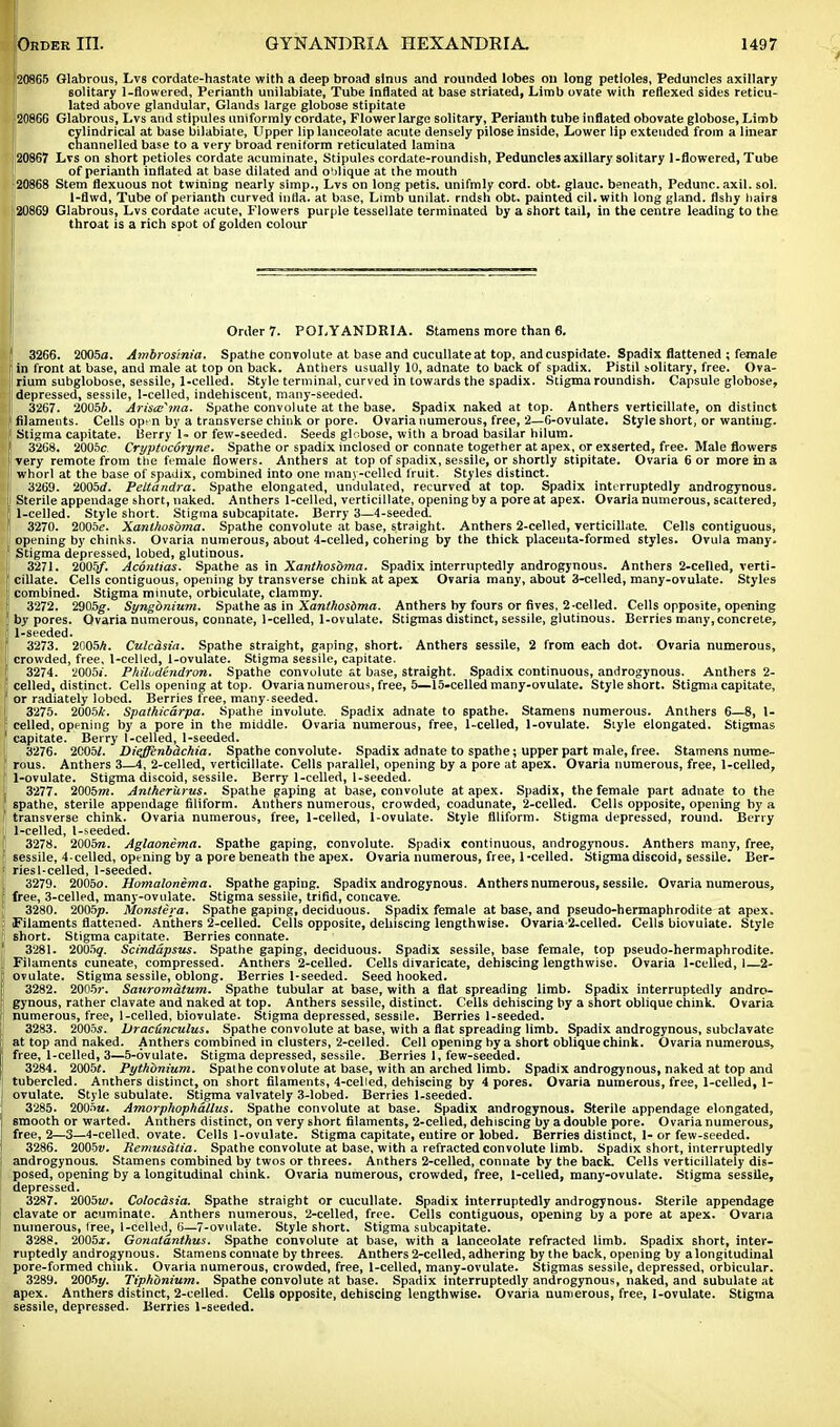 [20865 Glabrous, Lvs cordate-hastate with a deep broad sinus and rounded lobes on long petioles, Peduncles axillary solitary 1-flowered, Perianth unilabiate, Tube inflated at base striated, Limb ovate with reflexed sides reticu- lated above glandular, Glands large globose stipitate j 20866 Glabrous, Lvs and stipules uniformly cordate, Flower large solitary, Perianth tube inflated obovate globose, Limb cylindrical at base bilabiate, Upper lip lanceolate acute densely pilose inside, Lower lip extended from a linear channelled base to a very broad reniform reticulated lamina 20867 Lvs on short petioles cordate acuminate, Stipules cordate-roundish, Peduncles axillary solitary 1-flowered, Tube of perianth inflated at base dilated and oblique at the mouth 20868 Stem flexuous not twining nearly simp., Lvs on long petis. unifmly cord. obt. glauc. beneath, Pedunc.axil. sol. 1-flwd, Tube of perianth curved inlla. at base, Limb unilat. rndsh obt. painted cil. with long gland, fishy hairs 120869 Glabrous, Lvs cordate acute, Flowers purple tessellate terminated by a short tail, in the centre leading to the throat is a rich spot of golden colour Order 7. POLYANDRIA. Stamens more than 6. ' 3266 . 2005o. Ambrosinia. Spathe convolute at base and cucullate at top, and cuspidate. Spadix flattened ; female f in front at base, and male at top on back. Anthers usually 10, adnate to back of spadix. Pistil solitary, free. Ova- |l rium subglobose, sessile, 1-celled. Style terminal, curved in towards the spadix. Stigma roundish. Capsule globose, ! depressed, sessile, I-celled, indehiscent, many-seeded. 3267 . 2005&. Arisat'ma. Spathe convolute at the base. Spadix naked at top. Anthers vertieillate, on distinct [ filaments. Cells open by a transverse chink or pore. Ovaria numerous, free, 2—6-ovulate. Style short, or wanting, f Stigma capitate. Berry 1- or few-seeded. Seeds globose, with a broad basilar hilum. It J 3268. 2005c Cryptvcbryne. Spathe or spadix inclosed or connate together at apex, or exserted, free. Male flowers [ very remote from the female flowers. Anthers at top of spadix, sessile, or shortly stipitate. Ovaria 6 or more in a |i whorl at the base of spadix, combined into one many-celled fruit. Styles distinct. j 3269. 2005<f. Peltandra. Spathe elongated, undulated, recurved at top. Spadix interruptedly androgynous, i Sterile appendage short, naked. Anthers 1-celled, vertieillate, opening by a pore at apex. Ovaria numerous, scattered, 1-celled. Style short. Stigma subcapitate. Berry 3—4-seeded. f 3270. 2005e. Xanthosbma. Spathe convolute at base, straight. Anthers 2-celled, vertieillate. Cells contiguous, II opening by chinks. Ovaria numerous, about 4-celled, cohering by the thick placeuta-formed styles. Ovula many. Stigma depressed, lobed, glutinous, t 3271. 2005/. Acontias. Spathe as in Xanthosbma. Spadix interruptedly androgynous. Anthers 2-celled, verti- ; cillate. Cells contiguous, opening by transverse chink at apex Ovaria many, about 3-celled, many-ovulate. Styles combined. Stigma minute, orbiculate, clammy. i 3272 . 2905g. Syngbnium. Spathe as in Xanthosbma. Anthers by fours or fives, 2-celled. Cells opposite, opening by pores. Ovaria numerous, connate, 1-celled, 1-ovulate. Stigmas distinct, sessile, glutinous. Berries many, concrete, 1-seeded. i 3273. 20O5A. Culcasia. Spathe straight, gaping, short. Anthers sessile, 2 from each dot. Ovaria numerous, crowded, free, 1-celled, 1-ovulate. Stigma sessile, capitate. 3274. 2005i. Philudzndron. Spathe convolute at base, straight. Spadix continuous, androgynous. Anthers 2- j celled, distinct. Cells opening at top. Ovaria numerous, free, 5—15-celled many-ovulate. Style short. Stigma capitate, or radiately lobed. Berries free, many-seeded. I 3275. 2005*. Spathicarpa. Spathe involute. Spadix adnate to spathe. Stamens numerous. Anthers 6—8, 1- celled, opening by a pore in the middle. Ovaria numerous, free, 1-celled, 1-ovulate. Style elongated. Stigmas 1 capitate. Berry 1-celled, 1-seeded. 3276. 2005/. Diqffenbilchia. Spathe convolute. Spadix adnate to spathe; upper part male, free. Stamens nume- rous. Anthers 3—4, 2-celled, vertieillate. Cells parallel, opening by a pore at apex. Ovaria numerous, free, 1-celled, 1-ovulate. Stigma discoid, sessile. Berry 1-celled, 1-seeded. 3277. 2005m. Antkerurus. Spathe gaping at base, convolute at apex. Spadix, the female part adnate to the spathe, sterile appendage filiform. Anthers numerous, crowded, coadunate, 2-celled. Cells opposite, opening by a [ transverse chink. Ovaria numerous, free, 1-celled, 1-ovulate. Style filiform. Stigma depressed, round. Berry I 1-celled, l-seeded. 3278 . 2005k. Aglaonema. Spathe gaping, convolute. Spadix continuous, androgynous. Anthers many, free, ! 6essile, 4-celled, opening by a pore beneathi the apex. Ovaria numerous, free, 1-celled. Stigma discoid, sessile. Ber- t riesl-celled, 1-seeded. 3279. 2005o. Homalonema. Spathe gaping. Spadix androgynous. Anthers numerous, sessile. Ovaria numerous, | free, 3-celled, many-ovulate. Stigma sessile, trifid, concave. 3280 . 2005jo. Monstera. Spathe gaping, deciduous. Spadix female at base, and pseudo-hermaphrodite at apex. ; Filaments flattened. Anthers 2-celled. Cells opposite, dehiscing lengthwise. Ovaria 2-celled. Cells biovulate. Style i short. Stigma capitate. Berries connate. I 3281. 2005g. Scindapsus. Spathe gaping, deciduous. Spadix sessile, base female, top pseudo-hermaphrodite. Filaments cuneate, compressed. Anthers 2-celled. Cells divaricate, dehiscing lengthwise. Ovaria 1-celled, 1—2- f ovulate. Stigma sessile, oblong. Berries 1-seeded. Seed hooked. 3282. 2005»\ Sauromatum. Spathe tubular at base, with a flat spreading limb. Spadix interruptedly andro- f gynous, rather clavate and naked at top. Anthers sessile, distinct. Cells dehiscing by a short oblique chink. Ovaria I numerous, free, 1-celled, biovulate. Stigma depressed, sessile. Berries 1-seeded. [ 3283. 2005s. Dracilnculus. Spathe convolute at base, with a flat spreading limb. Spadix androgynous, subclavate at top and naked. Anthers combined in clusters, 2-celled. Cell opening by a short oblique chink. Ovaria numerous, | free, 1-celled, 3—5-6vulate. Stigma depressed, sessile. Berries 1, few-seeded. 3284 . 2005t. Pythbnium. Spathe convolute at base, with an arched limb. Spadix androgynous, naked at top and tubercled. Anthers distinct, on short filaments, 4-celled, dehiscing by 4 pores. Ovaria numerous, free, 1-celled, t- | ovulate. Style subulate. Stigma valvately 3-lobed. Berries 1-seeded. 3285. 2005a. Amorphophallus. Spathe convolute at base. Spadix androgynous. Sterile appendage elongated, i smooth or warted. Anthers distinct, on very short filaments, 2-celled, dehiscing by a double pore. Ovaria numerous, j free, 2—3—4-celled, ovate. Cells 1-ovulate. Stigma capitate, entire or lobed. Berries distinct, 1-or few-seeded. 3286. 2005v. Remusatia. Spathe convolute at base, with a refracted convolute limb. Spadix short, interruptedly androgynous. Stamens combined by twos or threes. Anthers 2-celled, connate by the back. Cells verticillately dis- posed, opening by a longitudinal chink. Ovaria numerous, crowded, free, 1-celled, many-ovulate. Stigma sessile, depressed. 3287. 2005w. Cotocdsia. Spathe straight or cucullate. Spadix interruptedly androgynous. Sterile appendage clavate or acuminate. Anthers numerous, 2-celled, free. Cells contiguous, opening by a pore at apex. Ovaria numerous, free, 1-celled, 6—7-ovulate. Style short. Stigma subcapitate. 3288. 2005jr. Gonatanthus. Spathe convolute at base, with a lanceolate refracted limb. Spadix short, inter- ruptedly androgynous. Stamens connate by threes. Anthers 2-celled, adhering by the back, opening by a longitudinal pore-formed chink. Ovaria numerous, crowded, free, 1-celled, many-ovulate. Stigmas sessile, depressed, orbicular. 3289. 2005y. Tiphbnium. Spathe convolute at base. Spadix interruptedly androgynous, naked, and subulate at apex. Anthers distinct, 2-celled. Cells opposite, dehiscing lengthwise. Ovaria numerous, free, 1-ovulate. Stigma sessile, depressed. Berries 1-seeded.