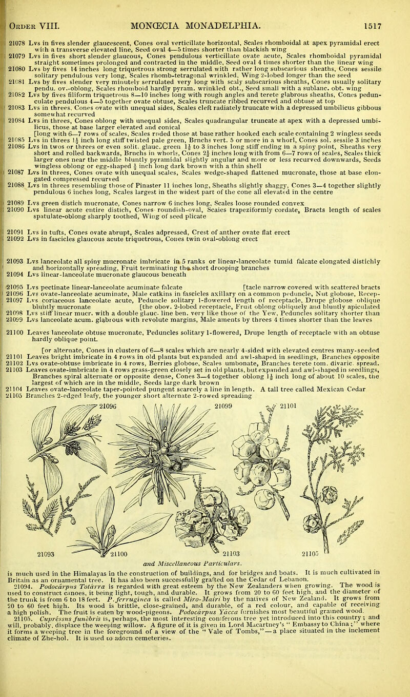 21078 Lvs in fives slender glaucescent, Cones oval verticillate horizontal. Scales rhomboidal at apex pyramidal erect with a transverse elevated line, Seed oval 4—5 times shorter than blackish wing 21079 Lvs in fives short slender glaucous, Cones pendulous verticillate ovate acute, Scales rhomboidal pyramidal straight sometimes prolonged and contracted in the middle, Seed oval 4 times shorter than the linear wing 21080 Lvs by fives 14 inches long triquetrous strong serrulated with rather long subscarious sheaths, Cones sessile solitary pendulous very long, Scales rhomb-tetragonal wrinkled. Wing 2-lnbed longer than the seed 21081 Lvs by fives slender very minutely serrulated very long with scaly subscarious sheaths, Cones usually solitary pendu. ov.-oblong, Scales rhomboid hardly pyram. wrinkled obt., Seed small with a sublanc. obt. wing 210&2 Lvs by fives filiform triquetrous 8—10 inches long with rough angles and terete glabrous sheaths. Cones pedun- culate pendulous 4—5 together ovate obtuse, Scales truncate ribbed recurved and obtuse at top 21083 Lvs in threes. Cones ovate with unequal sides, Scales cleft radiately.truncate with a depressed umbilicus gibbous somewhat recurved 210S4 Lvs in threes, Cones oblong with unequal sides, Scales quadrangular truncate at apex with a depressed umbi- licus, those at base larger elevated and conical [long with 6—7 rows of scales, Scales mded those at base rather hooked each scale containing 2 wingless seeds 21085 Lvs in threes inch long stiff twisted pale green, Brnchs vert. 5 or more in a whorl, Cones sol. sessile 3 inches 21086 Lvs in twos or threes or even solit. glauc. green 1| to 3 inches long stiff ending in a spiny point, Sheaths very short and rolled backwards, Brnchs in whorls, Cones 2| inches long with from 6—7 rows of scales, Scales thick larger ones near the middle bluntly pyramidal slightly angular and more or less recurved downwards, Seeds wingless oblong or egg-shaped £ inch long dark brown with a thin shell 21087 Lvs in threes. Cones ovate with unequal scales, Scales wedge-shaped flattened mucronate, those at base elon- gated compressed recurved 21088 Lvs in threes resembling those of Pinaster II inches long, Sheaths slightly shaggy, Cones 3—4 together slightly pendulous 6 inches long, Scales largest in the widest part of the cone all elevattd in the centre 21089 Lvs green distich mucronate, Cones narrow 6 inches long. Scales loose rounded convex 21090 Lvs linear acute entire distich, Cones roundish-oval, Scaies trapeziformly cordate, Bracts length of scales spatulate-oblong sharply toothed, Wing of seed plicate 21091 Lvs in tufts. Cones ovate abrupt, Scales adpressed, Crest of anther ovate flat erect 21092 Lvs in fascicles glaucous acute triquetrous, Cones twin oval-oblong erect 21093 Lvs lanceolate all spiny mucronate imbricate in 5 ranks or linear-lanceolate tumid falcate elongated distichly and horizontally spreading, Fruit terminating th&.short drooping branches 21094 Lvs linear-lanceolate mucronate glaucous beneath 21095 Lvs pectinate linear-lanceolate acuminate falcate [tacle narrow covered with scattered bracts 21096 Lvs ovate-lanceolate acuminate, Male catkins in fascicles axillary on a common peduncle, Nut globose, Kecep- 21097 Lvs coriaceous lanceolate acute, Peduncle solitary 1-fiowered length of receptacle, Drupe globose oblique bluntly mucronate [the obov. 2-lobed receptacle, Fruit oblong obliquely and bluntly apiculated 21098 Lvs stiff linear mucr. with a double glauc. line ben. very like those of the Yew, Peduncles solitary shorter than 21099 Lvs lanceolate acum. glabrous with revolute margins, Male aments by threes 4 times shorter than the leaves 21100 Leaves lanceolate obtuse mucronate, Peduncles solitary 1-flowered, Drupe length of receptacle with an obtuse hardly oblique point. [or alternate, Cones in clusters of 6—8 scales which are nearly 4-sided with elevated centres many-seeded 21101 Leaves bright imbricate in 4 rows in old plants but expanded and awl-shaped in seedlings, Branches opposite 21102 Lvs ovate-obtuse imbricate in 4 rows, Berries globose, Scales umbonate, Branches terete torn, divaric. spread. 21103 Leaves ovate-imbricate in 4 rows grass-green closely set in old plants, but expanded and awl-shaped in seedlings, Branches spiral alternate or opposite dense, Cones 3—4 together oblong 1^ inch long of about 10 scales, the largest of which are in the middle, Seeds large dark brown 21104 Leaves ovate-lanceolate taper-pointed pungent scarcely a line in length. A tall tree called Mexican Cedar 21105 Branches 2-edged leafy, the younger short alternate 2-rowed spreading and Miscellaneous Particulars. is much used in the Himalayas in the construction of buildings, and for bridges and boats. It is much cultivated in Britain as an ornamental tree. It has also been successfully grafted on the Cedar of Lebanon. 21094. Podocarpus Tolarra is regarded with great esteem by the New Zealanders when growing. The wood is used to construct canoes, it being light, tough, and durable. It grows from 20 to GO feet high, and the diameter of the trunk is from 6 to 18 feet. P.ferrugzriea is called Miro-Mairi by the natives of New Zealand. It grows from 20 to 60 feet high. Its wood is brittle, close-grained, and durable, of a red colour, and capable of receiving a high polish. The fruit is eaten by wood-pigeons. Podocarpus Yacca furnishes most beautiful grained wood. 21105. Cupressus funibris is, perhaps, the most interesting coniferous tree yet introduced into this country ; and will, probably, displace the weeping willow. A figure of it is given in Lord Macartney's  Embassy to China; where it forms a weeping tree in the foreground of a view of the  Vale of Tombs, —a place situated in the inclement climate of Zhe-hol. It is used co adorn cemeteries.