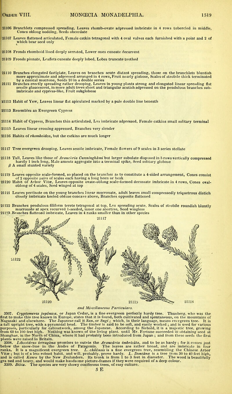 21106 Branchlets compressed spreading. Leaves rhomb-ovate adpressed imbricate in 4 rows tubercled in middle, Cones oblong nodding, Seeds obcordate 21107 Leaves flattened articulated, Female catkin tetragonal with 4 oval valves each furnished with a point and 2 of which bear seed only 21108 Fronds rhomboid lined deeply serrated, Lower ones cuneate decurrent 21109 Fronds pinnate, Leaflets cuneate deeply lobed, Lobes truncate toothed 21110 Branches elongated fastigiate, Leaves on branches acute distant spreading, those on the branchlets bluntish more approximate and adpressed arranged in 4 rows, Fruit nearly globose, Scales of strobile thick terminated by a conical mucrone, Seeds 10 in a double series 21111 Branches erectly spreading rather drooping, Leaves in young plants strong and elongated linear spreading flat sessile glaucescent, in more adult trees short and triangular acutish adpressed on the pendulous branches sub- imbricate and cypress-like, Fruit subglobose 21112 Habit of Yew, Leaves linear flat apiculated marked by a pale double line beneath 21113 Resembles an Evergreen Cypress 21114 Habit of Cypress, Branches thin articulated, Lvs imbricate adpressed, Female catkins small solitary terminal 21115 Leaves linear crossing appressed, Branches very slender 21116 Habits of rhotnboidea, but the catkins are much longer 21117 Tree evergreen drooping, Leaves sessile imbricate, Female flowers of 9 scales in 3 series stellate 21118 Tall, Leaves like those of Araucaria Cunninghdmi but larger subulate disposed in 5 rows vertically compressed hardly 1 inch long, Male aments aggregate into a terminal spike, Seed solitary globose /3 A small stunted variety 21119 Leaves opposite scale-formed, so placed on the branches as to constitute a 4-sided arrangement, Cones consist of 2 opposite pairs of scales each having a long horn or beak 21120 Habit of Arbor Vitae, Leaves opposite ovate-oblong scale-formed decussate imbricate in 4 rows, Cones oval- oblong of 4 scales, Seed winged at top 21121 Leaves pectinate on the young branches linear mucronate, adult leaves small compressedly triquetrous distich closely imbricate keeled obtuse concave above, Branches opposite flattened 21122 Branches pendulous filiform terete tetragonal at top, Lvs spreading acute. Scales of strobile roundish bluntly mucronate at apex recurved l-seeded, inner one abortive, Seed wingless 2112.1 Branches flattened imbricate, Leaves in 4 ranks smaller than in other species and Miscellaneous Particulars. 3307. Cryptomeria japonica, or Japan Cedar, is a fine evergreen perfectly hardy tree. Thunberg, who was the first to make this tree known in Europe, states that it is found, both cultivated and spontaneous, on the mountains of Nagasaki and elsewhere. The Japanese call it San, or Sugi ; which, in their language, means evergreen tree. It is a tall upright tree, with a pyramidal head. The timber is said to be soft, and easily worked ; and is used for various purposes, particularly for cabinetwork, among the Japanese. According to Siebold, it is a majestic tree, growing from 60 to 100 feet high. Nothing was known of the living plant, until Mr. Fortune succeeded in obtaining seed at Shanghae, in the North of China, where it had probably been introduced from Japan ; and from these seeds the first plants were raised in Britain. 3308. Libocedrus tetragbna promises to outvie the Araucdria imbriedta, and to be as hardy ; for it comes just below the snow-line in the Andes of Patagonia. The leaves are rather broad, and are imbricate in four ranks. It is a magnificent evergreen tree. L. chilensis is a fine evergreen tree, resembling the Chinese Arbor Vita? ; but is of a less robust habit, and will, probably, prove hardy. L. Doniana is a tree Irom 30 to 40 feet high, and is called Kawa by the New Zealanders. Its trunk is from 1 to 3 feet in diameter. The wood is beautifully gra ned and heavy, and would make handsome picture-frames if they were required of a deep colour. .3309. liidta. The species are very showy coniferous trees, of easy culture. 5 E