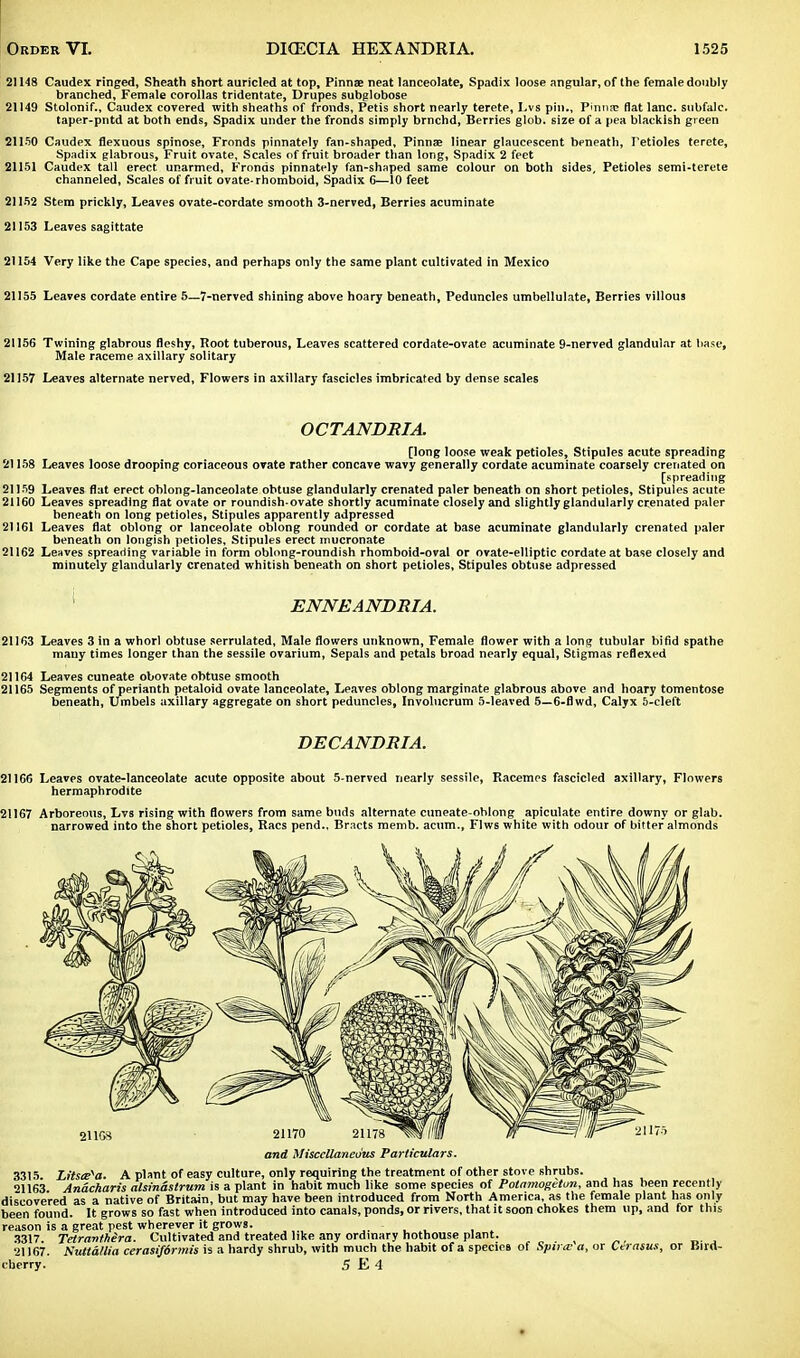 21148 Caudex ringed, Sheath short auricled at top, Pinnae neat lanceolate, Spadix loose angular, of the female doubly branched, Female corollas tridentate, Drupes subglobose 21149 Stolonif., Caudex covered with sheaths of fronds, Petis short nearly terete, Lvs pin., Pinna? flat lane, subfalc. taper-pntd at both ends, Spadix under the fronds simply brnchd, Berries glob, size of a pea blackish green 21150 Caudex flexuous spinose, Fronds pinnately fan-shaped. Pinna; linear glaucescent beneath, Petioles terete, Spadix glabrous, Fruit ovate. Scales of fruit broader than long, Spadix 2 feet 21151 Caudex tall erect unarmed, Fronds pinnately fan-shaped same colour on both sides. Petioles semi-terete channeled, Scales of fruit ovate-rhomboid, Spadix 6—10 feet 21152 Stem prickly, Leaves ovate-cordate smooth 3-nerved, Berries acuminate 21153 Leaves sagittate 21154 Very like the Cape species, and perhaps only the same plant cultivated in Mexico 21155 Leaves cordate entire 5—7-nerved shining above hoary beneath, Peduncles umbellulate, Berries villous 21156 Twining glabrous fleshy, Root tuberous, Leaves scattered cordate-ovate acuminate 9-nerved glandular at base, Male raceme axillary solitary 21157 Leaves alternate nerved, Flowers in axillary fascicles imbricated by dense scales OCTANDRIA. [long loose weak petioles, Stipules acute spreading 21158 Leaves loose drooping coriaceous ovate rather concave wavy generally cordate acuminate coarsely crenated on [spreading 21159 Leaves flat erect oblong-lanceolate obtuse glandularly crenated paler beneath on short petioles, Stipules acute 21160 Leaves spreading flat ovate or roundish-ovate shortly acuminate closely and slightly glandularly crenated paler beneath on long petioles, Stipules apparently adpressed 21161 Leaves flat oblong or lanceolate oblong rounded or cordate at base acuminate glandularly crenated paler beneath on longish petioles, Stipules erect mucronate 21162 Leaves spreading variable in form oblong-roundish rhomboid-oval or ovate-elliptic cordate at base closely and minutely glandularly crenated whitish beneath on short petioles, Stipules obtuse adpressed ENNEANDRIA. 21163 Leaves 3 in a whorl obtuse serrulated, Male flowers unknown, Female flower with a long tubular bifid spathe many times longer than the sessile ovarium, Sepals and petals broad nearly equal, Stigmas reflexed 21164 Leaves cuneate obovate obtuse smooth 21165 Segments of perianth petaloid ovate lanceolate, Leaves oblong marginate glabrous above and hoary tomentose beneath, Umbels axillary aggregate on short peduncles, Involucrum 5-leaved 5—6-flwd, Calyx 5-cleft DECANDRIA. 21166 Leaves ovate-lanceolate acute opposite about 5-nerved nearly sessile, Racemes fascicled axillary, Flowers hermaphrodite 21167 Arboreous, Lvs rising with flowers from same buds alternate cuneate-ohiong apiculate entire downy or glab. narrowed into the short petioles, Racs pend.. Bracts memb. acum., Flws white with odour of bitter almonds and Miscellaneous Particulars. 3315 Litsa^a. A plant of easy culture, only requiring the treatment of other stove shrubs. •U163 Anacharis alsinaslrum is a plant in habit much like some species of Potamogetun, and has been recently discovered as a native of Britain, but may have been introduced from North America, as the female plant has only been found. It grows so fast when introduced into canals, ponds, or rivers, that it soon chokes them up, and for this reason is a great pest wherever it grows. - 3317. Tetranthera. Cultivated and treated like any ordinary hothouse plant. 21167. Suttallia cerasifdrmis is a hardy shrub, with much the habit of a species of Spiral a, or Cerasus, or Bird- cberry. 5 E 4