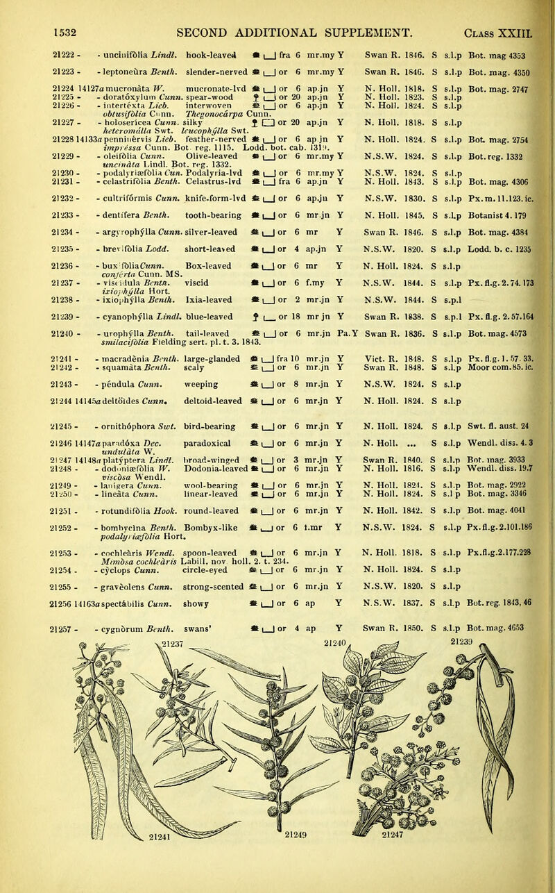 21222 - - uncinif&Iia Lindl. hook-leaved » i 1 fra G mr.my Y 21223 - - leptoneura Benth. slender-nerved it i | or 6 mr.my Y 21224 14127amucronata W. mucronate-lvd St \ | or 6 ap.jn Y 21225- - doratoxyluin Cunn. spear-wood f | ) or 20 ap.jn Y 21226- - intertexta Lieb. interwoven it | ] or 6 ap-jn Y obtusifblia d nn. Thegonocdrpa Cunn. 21227 - - holosericea Cunn. silky J Q or 20 ap.jn Y heteromdlla Swt. leucophylla Swt. 21228 14133a penninervis Lieb. feather-nerved it i | or G impressa Cunn. Bot reg. 1115. Lodd. bot. cab 21229- - oleifdlia Cunn. Olive-leaved »| ) or 6 uncindta Lindl. Bot. reg. 1332. 21230- - podalj riffifblia Cun. Podalyria-lvd it | | or 6 21231 - - celastrifdlia Benth. Celastrus-lvd * | | fra 6 21232- - cultriformis Cunn. knife-form-lvd ii i | or G 21233 - - denh'fera Benth. tooth-bearing it | | or G 21234 - - argyrophylla Cunn. silver-leaved it | | or 6 21235- - brevifblia Lodd. short-lea>ed it | | or 4 21236 - - bux fbliaCaran. Box-leaved it| J or 6 conjOrla Cunn. MS. 21237 - - viscidula Bentn. viscid it i | or 6 ixioj'hylla Hort. 21238 - - ixiophylla Benth. Ixia-leaved it i | or 2 21239 - - cyanophylla Lindl. blue-leaved f [__, or 18 21240 - - urophylla Benth. tail-leaved it i | or 6 smilacijblia Fielding sert. pi. t. 3.18-13. • macradenia Benth. large-glanded it \ | fra 10 • squamata Benth. scaly & |_J or 6 21241 - 21242 ■ ap jn Y 1319. mr.my Y mr.my Y ap.jn Y ap.ju Y mr.jn Y mr ap.jn mr f.my mr.jn Y mr jn Y mr.jn Pa.Y Swan R. Swan R. N. Hall. N. Holl. N. Holl. N. Holl. N. Holl. N.S.W. N.S.W. N. Holl. N.S.W. N. Holl. Swan R. N.S.W. N. Holl. N.S.W. N.S.W. Swan R. Swan R. 21243 - 21244 14 - pendula Cunn. 145adeltdldes Cunn. weeping it \ | or 8 deltoid-leaved it i I or 6 mr.jn Y mr.jn Y mr.jn Y mr.jn Y Vict. R. Swan R. N.S.W. N. Holl. 1846. 184G. 1818. 1823. 1824. 1818. 1824. 1824. 1824. 1843. 1830. 1845. 1846. 1820. 1824. 1844. 1844. 1838. 1836. 1848. 1848. 1824. 1824. S s.l.p Bot. mag 4353 S s.l.p Bot. mag. 4350 S s.l.p Bot. mag. 2747 S s.l.p S s.l.p S s.l.p S s.l.p Bot. mag. 2754 S s.l.p Bot. reg. 1332 Bot. mag. 4306 Px.m. 11.123.ic. Botanist 4.179 Bot. mag. 4384 Lodd. b. c. 1235 S s.l.p S s.l.p S s.l.p S s.Lp S s.l.p S s.l.p S s.l.p S s.l.p S s.p.l S s.p.l S s.l.p Px.fl.g. 2.74.173 Px. B.g. 2.57.164 Bot. mag. 4573 S s.l.p Px.fl.g. 1.57. 33. S s.l.p Moor com.85. ic. S s.l.p S s.l.p 21245- - ornith6phora Swt. bird-bearing «i_Jor 6 mr.jn Y N. Holl. 1824. S s.l.p Swt. fl. aust. 24 21246 14147aparnd6x.i Dec. paradoxical * i_J or 6 mr.jn Y N. Holl. S s.l.p Wendl. diss. 4.3 unduldta W. 21247 14148;/platyptera Lindl. broad-winged * 1 1 or 3 mr.jn Y Swan R. 1840. s s.l.p Bot. mag. 3933 21248 - - dodimiaefdlia W. Dodonia-leaved * or 6 mr.jn Y N. Holl. 1816. s s.l.p Wendl. diss. 19.7 viscbsa Wendl. 21249 - - laiugera Cunn. wool-bearing it l_| or 6 mr.jn Y N. Holl. 1821. s s.l.p Bot. mag. 2922 21250 - - lineSta Cunn. linear-leaved * 1_J or 6 mr.jn Y N. Holl. 1824. s S.I p Bot. mag. 3346 21251 - - rotundifblia Hook. round-leaved it l_j or 6 mr.jn Y N. Holl. 1842. s s.l.p Bot. mag. 4041 21252- - bomhyclna Benth. Bombyx-like it^or 6 t.mr Y N.S.W. 1824. s s.l.p Px.fl.g.2.101.186 podalyi icejblia Hort, 21253 - - cochlearis Wendl. spoon-leaved «l_Jor 6 mr.jn Y N. Holl. 1818. s s.l.p Px.fl.g.2.177.228 Mimosa cochlearis Labill. nov holl. 2. t. 234. 21254 - - Cyclops Cunn. circle-eyed it i_l or 6 mr.jn Y N. Holl. 1824. s s.l.p 21255 - - graveolens Cunn. strong-scented it i 1 or 6 mr.jn Y N.S.W. 1820. s s.l.p 21256 14I63aspectabilis Cunn. showy it i_J or 6 ap Y N.S.W. 1837. s s.l.p Bot. reg. 1843, 46 21257 - - cygnbrum Benth. swans' it |_J or 4 ap Y Swan R. 1850. s s.l.p Bot. mag. 4C53 21240