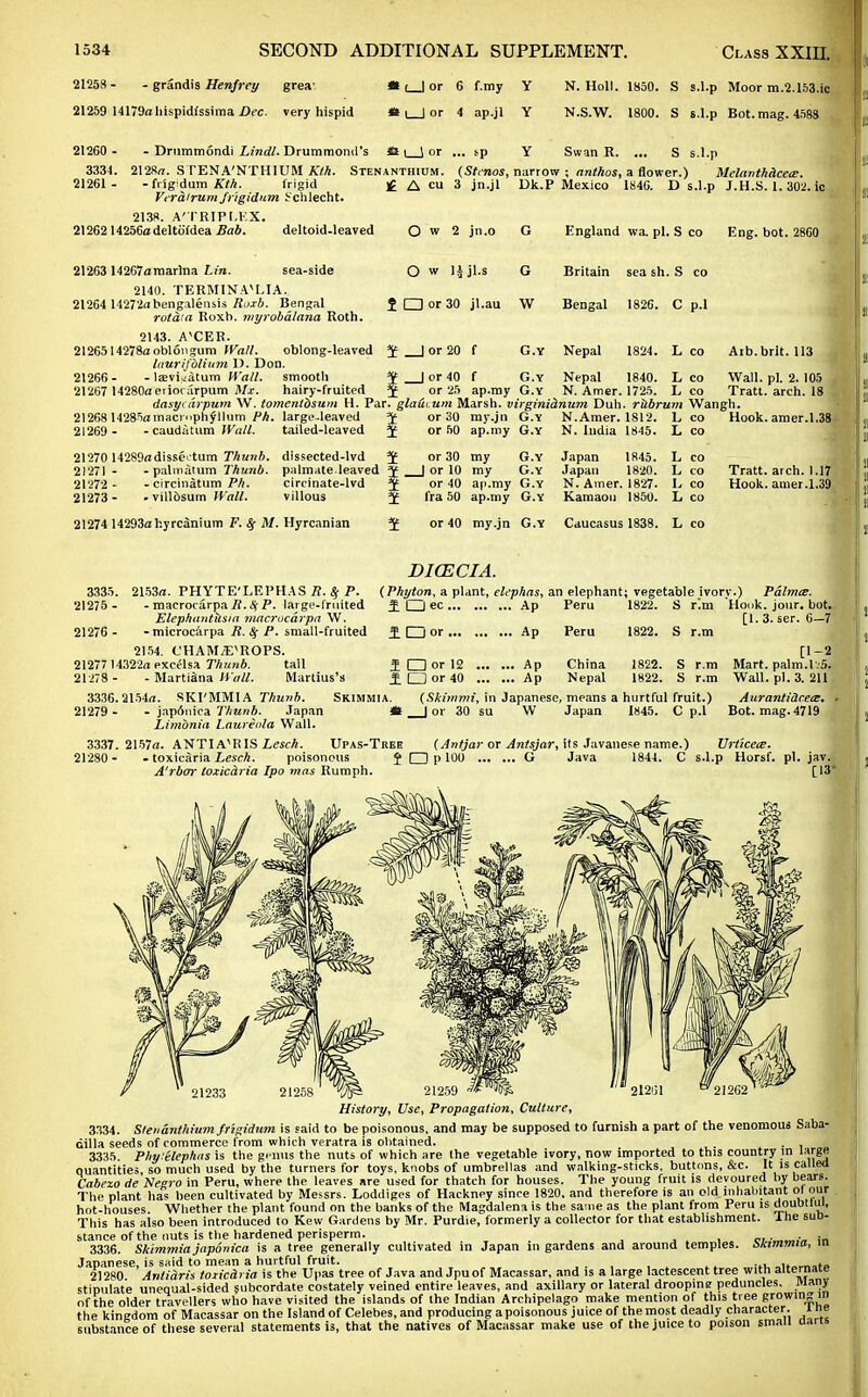21258 - — grandis Henfrey grea* Pt , 1 nr ™ ( 1 or y N Holl loOU. o S.l.p Moor m.2.153.ic 21259 14179a hispidissima Dec. very hispid * I I or 4 ap.jl Y N.S.W. 1800. S s.l.p Bot. mag. 4588 21260 - - Drummondi Lindl. Drummoml's il 1 1 or sp Y Swan R. S s.l.p 3334. 2128n. STENA'NTHIUM Kth. Stenanthium. 21261- - fiig'dum Kth. frigid f A cu Verdirum frigidum fchlecht. (Stcnos, 3 jn.jl narrow Dk.P ; anthos, Mexico a flower.) Melavthdcece. 1846. D s.l.p J.H.S. 1. 302. ic 213«. A'TRIPI.KX. 212621425Godeltbidea Bab. deltoid.leaved O w 2 jn.o G England wa. pi. S co Eng. bot. 2860 21263 14267amarlna Lin. sea-side O w H jl.s G Britain sea sh. S co 2140. TERMIN AVLIA. 21264 14272abengalensis Roxb. Bengal rotdia Roxb. myrobdlana Roth. i □ or 30 jl.au W Bengal 1826. C p.l 2143. AVCER. 2126514278aobl6ngum Wall. oblong-leaved ¥ _J or 20 f G.Y Nepal 1824. L co Arb.brit. 113 , laurifblium D. Don. 21266- - leevi^atum Wall. smooth 212G7 14280a eriocurpum Mx. hairy-fruited G.Y Nepal 1840. N. Amer. 1725. L co L Wall. pi. 2. 105 Tratt. arch. 18 J or 40 f or 2ft ap.my G.Y dasy(drpum W. tomenlbsum H. Par. gla&ium Marsh, virginidnum Dull, rkbrum Wangh. 21268I4285amacrophfUum Ph. large-leaved J or 30 my.jn G.Y N.Amer. 1812. L co Hook. amer.1.38 21269 - - caudatum Wall. tailed-leaved ^ or 50 ap.my G.Y N. India 1845. L co 21270 14289adisse>'tum Thunb. dissected-lvd ^ 21271 - -palmatum Thunb. palmate.leaved J , - circinatum Ph. circinate-lvd . villbsum Wall. villous ¥ 21272 21273 or 30 my G.Y J or 10 my G.Y or 40 ap.my G.Y fra 50 ap.my G.Y Japan 1845. Japan 1820. N. Amer. 1827. Kamaon 1850. L co L co I. CO L co Tratt. arch. 1.173 Hook, amer .1.39 21274 14293a hyrcanium F. <§• M. Hyrcanian ^ or 40 my.jn G.Y Caucasus 1838. L co 3335 21275 - 21276 - 212771 21278 3336 21279 2153a. PHYTE'LEPHAS R. # P. - macrocarpa 11.0( P. large-fruited Elephantilsia macrucdrpa W. -microcarpa R. Sj P. small-fruited 2154. C'HAM/E^ROPS. 4322a excelsa Thunb. tall - Martina Wall. Marlius's DICECIA. (Phyton, a plant, elephas, an elephant; vegetable ivorv.) Pdlma. IDec Ap Peru 1822. S r'.m Houk. jour. bot. i □ or ... 1 □ or 12 £ □ or 40 Ap Peru 1822. S r.m Ap Ap China Nepal 1822. 1822. S r.m S r.m ,2154a. SKI'MMIA Thunb. Skimmia. (Skimmi, in Japanese, means a hurtful fruit.) japAnica Thunb. Japan * | or 30 su W Japan 1845. C p.l Limbnia Laureola Wall. [1.3. ser. 6—7 [1-2 Mart. palm. 1.5. Wall. pi. 3. 211 Aurantidcea, • Bot. mag. 4719 3337 . 2157a. ANTIAVR IS Lesch. Upas-Tree (Antjar or Antsjar, its Javanese name.) Uriicea?. 21280 - - toxicaria Lesch. poisonous J □ P 100 G Java 1844. C s.l.p Horsf. pi. A'rboY toxicdria Ipo mas Rumph. 21259 History, Use, Propagation, Culture, 3334. Stenanthium frigidum is said to be poisonous, and may be supposed to furnish a part of the venomous Saba- dilla seeds of commerce from which veratra is obtained. . 3335. Pliyrelephas is the genus the nuts of which are the vegetable ivory, now imported to this country in large quantities so much used by the turners for toys, knobs of umbrellas and walking-sticks, buttons, &c. It is called Cabexo de Negro in Peru, where the leaves are used for thatch for houses. The young fruit is devoured by bears. The plant has been cultivated by Messrs. Loddigcs of Hackney since 1820. and therefore is an old inhabitant ot our hot-houses. Whether the plant found on the banks of the Magdalena is the same as the plant from Peru is doubtlul, This has also been introduced to Kew Gardens by Mr. Purdie, formerly a collector for that establishment, lhe suD- stance of the nuts is the hardened perisperm. ci.w>.v. in 3336. Skimmia japonica is a tree generally cultivated in Japan in gardens and around temples, btammia, m Japanese, is said to mean a hurtful fruit. ..... -n. „w„™,f« 21280 Antidris toxicdria is the Upas tree of Java and Jpuof Macassar, and is a large lactescent tree with alternate stipulate unequal-sided subcordate costately veined entire leaves, and axillary or lateral droopins peduncles. Many of the older travellers who have visited the islands of the Indian Archipelago make mention of this tree growing in the kingdom of Macassar on the Island of Celebes, and producing a poisonous juice of the most deadly character, ine substance of these several statements is, that the natives of Macassar make use of the juice to poison small dans