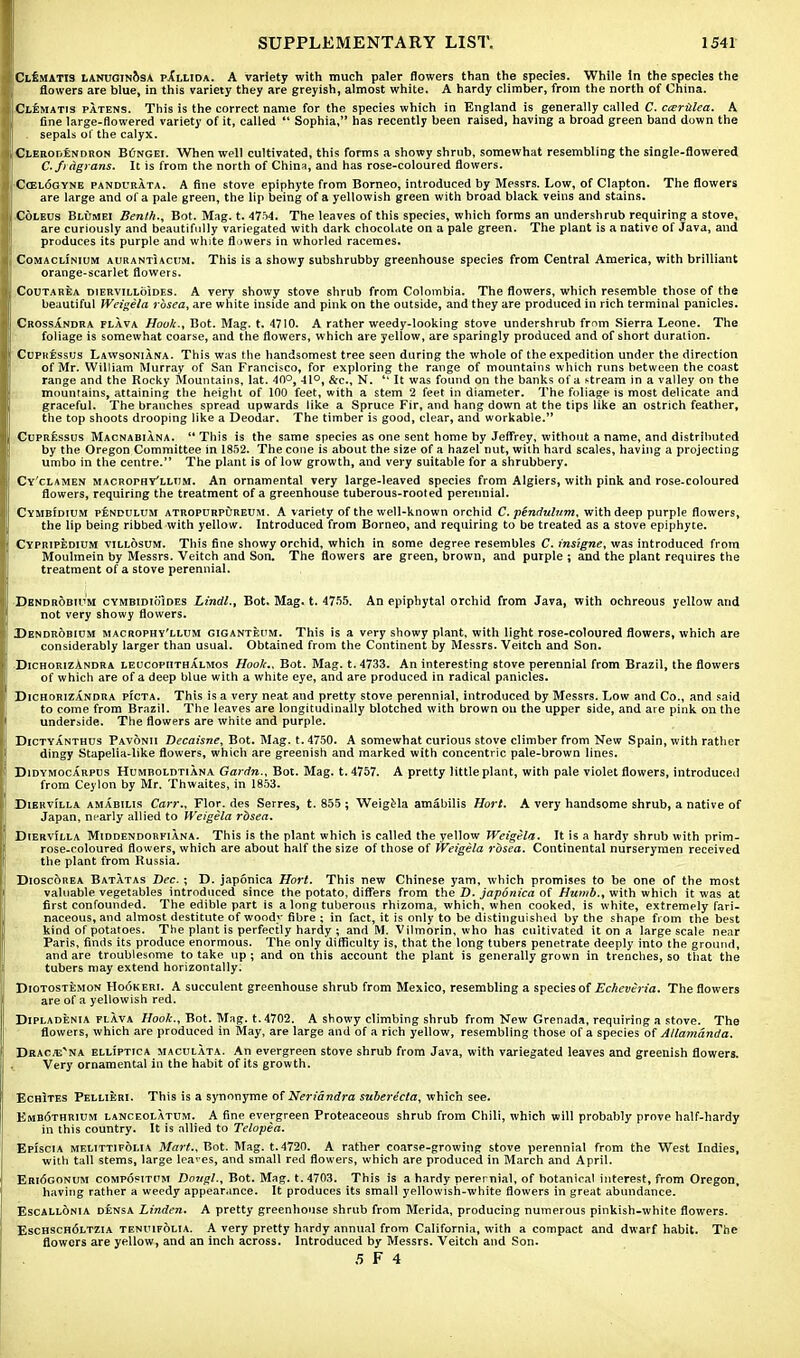 Clematis lanuginosa pallida. A variety with much paler flowers than the species. While in the species the flowers are blue, in this variety they are greyish, almost white. A hardy climber, from the north of China. Clematis patens. This is the correct name for the species which in England is generally called C. carUlea. A fine large-flowered variety of it, called  Sophia, has recently been raised, having a broad green band down the sepals of the calyx. Clerohendbon BOngei. When well cultivated, this forms a showy shrub, somewhat resembling the single-flowered C.frAgrans. It is from the north of China, and has rose-coloured flowers. Ccelogyne pandurata. A fine stove epiphyte from Borneo, introduced by Messrs. Low, of Clapton. The flowers are large and of a pale green, the lip being of a yellowish green with broad black veins and stains. Coleus Blumei Benlh., Bot. Mag. t. 4754. The leaves of this species, which forms an undershrub requiring a stove, are curiously and beautifully variegated with dark chocolate on a pale green. The plant is a native of Java, and produces its purple and white flowers in whorled racemes. Comaclinium aurantucum. This is a showy subshrubby greenhouse species from Central America, with brilliant orange-scarlet flowers. Coutarea diervilloides. A very showy stove shrub from Colombia. The flowers, which resemble those of the beautiful Weigela rosea, are white inside and pink on the outside, and they are produced in rich terminal panicles. Crossandra flava Hook., Bot. Mag. t. 4710. A rather weedy-looking stove undershrub from Sierra Leone. The foliage is somewhat coarse, and the flowers, which are yellow, are sparingly produced and of short duration. Cupressus Lawsoniana. This was the handsomest tree seen during the whole of the expedition under the direction of Mr. William Murray of San Francisco, for exploring the range of mountains which runs between the coast range and the Rocky Mountains, lat. 40°, 41°, &c, N. 14 It was found on the banks of a stream in a valley on the mountains, attaining the height of 100 feet, with a stem 2 feet in diameter. The foliage is most delicate and graceful. The branches spread upwards like a Spruce Fir, and hang down at the tips like an ostrich feather, the top shoots drooping like a Deodar. The timber is good, clear, and workable. Cupressus Macnabiana.  This is the same species as one sent home by Jeffrey, without a name, and distributed by the Oregon Committee in 1852. The cone is about the size of a hazel nut, with hard scales, having a projecting umbo in the centre. The plant is of low growth, and very suitable for a shrubbery. Cy'clamen macrophy'lltjm. An ornamental very large-leaved species from Algiers, with pink and rose-coloured flowers, requiring the treatment of a greenhouse tuberous-rooted perennial. Cymbidium pendulum atropurpureum. A variety of the well-known orchid C. pendulum, with deep purple flowers, the lip being ribbed with yellow. Introduced from Borneo, and requiring to be treated as a stove epiphyte. Cypripedium villosum. This fine showy orchid, which in some degree resembles C. ins'igne, was introduced from Moulmein by Messrs. Veitch and Son. The flowers are green, brown, and purple ; and the plant requires the treatment of a stove perennial. Dendrobium cymbidioides Lindl., Bot. Mag. t. 4755. An epiphytal orchid from Java, with ochreous yellow and not very showy flowers. Dendrobium macrophy'llum giganteum. This is a very showy plant, with light rose-coloured flowers, which are considerably larger than usual. Obtained from the Continent by Messrs. Veitch and Son. Dichorizandra leucopiithalmos Hook., Bot. Mag. t. 4733. An interesting stove perennial from Brazil, the flowers of which are of a deep blue with a white eye, and are produced in radical panicles. Dichorizandra picta. This is a very neat and pretty stove perennial, introduced by Messrs. Low and Co., and said to come from Brazil. The leaves are longitudinally blotched with brown on the upper side, and are pink on the underside. The flowers are white and purple. Dictyanthus Pavonii Decaisne, Bot. Mag. t. 4750. A somewhat curious stove climber from New Spain, with rather dingy Stapelia-like flowers, which are greenish and marked with concentric pale-brown lines. Didymocarpus Humboldtiana Gardn., Bot. Mag. t. 4757. A pretty little plant, with pale violet flowers, introduced from Ceylon by Mr. Thwaites, in 1853. Diervi'lla amabilis Carr., Flor. des Serres, t. 855 ; Weigela amabilis Hort. A very handsome shrub, a native of Japan, nearly allied to Weigela rdsea. Diervi'lla Middendorfiana. This is the plant which is called the yellow Weigela. It is a hardy shrub with prim- rose-coloured flowers, which are about half the size of those of Weigela rosea. Continental nurserymen received the plant from Russia. Dioscorea Batatas Dec. ; D. japonica Hort. This new Chinese yam, which promises to be one of the most valuable vegetables introduced since the potato, differs from the D. japonica of Humb., with which it was at first confounded. The edible part is a long tuberous rhizoma, which, when cooked, is white, extremely fari- naceous, and almost destitute of woody fibre ; in fact, it is only to be distinguished by the shape from the best kind of potatoes. The plant is perfectly hardy ; and M. Vilmorin, who has cultivated it on a large scale near Paris, finds its produce enormous. The only difficulty is, that the long tubers penetrate deeply into the ground, and are troublesome to take up ; and on this account the plant is generally grown in trenches, so that the tubers may extend horizontally. Diotostemon Hookeri. A succulent greenhouse shrub from Mexico, resembling a species of Echeveria. The flowers are of a yellowish red. Dipladenia flava Hook., Bot. Mag. t. 4702. A showy climbing shrub from New Grenada, requiring a stove. The flowers, which are produced in May, are large and of a rich yellow, resembling those of a species of Allamanda. Dracevna elli'ptica maculata. An evergreen stove shrub from Java, with variegated leaves and greenish flowers. Very ornamental in the habit of its growth. Echites Pellieri. This is a synonyme of Neriandra suberecta, which see. Emb6thrium lanceolatum. A fine evergreen Proteaceous shrub from Chili, which will probably prove half-hardy in this country. It is allied to Telopea. Episcia melittifolia Mart., Bot. Mag. t. 4720. A rather coarse-growing stove perennial from the West Indies, with tall stems, large leaves, and small red flowers, which are produced in March and April. Eriogonum compositi'm Dougl., Bot. Mag. t.4703. This is a hardy perernial, of botanical interest, from Oregon, having rather a weedy appearance. It produces its small yellowish-white flowers in great abundance. Escallonia densa Linden. A pretty greenhouse shrub from Merida, producing numerous pinkish-white flowers. Eschsch6ltzia tenuifolia. A very pretty hardy annual from California, with a compact and dwarf habit. The flowers are yellow, and an inch across. Introduced by Messrs. Veitch and Son. 5 F 4