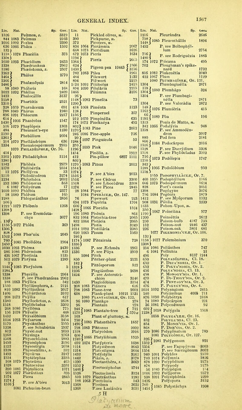 Phalsenopsis Pharbltis Lin. Nat. Sp. Gen. 1526 Peumos, s. 3319 844 1083 Pedmus 2103 1016 1092 Pczlza 2390 C36 1066 Phaca 1592 132/ 1158 V 1078 Phacelia 1308) 1030 1093 Phacidium 1338 Phsdranassa 1186 Phaeostoma, s 14642] Phaius 1266 } 1486 $ 58 1089 Phalaris 1022 1092 Phallus 1422 Phalocallis 1158 ) 13105 228 1059 Pharnaceum 788 1089 Pharus 896 1091 Phascum 1430 ] 10GS Pnaseo)us 516 1079 Phaylopsis 484 Pheasant's-eye 1362 ] Phebalium 214 1070 Phellandrium 636 1334 Phenakospermum 2955 1070 PH1LADELPHE.E, Or. 76. 414 ) 1202 J-1070 Philadelphus 1380) 1342 Philesia 1170 Philibertia 12 1076 Phtllyrea 1510 Philodendron 1234 Philothgca 192 1080 Philoxerus 6 1087 Philydrum 1010 1092 Phlebia 58 1089 Plileum 1288 Phlogacanthus 506) 1222 v 1079 Phlbmis 1398) 1398 P. see Eremosta chys 130) 1156 5-1077 Phl6x 1306 3 152*] 1088 phce,nix 1450 ] 1085 Pnolid&ta 1030 1093 Phbma 286 1086 Phormium 426 1067 Photinia 512 1079 Phryma 2? 1144 V-1085 Phrymum 5 12843 1338 Phycella 2964 P. see Phaedranassa 2962 373 2433 2962 2597 2770 2814 168 2409 3137 2521 691 1980 2217 1547 1303 1230 2604 1114 2979 2554 33 3271 2692 553 17 2377 165 2856 1268 3077 369 2049 1904 2430 823 1135 1289 1?88 1063 Phylica 1530 Phyllamphora, s. 810 1082 Phyllanthus 1406 Phvllarthron 208 1072 Phyllis 1380 Phyllocactus, s. 1518 Phyll6cladus 268 1086 Phyllbma 156 1078 Physalis 1432 Physalbbium 1034 1093 Physarum 1170 Physianthus 1328 P. see Schubertia 812 Physic.nut 1260 Phvs'mga 1308 Phy.-ochljlna 1450 Physoslphon 1222 Physostegia 1328 Physostelma, s. 1492 Physurus 1534 Phytelephas 168 1075 Phyteuma 1528 Phytocreue 390 1081 Phytolacca 202 1077 Piaranthus 1274 Picea 1274 ) 15165 1081 Pichui im-bean P. see Avbies 542 2121 2027 3102 617 2628 3302 775 448 3158 2454 2555 2937 2033 2763 2883 3196 2658 592 3247 3335 465 3331 1071 595 2845 2013 Pieris 2067 1626 1634 2615 Lin. Nat. Sp. Gen. 11 Pickled olives, n. 390 Pickpurse, n. 372 Picotees, n 834 1064 Picramnia 668 1073 Picridium 672 1073 Picris 11941 1364 J iflol ^geon pea 10443 782 1083 Pllea 1961 484 Pilewort 1232 894 Pillwort 2215 1(.24 1092 Piiobolus 2415 894 1090 Pilularia 2215 1466 Pilumna 3216 26) 1148V1082 Pimelea 73 1290J 418 1068 Pimenta 1123 128 I 11565 212 1070 Pimpinella 635 174 1072 Pinckneya 492 12?o} 1083 Pine 2012 246 1086 Pine-apple 726 1288] 1097 pingul'cula 52 j3gg j 1059 Pink 1046 1454 Pinblia, s. 1912 412 Pin.pillow 6897 1111 S02) 1270 V 1083 Plnus 2012 1514) Pimpernel 357 P. see A^bies 2013 1274 I 15165 1516 P. see Cedrus 3300 1518 P. see Libocedrus 3308 1274 P. see Plcea 2845 28 1084 Piper 77 1084 Piperace^e, Or. 147. 76 Pipewort 223 694 1073 Piqueria 1704 1428 ] 1066 PiscMia 1524 296 1080 Pisdnia 864 832 1064 Pistachia-tree 2065 832 1064 Pistacia 2065 1498 Pistia 3249 1014 1092 Pistillaria 2385 620 1065 Plsum 1560 246) 1174 V 1087 Pitcairnia 728 1336) 1336 P. see iEchmSa 2961 1336 P. see Pilya 2959 1084 Pitch 850 Pitcher-plant 2121 1324] Pittosporum 522 1236 Plagianthus 2698 1424 P. see Asterotri- chion 3146 1430 Plagiolbbium 3154 208 1083 Planera 616 798 1083 Plane-tree 2002 608 Plank-plant 10121 1531 1080 Plantagine^;, Or. 122. 96 1080 Plantago 278 96 Plantain 278 ,2«j 1085 Plantain-tree \™\ 103 Plant of gluttony, n, 1490 ] 1085 Platanthera 1857 798 1083 Platanus 2002 1318 Platycodon 2916 j^o I 1066 Platylobium 1525 692 1074 Platypteris 1698 1214 Platystbmon 2643 1214 Platv stigma 2644 1432 Platystylis 3162 1442 Plazia, s. 3178 1390 Plectanthera, s. 3069 1446] Plectocephalus 2744 1526 Plectocomia 3324 510 1079 Plectranthus 1282 188 1063 Plectronia 543 1368 Plerbma 3032 1368 P.see Lasiandra 3031 5H Lin. Nat. Sp. Gen* 1216 Pleurandra 2646 j^8 j 1085 Pleurothallis 1894 1452 P. see Bolbophyl- lum 2754 14801 p-see Rodriguezia 1883 174 1072 Piocama 495 702 Ploughman's spike- nard 1732 816 1082 Plukenetia 2040 422 1067 Plum 1129 1080 PLUMBAGfNES, Or. 121. 1304 Plumbaginella 2871 1304 J 1080 plumbag° 1304 P. see Plumbagi- nella 2871 1304 P. see Valora^ia 2872 jjg8 j 1076 Plumieria 66 ; 1292 ( 1323 Poaia de Matto, n. 342 1066 Podalyria 948 1358 P. see Ammoden- dron 3007 880 Pod fern 2181 j8^g j 1084 Pudocarpus 2016 1528 P. see Dacrydium 3328 1518 P. see Phyllocladus 3302 1747 $] 1076 \ 1089 P6a 324 415 196 250 ] 1073 Pod61ePis 1188 5- 1066 Podolobium 950 13583 1055 PoDOPHYLLACE^E, Or. 7. 460 1055 Podophyllum 1166 666 1073 Podospermum 1624 828 Poet's cassia 2051 1398 Pogogyne 3076 756 1084 Pogbnia 1879 1412 P. see Myoporum 1332 908 1091 Polilia 2239 1535 Pohon-Upas,». U9o] 1067 Poinciana 97? 1200 Poinsettia 2622 250 Poison-bulb 4187 735 152 Poison-nut 2446 437 226 Poison-oak 3801 681 1077 Polemoniavce^;, Or. 106. 132) 1158 V 1077 Polembnium 370 1308) 254 1086 Polianthes 747 6 1081 Pollfchia 21 496 Poly 8137 1244 650 POLYADELPHIA, CI. 18. 650 P. Deca'noria, Or. 1. 652 P. Polya'ndria, Or. 2. 456 Polya'ndria, CI. 13. 458 P. Monogy'nia, Or. 1. 470 P. Di-Trigy'nia, Or. 2. 474 P. PentaGy'nia, Or. 3. 476 P. Polygy'nia, Or. 4. 1024 1092 Polyanglum 2415 240 Polyanthus 4008 711 876 1090 Polybotrya 2168 74 1080 Polycarpon 221 36 1081 Polycnemuvn 92 j™2]l058 Polygala 1508 1058 PolygaYe.<e, Or. 16. 852 Polyga'mia, CI. 23. 854 P. Moncevcia, Or. 1. 868 P. Dicevcia, Or. 2. 270 1086 Polygonatum 789 1081 Polygone*, Or. 127. ilil J1081 Polyg°num 921 1354 P. see Fagopyrum 3003 1354 P. see Sarcogbnum 3002 940 1091 Polylrtes 2310 740 1074 Polymnia 1826 878 1090 Polypbdium 2175 878 Polypody 2175 56 1089 Polypbgon 154 1006 1092 Polyporus 2372 938 1091 Polvsiphbnia 2299 1426 Polyspora 3152 7!^j| 1085 Polystachya 1908