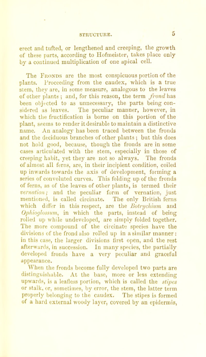 s erect and tufted, or lengthened and creeping, the growth of these parts, according to Hofmeister, takes place only by a coutiuued multiplication of one apical cell. The Fronds are the most conspicuous portion of the plants. Proceeding from the caudex, which is a true stem, they are, in some measure, analogous to the leaves of other plants ; and, for this reason, the term frond has been objected to as unnecessary, the parts being con- sidered as leaves. The peculiar manner, however, in which the fructification is borne on this portion of the plant, seems to render it desirable to maintain a distinctive name. An analogy has been traced between the fronds and the deciduous branches of other plants; but this does not hold good, because, though the fronds are in some cases articulated with the stem, especially in those of creeping habit, yet they are not so always. The fronds of almost all ferns, are, in their incipient condition, coiled up inwards towards the axis of development, forming a series of convoluted curves. This folding up of the fronds of ferns, as of the leaves of other plants, is termed their vernation; and the peculiar form of vernation, just mentioninl, is called circinate. The only British ferns which diltVr in this respect, are the Botnjchium and Oph-ioijloaitiim, in which the parts, instead of being rolled up while undeveloped, are simply folded together. The more compound of the circinaty species have the divisions of the frond also rolled up in a similar manner: in this case, the larger divisions first open, and the rest afterwards, in succession. In many species, the partially developed fronds have a very peculiar and graceful appearance. When the fronds become fully developed two parts are distinguishable. At the ba.se, more or less extending upwards, is a leafless portion, which is called the stipes or stalk, or, sometimes, by error, the stem, the latter term properly belonging to the caudex. Tlie sli[)es is formed of a hard e.xlernal woody layer, covered by an epidermis,