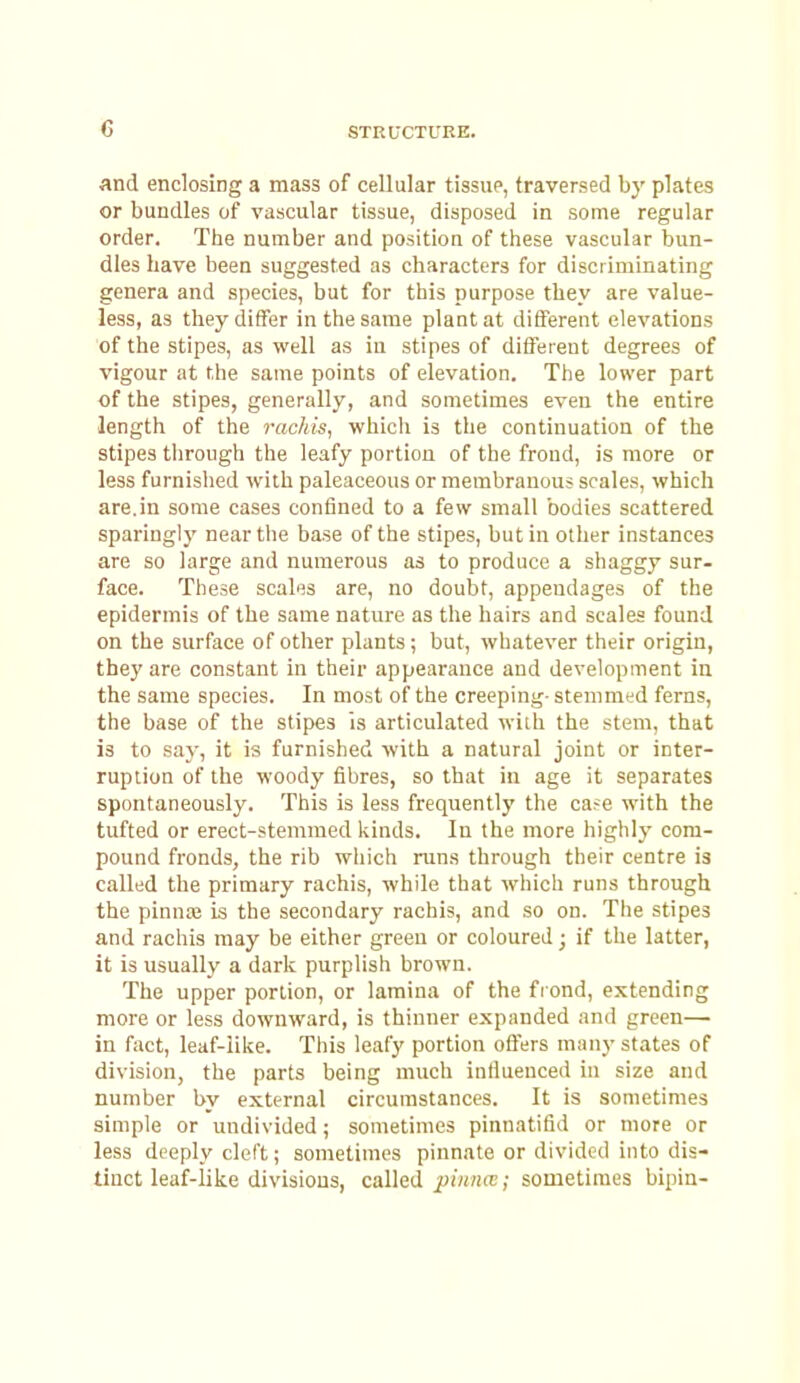 and enclosing a mass of cellular tissue, traversed by plates or bundles of vascular tissue, disposed in some regular order. The number and position of these vascular bun- dles Lave been suggested as characters for discriminating genera and species, but for this purpose they are value- less, as they differ in the same plant at different elevations of the stipes, as well as in stipes of different degrees of vigour at the same points of elevation. The lower part of the stipes, generally, and sometimes even the entire length of the rachis, which is the continuation of the stipes through the leafy portion of the frond, is more or less furnished with paleaceous or membranous scales, which are.in some cases confined to a few small bodies scattered sparingly near the base of the stipes, but in other instances are so large and numerous as to produce a shaggy sur- face. These scales are, no doubt, appendages of the epidermis of the same nature as the hairs and scales found on the surface of other plants; but, whatever their origin, they are constant in their appearance and development in the same species. In most of the creeping-stemmed ferns, the base of the stipes is articulated with the stem, that is to say, it is furnished with a natural joint or inter- ruption of the woody fibres, so that in age it separates spontaneously. This is less frequently the cafe with the tufted or erect-stemmed kinds. In the more highlj- com- pound fronds, the rib which runs through their centre is called the primary rachis, while that which runs through the pinna; is the secondary rachis, and so on. The stipes and rachis may be either green or coloured; if the latter, it is usually a dark purplish brown. The upper portion, or lamina of the frond, extending more or less downward, is thinner expanded and green— in fact, leaf-like. This leafy portion offers many states of division, the parts being much influenced in size and number by external circumstances. It is sometimes simple or undivided; sometimes pinnatifid or more or less deeply cleft; sometimes pinnate or divided into dis- tinct leaf-like divisions, called piiinx; sometimes bipin-