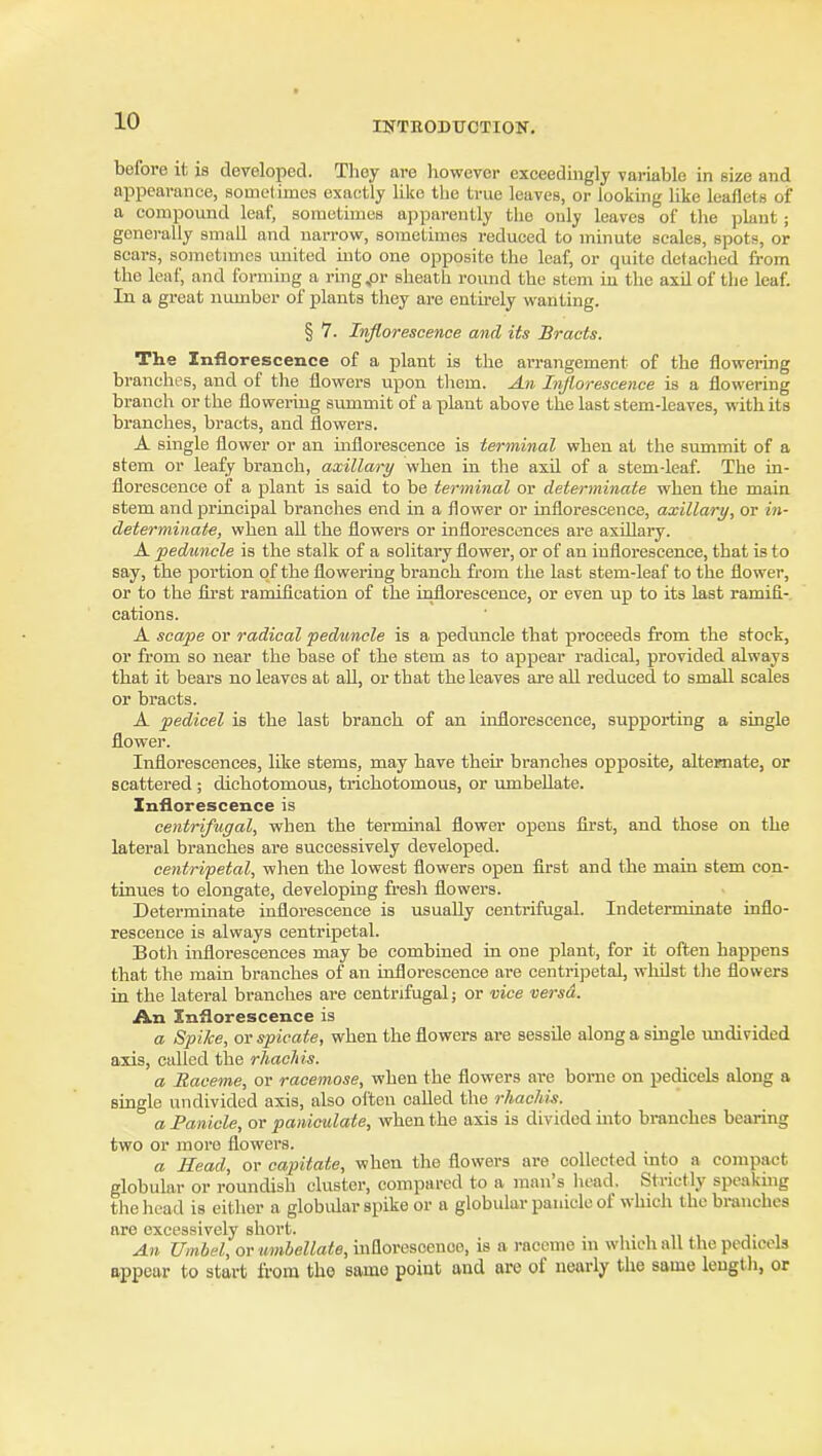 before it is deyeloped. Thoy are liowever exceedingly variable in size and appearance, somelimes exactly like the true leaves, or looking like leaflets of a compound leaf, sometimes apparently the only leaves of the plant ; generally small and narrow, sometimes reduced to minute scales, spots, or scars, sometimes vmited into one opposite the leaf, or quite detached from the leaf, and forming a ring ,or sheath round the stem iu the axU of the leaf. In a great number of plants they are entirely wanting. § 7. Inflorescence and its Bracts. The Inflorescence of a plant is the arrangement of the flowering branches, and of the flowers upon them. An Inflorescence is a flowering branch or the flowering summit of a plant above the last stem-leaves, with its branches, bracts, and flowers. A single flower or an inflorescence is terminal when at the summit of a stem or leafy branch, axillary when in the axil of a stem-leaf. The in- florescence of a plant is said to be terminal or determinate when the main stem and principal branches end in a flower or inflorescence, axillary, or in- determinate, when all the flowers or inflorescences are axillary. A peduncle is the stalk of a solitai-y flower, or of an inflorescence, that is to say, the portion of the flowering branch from the last stem-leaf to the flower, or to the fli'st ramification of the inflorescence, or even up to its last ramifi- cations. A scffi^je or radical peduncle is a peduncle that proceeds from the stock, or from so near the base of the stem as to appear radical, provided always that it bears no leaves at all, or that the leaves are all reduced to small scales or bracts. A pedicel is the last branch of an inflorescence, supporting a single flower. Inflorescences, like stems, may have their branches opposite, alternate, or scattered ; dichotomous, trichotomous, or umbellate. Inflorescence is centrifugal, when the terminal flower opens first, and those on the lateral branches are successively developed. centripetal, when the lowest flowers open first and the main stem con- tinues to elongate, developing fresh flowers. Determinate inflorescence is usually centrifugal. Indeterminate inflo- rescence is always centripetal. Both inflorescences may be combined in one plant, for it often happens that the main branches of an inflorescence are centripetal, whilst the flowers in the lateral branches are centrifugal; or vice versa. An Inflorescence is a Spike, or spicate, when the flowers are sessile along a single undivided axis, called the rhachis. a Raceme, or racemose, when the flowers are borne on pedicels along a single undivided axis, also olten called the rhachis. a Panicle, or panictdate, when the axis is divided into branches bearing two or more flowers. a Head, or capitate, when the flowers are collected into a compact globular or roundish cluster, compared to a man's head. Strictly speakuig the head is either a globular spike or a globular panicle of which the branches are excessively short. , • , n , j- i An Umbel, or umbellate, inflorescence, is a raceme m which all the pedicels appear to start from the same point and are of nearly the same length, or