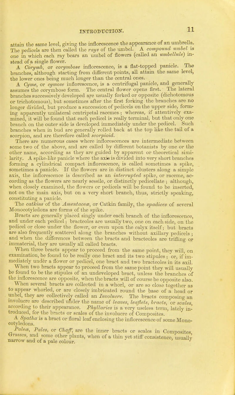 attain the same level, giving the inflorescence the appearance of an umhrella. The pedicels are then called the rays of the umbel. A compound umbel is one in which each ray bears an umbel of flowers (called an umhellule) in- stead of a single flower. . A Corymb, or corymbose inflorescence, is a flat-topped panicle. The branches, although starting from different points, all attaui the same level, the lower ones being much longer than the central ones. A Cyme, or cymose inflorescence, is a centrifugal panicle, and generally assumes the corymbose form. The central flower opens first. The lateral branches successively developed are usually forked or opposite (dichotomous or trichotomous), but sometimes after the first forking the branches are no longer divided, but produce a succession of pedicels on the upper side, form- ing apparently unilateral centripetal racemes ; whereas, if attentively exa- mined, it will be foimd that each pedicel is i-eally terminal, but that only one branch on the outer side is developed immediately luider the pedicel. Such branches when in bud are generally rolled back at the top like the tail of a sooi-pion, and are therefore called scorpioid. There are numerous cases where infiorescences are intermediate between some two of the above, and are called by diSerent botanists by one or the other name, according as they ai'e guided by apparent or theoretical simi- larity. A spike-Uke panicle where the axis is divided into very short branches formmg a cylindrical compact inflorescence, is called sometimes a spike, sometimes a panicle. If the flowers are in distinct clusters along a simple axis, the inflorescence is described as an interrupted spike, or raceme, ac- cording as the flowers are nearly sessile, or distinctly pedicellate ; although, when closely examined, the flowers or pedicels will be found to be inserted, not on the main axis, but on a very short branch, thus, strictly speaking, constituting a panicle. The catkins of the AmentacecB, or Catkin family, the spadices of several Monocotyledons are forms of the spike. Bracts are generally placed singly under eacH branch of the inflorescence, and under each pedicel; bracteoles are usually two, one on each side, on the pedicel or close under the flower, or even upon the calyx itself; but bracts are also frequently scattered along the branches without axUlary pedicels ; and when the diiferences between the bracts and bracteoles are trifling or immaterial, they are usually aU called bi-acts. When three bracts appear to proceed from the same point, they will, on examination, be found to be really one bract and its two stipules ; or, if im- mediately under a flower or pedicel, one bract and two bracteoles in its axU. When two bracts appear to proceed from the same point they will usually be found to be the stipules of an undeveloped bract, unless the branches of the inflorescence are opposite, when the bracts wiU of course be opposite also. When several bracts are collected in a whorl, or are so close together as to appear whorled, or are closely imbricated round the base of a head or unbel, they are collectively called an Involucre. The bracts composing an mvolucre are described under the name of leaves, leaflets, bracts, or scales, according to their appearance. Phyllaries is a very useless term, lately in- troduced, for the bracts or scales of the involucre of Composites. A Spatha is a bract or floral leaf enclosing the inflorescence of some Mono- cotyledons. Falem, Pales, or Chaff, are the inner bracts or scales in Composites (irasscs, and some other plants, when of a thin yet stifi' consistence, usually narrow and of a pale colour. '