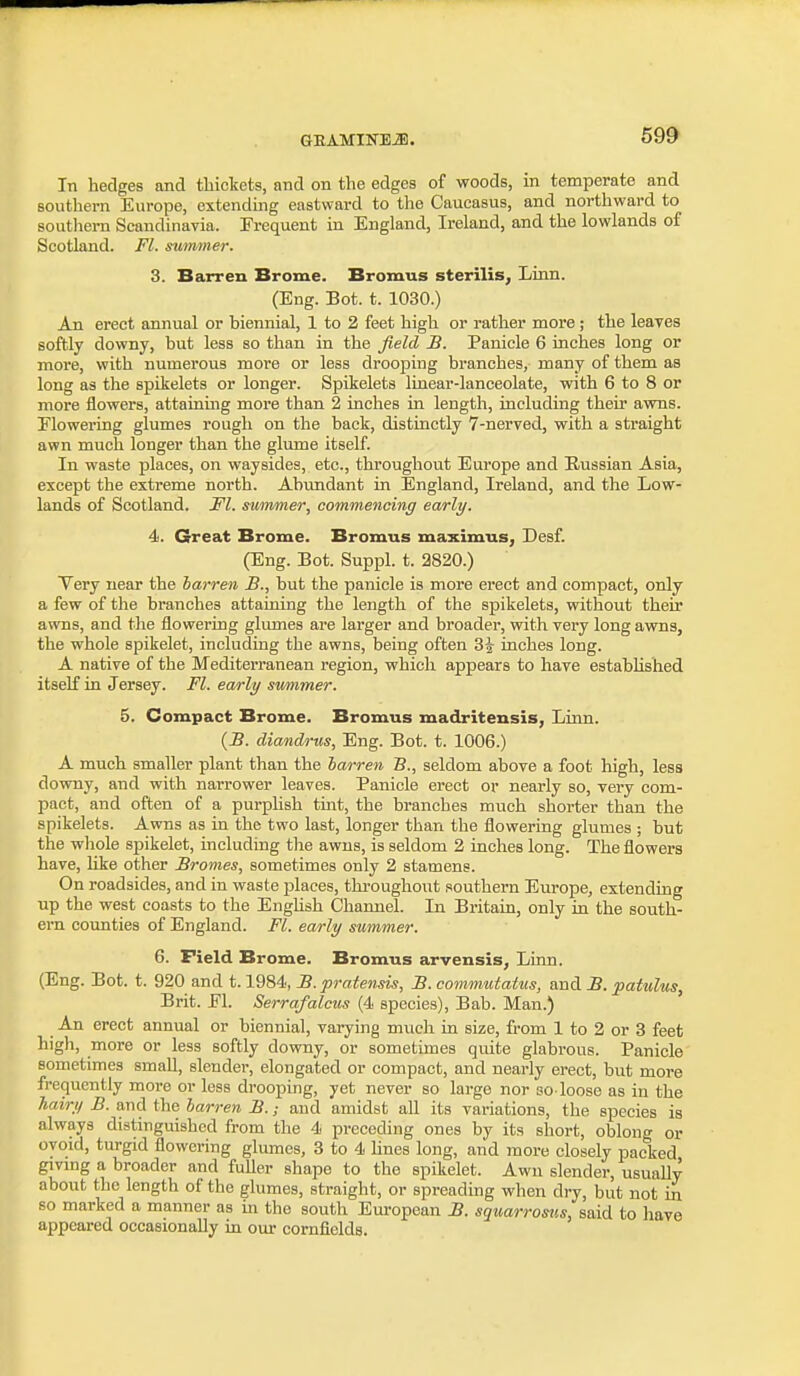 In hedges and thickets, and on the edges of woods, in temperate and southern Europe, extending eastward to the Caucasus, and northward to southern Scandinavia. Frequent in England, Ireland, and the lowlands o£ Scotland. Fl. summer. 3. Barren Brome. Bromus sterilis. Linn. (Eng. Bot. t. 1030.) An erect annual or biennial, 1 to 2 feet high or rather more ; the leaves softly downy, but less so than in the field B. Panicle 6 inches long or more, with numerous more or less drooping branches, many of them as long as the spikelets or longer. Spikelets linear-lanceolate, vrith 6 to 8 or more flowers, attainuig more than 2 inches in length, including their awns. Elowering glumes rough on the back, distinctly 7-nerved, with a straight awn much longer than the glume itself. In waste jjlaces, on waysides, etc., throughout Europe and Russian Asia, except the extreme north. Abimdant in England, Ireland, and the Low- lands of Scotland. Fl. summer, commencing early. 4. Great Brome. Bromus maximus, Desf. (Eng. Bot. Suppl. t. 2820.) Yery near the barren B., but the panicle is more erect and compact, only a few of the branches attaining the length of the spikelets, without their awns, and the flowering glumes are larger and broader, with very long awns, the whole spikelet, including the awns, being often 3^ inches long. A native of the Mediterranean region, which appears to have estabhshed itself in Jersey. Fl. early swnimer. 5. Compact Brome. Bromus madritensis, Linn. (B. diandrus, Eng. Bot. t. 1006.) A much smaller plant than the barren B., seldom above a foot high, less downy, and with narrower leaves. Panicle erect or nearly so, very com- pact, and often of a purplish tuit, the branches much shorter than the spikelets. Awns as in the two last, longer than the flowering glumes ; but the whole sj)ikelet, including the awns, is seldom 2 inches long. The flowers have, like other Bromes, sometimes only 2 stamens. On roadsides, and in waste places, throughout southern Europe, extending up the west coasts to the Enghsh Channel. In Britain, only in the south- ern counties of England. Fl. early summer. 6. Field Brome. Bromus arvensis, Linn. (Eng. Bot. t. 920 and 1.1984, B. pratensis, B. commidatus, and B. patulus, Brit. El. Serrafalcus (4 species), Bab. Man.) An erect annual or biennial, varying much in size, from 1 to 2 or 3 feet high, more or less softly downy, or sometimes quite glabrous. Panicle sometimes smaU, slender, elongated or compact, and nearly erect, but more frequently more or less drooping, yet never so large nor so-loose as in the hairii B. and the barren B.; and amidst all its variations, the species is always distinguished from the 4 preceding ones by its short, oblong or ovoid, turgid flowering glumes, 3 to 4 lines long, and more closely packed givmg a broader and fuUer shape to the spikelet. Awn slender, usuaUy about the length of the glumes, straight, or spreading when dry, but not in so marked a manner as m the south European B. sgiiarrosus, said to have appeared occasionally in our cornfields.